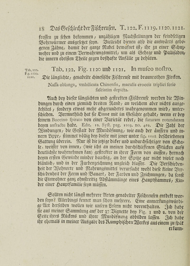 iS 2)itS©cfdjlf djth't'Stfdjmifeit. T.i22.F,n 19. 11 20.1121. frefTeit §u fcf>en befommen, unzähligen 9?ad)jMungen bcr feü^feli^eti 23ol)rmürmer auSgefe^et fei;n. 23ieileid)t Dienen alfo Die auSmdrtS gebo* genen gähne, Damit Der ganze fKabel bemdfnet tfl/ ihr 51t einer ©chuz* mehre unb zu einem 23ermabrungSmittel, um als (23c()e^e unD ^allifabctt/ Die innern ebenen £beile gegen bogftafte Unfälle zu Deuten. Tab.i22. Tab. 122. Fig. 1120 imb 1121. In mufeo noftro. Fg.1120. ' “«• £)ie ldnglid)te/ genabelte cbineftfche gifebreufe mit braunrotben glecfett. Nafla oblonga, vmbilicata Chinenfis, maculis croceis triplici ferie fafeiatim depifta. Utucb bei; Diefer Idnglicbten unD geftreften ijifchreufe merben Die 2ßim Düngen Durch einen ziemlich breiten Staub/ an welchem aber nid)tS auege* FeblteS / fonbern etwas mehr abgerunbeteS mabrgenommen wirb/ unter* febieben. Q3ermutblid) bat fTe Umnc mit im ©eftd)te gehabt/ wenn er bei; feinem Bucdno fpirato uon einer Q3arietdt rebet/ Die futuram rotundatam bei;m anfraftu habe. Edit. 12. Sylt. pag. 1203. no. 469. £)ie gabl Der 2Binbungen/ Die ©ejhlt Der SWunbofnung/ it>ie aud; Der duffern unb im tiern Sippe/ fHmm.et tmllig bei; Diefer mit jener unter fig* ms. befebriebenen ©attung überein. Stur i|l Die jegige Diefer unb miburcbftcbtiger non ©dm* le, meiffer uon innen/ (wie icbS an meinen Durdifcbliffenen ©tücfen aufs beutlicbjie mabrnebmen Fan) gefirefter in ihrer Jorm hon auffeii/ hernach bei;m erflen ©eminbe minber bauchig, an Der ©pi($e gar nicht tiiolet noch blduiid)/ unb in Der Jarbenjeidmung ungleich blajfer. £)ie 23erfd)iebem heit Der Wohnorte unb «Nahrungsmittel uerurfadjt wohl biefe Fleine Q3er* fchiebenheit Der Sonn unb Bauart, Der garben unb geidmungen/ Da fonft Die ©nwobner ganz ohnffreitig SCbfldmmlinge eineö £auptftammeS, &im Der einer .£>auptfami(ie fet;n muffen. ©eilten nicht Idngfl mehrere Sfrfen genabelter gifdweufen entbeft wor* Den fet;n? SlllerbingS Fennet man fchon mehrere, ©ine anmerFungSwürbi* ge 51 rt Derfelben wollen mir unfern Sofern nicht oorentbalten. 3ch habe Öe aus meiner ©ammlung auf Der 37 Vignette bei; Fig. 1 unb 2. non Der ©eite ihres DtücfenS unb ihrer $tunbofnung abbilben (affen. 3d> habe ihr ehemals in meiner Ausgabe he* Rümpfen Kerfes aus einem zu fpdt erfanm