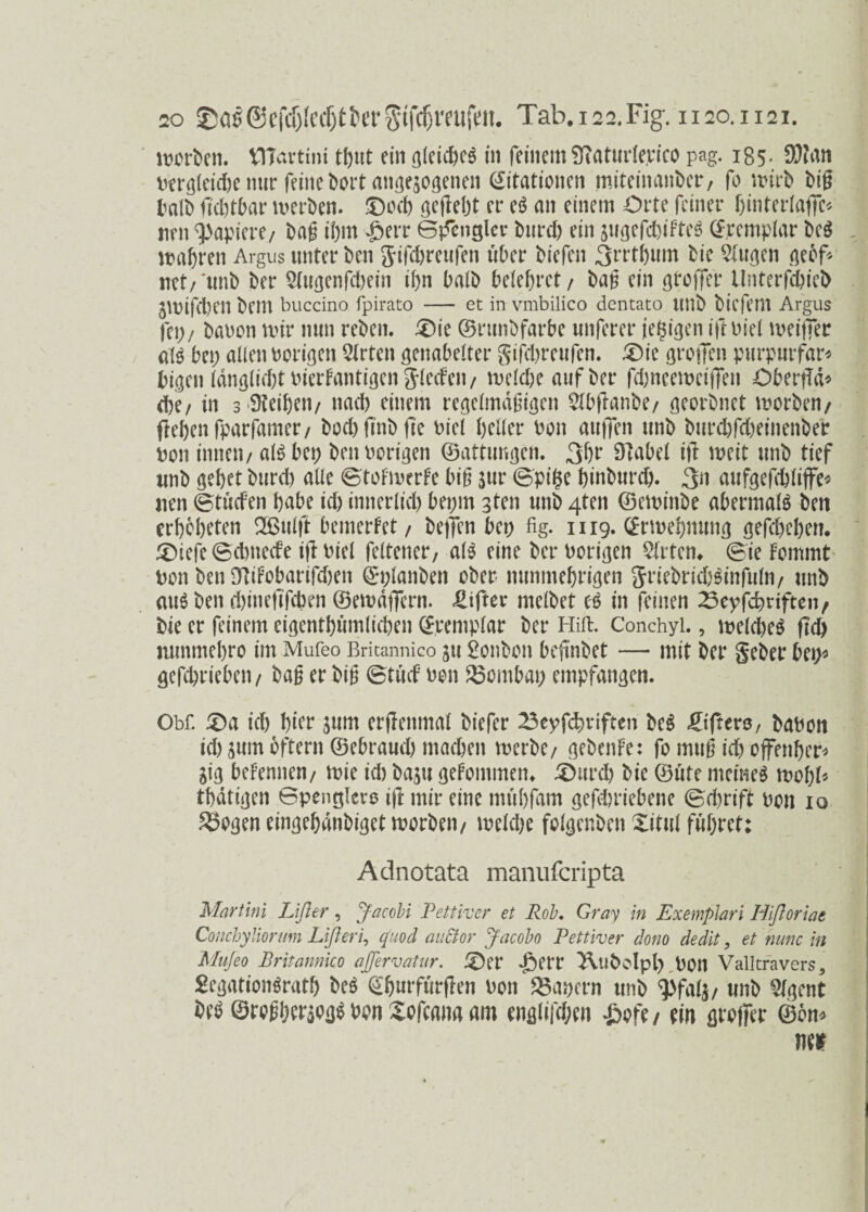 worben. VHartmt tt)ut ein gleiches in feinemSftaturlerico pag. 185. 9)tan Pergleuhe nur feine bort mitogenen (Stationen miteinanber, fo wirb big halb gdgbar werben. £>ocb gegebt er eS an einem Orte feiner fjmterlafiTc* nen Rapiere/ bag it>m £>err Spengler burch ein jugefchiFteS (Spemplar beS wahren Argus unter ben Jifchreufen über biefen 3wtum bie $(ugen gebf* net/'unb ber Slugenfchein if>n baib belehret/ bag ein gtoger Unterfchiel) JWifehen bem buccino fpirato - et invmbilico dentato imb bicfetll Argus fet;/ bauen wir nun reben. £)ie ©runbfarbe unferer iegigen ift Piel weißer als bei; alten Porigen 5Irten genabelter gifdjreufen. £>ie grollen purpurfar« bigen IdnglidgPierFantigenJlecFen/ welche auf ber fdjneeweiflen Oberßd* d)e/ in 3 Leihen/ nach einem regelmdgigen Stbganbe/ georbnet werben/ flehen fparfamer/ bochftnbfte Piel heller ben äugen unb burepgbeinenber Den innen/ als bet; ben Porigen ©atttwgen. 3br Dlabel ig weit unb tief unb gehet burch alle ©toFwerFe big jur ©pige binburd). 3a aufgefchliffe« nen ©tücfen habe ich innerlid) bepm gten unb 4ten ©ewinbe abermals ben erbebeten Sßulft bemerFet / beffen bei; fig. 1119. ©rwebnung gefchehen. 3Diefe©d)nede igoiel feltener, als eine ber Porigen Wirten* ©ie Fommt Den ben DftiFobargcben ©planben ober nunmehrigen SriebridjSinfufo/ unb aus ben dgnegfepen ©ewäficrn. Elfter melbet eS in feinen ^eyfebriften, bie er feinem eigentümlichen ©eenipfar ber Hift. Conchyi., weld)eS geh nunmehre im Mufeo Britannico ju ßonbon begnbet — mit ber geber bei;* gefchrieben/ bag er big ©tuet een 23ombat; empfangen. Obf. £)a id) hier $um ergenmal biefer 23eyfcbviften beS tigere, bauen id) jum bftern ©ebraud) machen werbe/ gebenFe: fo mug ich offenbar* Sig befennen/ wie id) baju gefemmen» 5>urd) bie ©üte meines wohl« tätigen ©penglero ig mir eine mühfam gefchriebene ©chrift Pen 10 2>ogen eingehdnbiget werben/ weldje felgenben Xitui führet: Adnotata manuferipta Martini Lift er, Jacobi Pettiver et Roh. Gray in Exemplar i Hiftoriae Conchyliorum Lift er i, q'uod auctor Jacobe Pettiver dono dedit, et nunc in Mufeo Britannico ajfervatur. SDer £>err ^ubolpl),P011 Valltravers, SegationSratb beS (Sbwrfurgen Pen kapern unb ^falj/ unb Slgent beS ©regheraogS Pen Xofcana am englifd;en £ofe/ ein großer ©on* m