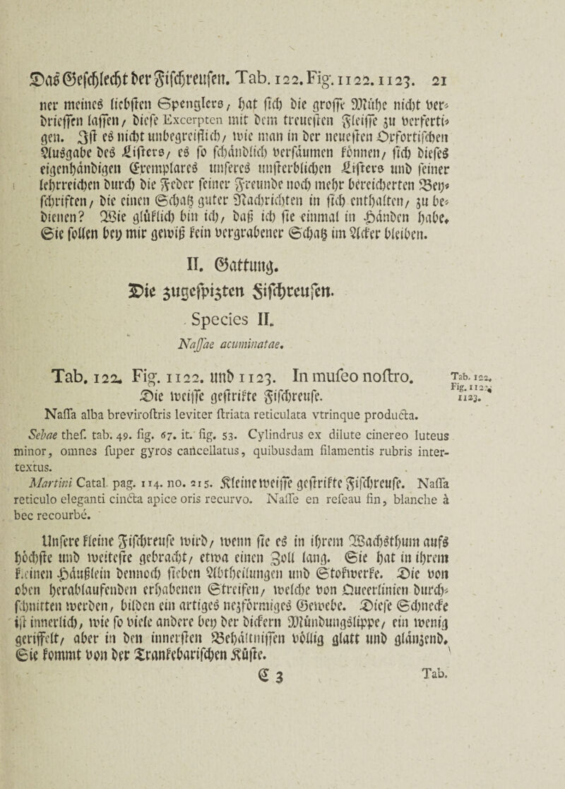 s ScisSe^te^ttcfSif^t'cufcn.Tab. 122.Fig.n22.1x25. 21 net- meines (iebfien Spenglers, ftat fiel) Die groffr 9J?üf)e nid)t Per- tricffcn laffen / biefe Excerpten mit bem treucfleii gleiflTe 511 verfertt* gen. 3ft eö nicht unbegreiflich/ wie man in ber neueften Ojefortifthen 2lu$gabe be$ £if'tevs, et jo fd)dnMtd) verfdumen Formen/ ffch biefeS eigenhänbigen ©remplareä tmfere$ unfterblichen öfters unb feiner lehrreichen burd) Die Seber feiner greimbe noch mehr bereicherten 23ei;* feftriften/ bie einen ©chaö guter 0?ad)rid)ten in fleh enthalten/ $u be* bienen? 2Bie glüFlid) bin ich, baf ich fie einmal in JMnben habe# (Bie feilen bei; mir genug fein vergrabener ©cha$ im tiefer bleiben. II. ©attuttjj. 3Die $ugcfpi$tctt Sifc&teujeit. . Species II* NaJJae acuminatae. Tab. 122. Fig. 1122. unt> 1123. In mufco noftro. £>ie inciiTe geftrifte gifdjreufc. Nafia alba breviroftris leviter ftriata reticulata vtrinque producta. Tab, 1 Fig. 11 Sebae thef. tab. 49. fig. 07. it. fig. 53. Cylindrus ex dilute cinereo luteus minor, omnes fuper gyros cailceilatus, quibusdam filaraentis rubris inter- textus. Martini Catai. pag. 114. no. 215. kleine weiffe ^cftriffe ^ifchreufc. Nafia reticulo eleganti cindta apice oris recurvo. Nafle en refeau fin, blanche a bec recourbe. Unfere fleine Jifchreufe wirb/ wenn fie e$ in ihrem 2£adj$thum aufg hbcbjie unb weitefre gebracht/ etwa einen 3vll lang, ©ie hat in ihrem Fieinen Jödnglein bennoef) Heben 2lbthcilwige» unb ©tefwerfe. £)ie von oben herablaufenben erhabenen ©treffen/ welche von Dueerlinien burcf^ fchnitten werben, bilben ein artige^ nefformigeS ©ewebe. ®tefe ©dweefe ijfinnerlid), wiefovieleanbere bei;berbiefern 90?ünbung$lippe/ ein wenig geriffelt/ aber in ben innerffen $3ehdltniffen völlig glatt unb gldnjenb# ©ie fommt von ber Xranfebarifchen £üfte. e 3 Tab. c< ci