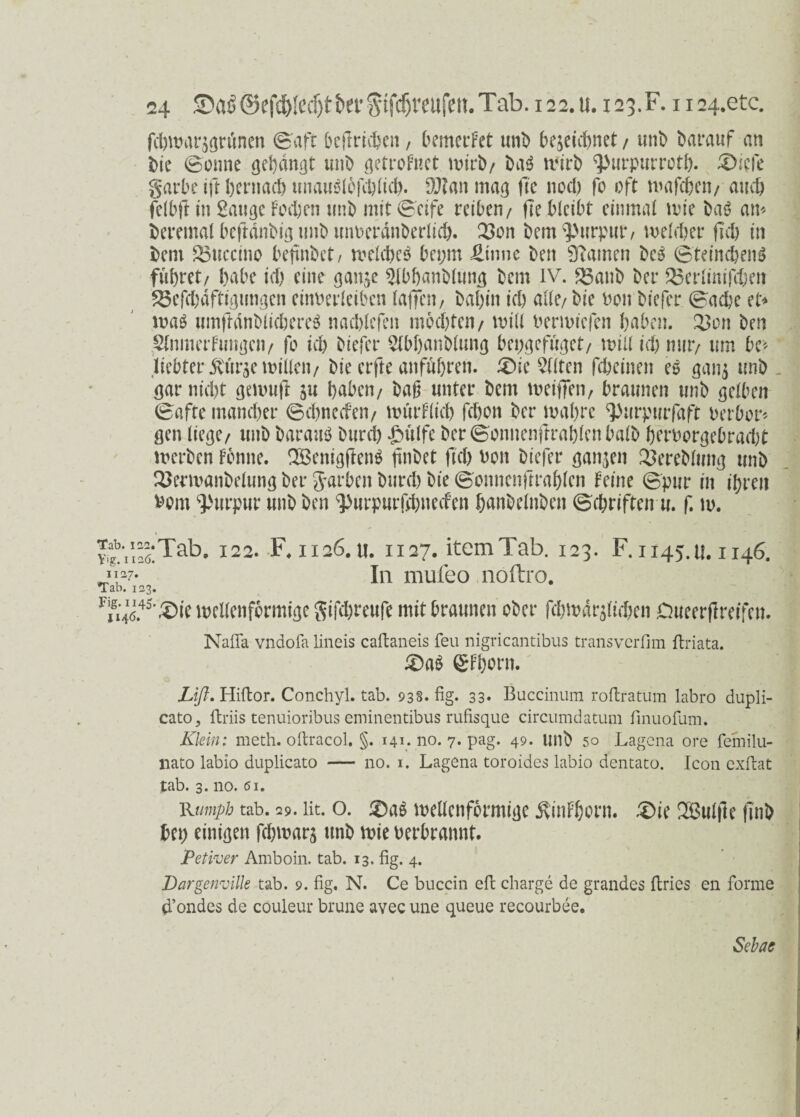 fd)mar$grunen (Saft betrieben, bemertet unb bezeichnet / uni) Darauf an Die Bonne gebannt unD getrotuet wirb/ ba£ wirb ^urpurrotf). £)iefe garbe ift l)crnad) unauäfbfcblicb. TUn mag fte nod) fo oft wafchen/ and) felbftin Sauge Fodjen unb mit Seife reiben/ fte bleibt einmal wie Da6 am Wemal beftänbig unb unDeränberlid). 23on Dem ^urput4/ melier fiel) in Dem JÖticcino befinDct/ welches bepm Ütnne Den tarnen DeS BteincbenS führet/ habe id) eine ganje Qlbhanblung Dem IV. 23anb Der £3erlinifcben $öefcl;aftigimgcn einPerleiben laffen, Dahin id) ade/ Die Pon Diefer Bache et* was umftänblicbereS nacblcfeii mochten/ will Perwicfen haben. Xcn Den Slnmer Fungen / fo ich Diefer 2lbl)anblung bei>gcfuget/ will ich mir/ um be» liebter ivtirse nullen/ Die erfte anführen. £ne Eilten fcheinen eS gan^ unD _ gar nicht genuift 511 haben/ bajt unter Dem weiften, braunen unb gelben Bafte mancher Schnccfen/ wurFlid) fchon Der wahre 9>urpurfaft Derbor* gen liege/ unb Darauf Durd) £ulfe DerBonnenftrahlenbalD hcrborgebrad)t werben tonne. SÖenigflenS hübet fiel) Pon Diefer ganzen ^ereblung unD 2$erwanbelung Der Jarben Durd) Die Bonnenftrahlen Feine Spur in ihren Pont Purpur unD Den ^urpurfchneefen hanbelnben (Schriften u. f. w. v-t'iiSTab. 122. F. 1126.11. 1127. itemTab. 123. F. 1145.U. 1146. In mufeo nöftro. Tab. 123. 1 u4.45’^^ wellenförmige gifd)reufe mit braunen ober fd)Wdrzlid)en Oueerftreifen. Nafla vndofa lineis caftaneis feu nigricantibus transverfim ftriata. £)aS QtFhorn. Lift. Hiftor. Conchyl. tab. 938- fig. 33* Buccinum roftratum labro dupli- cato, ftriis tenuioribus eminentibus rufisque circumdatum finuofum. Klein: meth. oftracol. §. 141. no. 7. pag. 49. unb 50 Lagena ore femilu- nato labio duplicato — no. 1. Lagena toroides labio dentato. Icon exftat tab. 3. no. 61. Kumph tab. 29. lit. o. 3)a$ wellenförmige ÄinFhorn. £)ie QBulftc finb bei) einigen fcpwarj unD wie Derbrannt. Petiver Amboin. tab. 13. fig. 4. Dargenville tab. 9. fig. N. Ce buccin efi: Charge de grandes ffcries en forme d’ondes de couleur brune avec une queue recourbee. Sebas