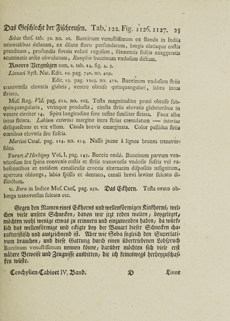 Sebae thef. tab. 52. no. 26. Buccinum vemiftiffimum ex Banda in Indiis orientalibus delatum, ex dilute flavo perfundatum, longis elatisque coftis praeditum , profundis foveis veluti rugofum, filamentis fufcis exaggeratis acuminatis arcte obvolutum, Rumpbio buccinum vndofum diclum. IVnorrö 23er$nü(jett tom. 2. tab. 14. fig. 4.5. Linnaei Sylt. Nat. Edit. 10. pag. 740. no. 405». Edit. i2. pag. 1203. na. 472. Buccinum vndofum ftriis transverfis eievatis glabris, ventre obtufe quinquangulari, labro intus ftriato. Muf. Reg. FM. pag, 612. no. 268. Telia magnitudine pruni obtufe fub- quinquangularis, vtrinque produ&a, cindla ftriis eievatis glabrioribus in ventre circiter 14. Spira longitudine fere teftae fimiliter ftriata. Faux alba intus ftriata. Labium exterius margine intra ftrias crenulatum — interius deliquefcens et vix vllum. Cauda brevis emarginata. Color pallidus ftriis Omnibus eievatis feu fufcis. Martini Catal. pag. 114* no. 214. Naffe jaune ä lignes brunes transver- fales. Favart d’Herbigny Vol. I. pag. 143. Buccin onde. Buccinum parvum ven- tricofum fex fpiris convexis coftis et ftriis transverfis vndofis fufcis vel ru- befcentibus et totidem canaliculis croceis alternatim difpofttis infignitum, apertura oblonga, labio fpiflo et dentato, canali brevi leviter fulcato di- ftindlum. v. Born in Indice Muf. Caefi pag. 252. ©cFbettt. Tefta oyato ob¬ longa transverfim fulcata etc. ©eijenben tarnen cine$ ©dfbern$ itnb wellenförmigen ^nFbornS/ mb eben biele unfern (ScbnecFen/ haben wir /egt reben wellen/ bep<jeleget/ mochten wel)l wenige etwaä $u erinnern unb einjuwenben haben/ ba wtirfr lieb ba$ wellenförmige unb eefigte bet; ber ^Bauart biefer ©ebneefen eba* raFterijlifcb unb au^eiebnenb ijf. $lber wie 6eba fogleicb ben (Superlati* bum brauchen/ unb biefe ©attung bureb einen übertriebenen Sobfprud) Buccinum venuftiffimum nennen Fenne/ baruber mochten ftcb biele erjt nähere »eweift unb 3eugnifie au$bitten/ bie ich feine$weß$ berbepaufebaf# fen wu(le. r C^ncbylieif'Cabinet IV. ganb. $) Sinne