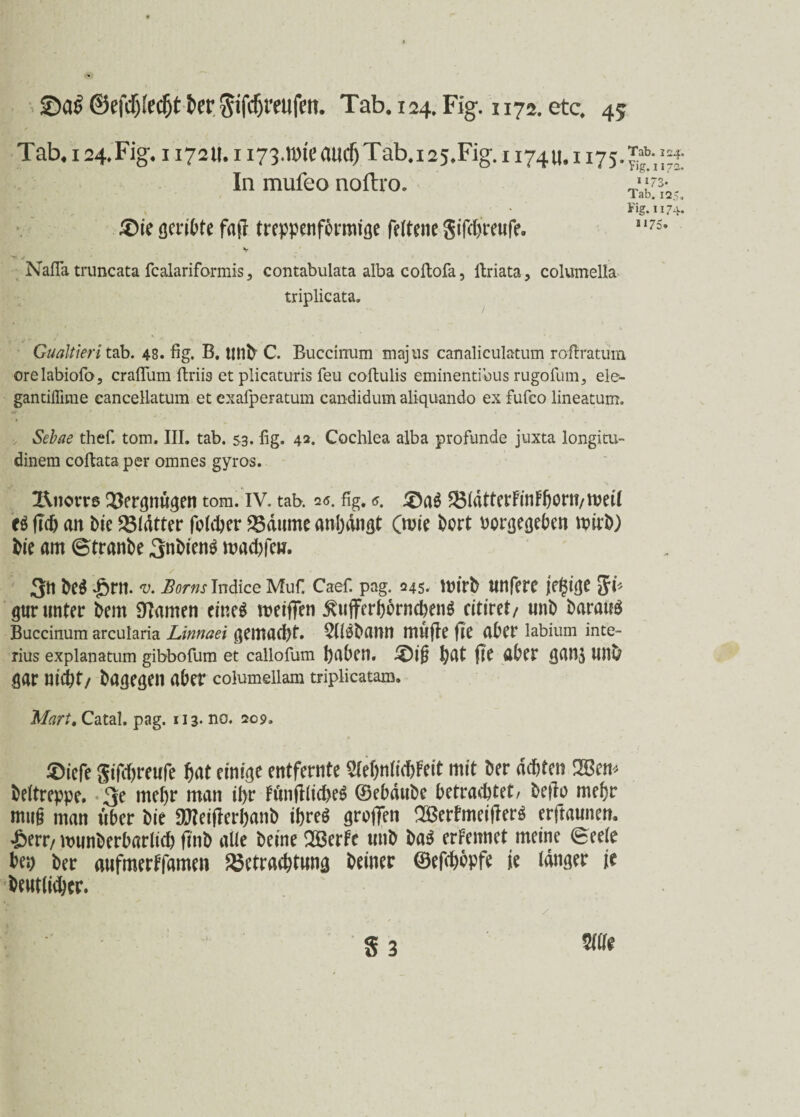 Tab. x 24, Fig. 117211.1173.11x11' aucf)Tab.i25.Fig. 117411.1175 In mufeo nofho. ■ K . . • £)ie geribte faß treppenfcimtöe feltene gifdj’reufe. Tab. 124. * Yig. 1172. ■» 1 r ri Nafla truncata fcalariformis 3 contabulata alba coftofa, ltriata, colmnella triplicata. Gualtieri tab. 48. fig. B. Uttb C. Buccinum majus canaliculatum roftratum orelabiofo, craflum ftrii3 et plicaturis feu coftulis eminentibus rugofum, ele- gantiirmie cancellatum et exalperatum candidum aliquando ex fufeo lineatum. Sebae thef. tom. III. tab. 53. fig. 42. Cochlea alba profunde juxta longitu- dinem coflata per omnes gyros. llnorrs Vergnügen tom. IV. tab. a«. fig. 5. £)a$ ^3(dttefFmF6orii/tt)etC e$ f?<h an Me glatter folcher Baume anbdngt (wie ^crt borgegeben wirb) Me am (Stranbe 3nbien$ warfen. 3n M -&M. V. Borns Indice Muf. Caef. pag. 245. Wirb linfere jffjige $i' gut* unter bem tarnen eines weiffen ^ufferbornchenS eitiret/ unb barauS Buccinum arcularia Linnaei gemad)t. 5IISbaW1 muße fie aber labium inte- rius explanatum gibbofum et callofum haben. l£)ijj hat ßf aber gan$ Uttb gar nicht/ bagegen aber columellam triplicatam. Mart. Catal. pag. 113. no. 209. ®icfe gißhreufe hat einige entfernte BehnfWWcit mit ber achten SBeit* beitreppe. mehr man il>r FönfHid>eö ©ebdube betrachtet/ beßo mehr mu§ man über bie atteißerhanb ihres großen SBerbmeißerS erftaunen. £err/wunberbarlid) ßnb alle beine SBerfe unb baS ernennet meine (Seele be^ ber aufmertfamen Betrachtung beiner ©efehbpfe je langer je heutiger. 83