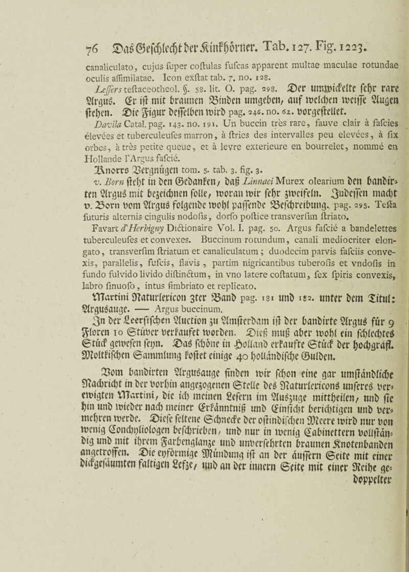 canaliculato, cujus fuper coftulas fufcas apparent multae maculae rotundae oculis affimilatae. Icon exftat tab. 7. no. 128. Lefersteftaceotheoi. §. 53. Ht. o. pag. 293. £>er fcbr rare $(rgii6. @r ifl mit braunen 23inben umgeben, auf metcben meifle 2tugen flehen. £)ie jigur befietben mirb pag. 240. no. «z. borgeftellet. Davlla Catal.pag. 143. no. 191. Un buccin tres rare, fauve clair ä fafcies elevees et tuberculeufes marron, ä fbries des intervalles peu elevees, ä fix orbes, atres petite queüe, et ä levrc exterieure eil bourrelet, nomme en Hollande l’Argus fafcie. 2\norrß Vergnügen tom. 5. tab. 3. fig. 3* v. Born fielet in ben ©ebanfetl, UnnaäMarex. oleariura bett banbtr* ten SlrguS mit bejeiebnen fette, moran mir febr smeifetn. 3nbeffen mad)t v. 23orn bem WrguS folgenbe mobt paffenbe £3ef(breibung. pag. 295. Teik futuris alternis cingulis nodofis, dorfo poftice transverfim ftriato. Favart d'Herbigny Diclionaire Vol. I. pag. 50. Argus fafcie a bandelettes tuberculeufes et convexes. Buccinum rotundum, canali mediocriter elon- gato, transverfim ftriatum et canaliculatum; duodecim parvis fafciis conve- xis, parallelis, fufcis, flavis , partim nigricantibus tuberofis et vndofis in fundo fulvido livido diftindum, in vno latere coftatum, fex fpiris convexis,. labro finuofo, intus fimbriato et replicato. VTTartint OTaturbejctcon 3ter 23anb pag. 131 tmb 132. unter bem Xitut: ^trguöauge. — Argus buccinum. 3n ber £eerftfcben 2tuction $u 2fot(terbam ifl ber banbirte 2trgu$ für 9 Steren 10 ©tfibcr berFaufet morben. £)ie£ mu§ aber mobt ein fcbtecbte$ etücf gemefen fetjn. £>aö jcbone in £ottanb erPaufte ©tucf ber bocbgraft. 9)tottfifd)en ©ammtung Peilet einige 40 l>oUanbifcl)e ©utben. 2>om banbirten 2(rgu6auge ünben mir feben eine gar umffdnbtfcße ^acbricbt in ber borbin angelegenen ©teile bee Ü^atiirtejdconö unfereö ber* emigten VTCartim, bie id> meinen Seferit im 5(uSjuge inittbeiten, unb fte bin unb mieber nad) meiner <£rFänntnig unb @inftcbt berichtigen unb ber« mebren merbe. X>iefe fettene ©cbnecfe ber ofiinbifcben DJteere mirb nur bon mcnig Soncbntiotogen betrieben, unb nur in menig (£abinettern bottfMn* big unb mit ihrem garbengtan^e unb unberfebrten braunen ^notenbanben angetroffen. X)ie epförmige Hftunbung iff an ber duffern ©eite mit einer bnfgeiaumten faltigen 2eße/ unb an ber innern ©eite mit einer Jteibe ge* beppetter