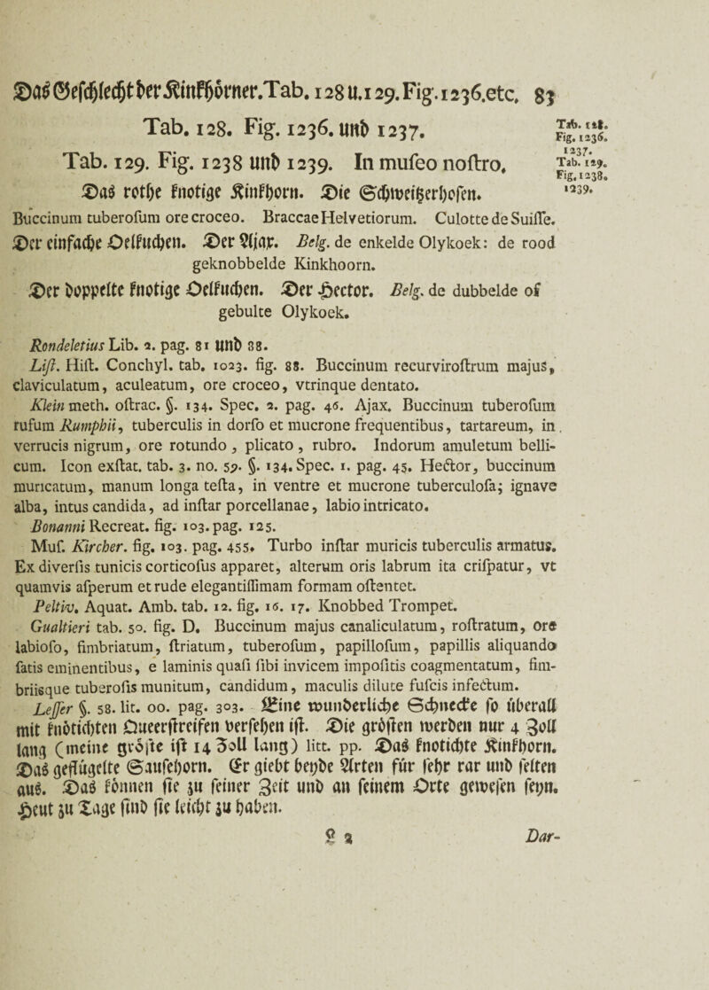 ©a$@efcfj(ec()tt>er ÄinFIjpimTab. 128u.129.Fig.1236.etc. 8j Tab. 128. Fig. 1236. uiti> 1237. Tab. 129. Fig. 1238 Uttö 1239. In mufeo noftro. Tab. iaj. ^ * Fig. 1238. £>a$ rotbe fnotige flinfborn. £)ie <Sc&mei§erl)ofem *239> Biiccinum tuberofum orecroceo. BraccaeHelvetiorum. CulottedeSuifte. ^Ct* einfache Odfuctyni. £)er9ljaje. Belg, de enkeldeOlykoek: de rood geknobbelde Kinkhoorn. £)er Doppelte fnotige Oelfnc&en. £>er Rector. Belg. de dubbeide of gebulte Olykoek. Rondeletius Lib. 2. pag. 81 Unb 88. Lifl. Hilt. Conchyl. tab. 1023. fig. 88. Buccinum recurviroftrura majus, claviculatura, aculeatum, ore croceo, vtrinque dentato. if/d«meth. oftrac. §. 134. Spec. 2. pag. 46. Ajax. Buccinum tuberofum rufum Rumphii, tuberculis in dorfo et mucrone frequentibus, tartareum, in, verrucis nigrum, ore rotundo , plicato, rubro. Indorum amuletum belli- cum. Icon exftat. tab. 3. no. 5p- §- 134. Spec. 1. pag. 45. He&or, buccinum muricatum, manum longa tefta, in ventre et mucrone tuberculofa; ignave alba, intus candida, ad inftar porcellanae, labiointricato. Bonanni Recreat. fig. 103. pag. 125. Muf. Kircher. fig. 103. pag. 455* Turbo inftar muricis tuberculis armatus. Ex diverfis tunicis corticofus apparet, alterum oris labrum ita crifpatur, vt quamvis afperum et rüde elegantifiimam formam oftentet. Peltiv. Aquat. Amb. tab. 12. fig. 16. 17. Knobbed Trompet. Gualtieri tab. 50. fig. D. Buccinum majus canaliculatum, roftratum, ore labiofo, fimbriatum, ftriatum, tuberofum, papillofum, papillis aliquand» fatis eminentibus, e laminis quafi fibi invicem impofitis coagmentatum, fim- briisque tuberofis munitum, candidum, maculis dilute fufeis infe&um. Leffer §. 58. lit. 00. pag. 3°3. S£ine tounberlicbe Gcbnedfe fo überall mit tnbticbten Dueerftreifen fcerfeben tfl. £)ie grbtfen werben nur 4 3tftt lang (meine gvofte ift 14 Soll lang) litt. pp. £)a$ fnotiebte JfSinfborn. geflügelte Gaufeborn. (Er giebt bet;be Slrten für febr rar unb feiten aus. £)aö tonnen fte jn feiner 3eit unb an feinem Orte gewefen fet;n. ^>cut ju Xage fmb fie leicht $u haben. ? 3 Dar-