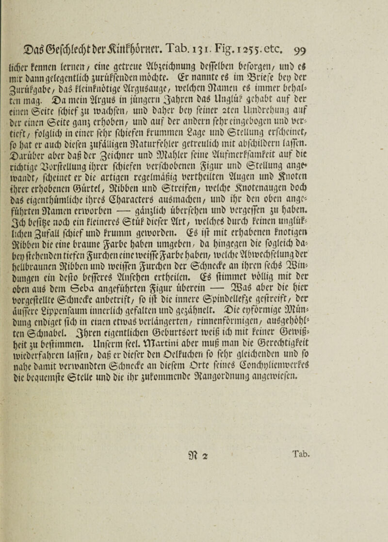 Jicf>er fennen lerneit/ eine getreue Stbjeicbnung befleißen beforgeii/ utib e$ mir banngelegentlicb jurüFfenben mochte. @r nannte e$ im Briefe bei) Der gurüfgabe/ baS FleinFnbtige SlrguSauge, n>eld)en Stauten e$ immer bebal* teil mag. £)a mein 2lrguS in jungem 3<*bren bas UnglüF gehabt auf ber einen ©eite febiefsu warfen, uni) bal;er bei; feiner 2ten Umgebung auf her einen ©eite ganj erhoben/ uni) auf her anbern fehreingebogen unb rer* tieft/ folglich in einer febr febiefen Frummen Sage unb ©rellung erfebeinet, fo hat er auch biefen pfdlligen SKaturfebler getreulid) mit abfebilbern lafien. darüber aber baß ber geiebner unb 9M)(er feine SlufmerFfamFeit auf bic richtige 2>orflellung ihrer febiefen rerfdiobenen gigur unb ©tellung ange* toanbt/ febeinet er bie artigen regelmäßig rertbeilten Slugen unb Quoten ihrer erhobenen ©urtet, SKibben unb ©treifen/ treldje ^notenaugen bod) ba$ eigentbüntlkbe ihres GbaracterS auSmacbeti/ unb ihr ben oben ange* führten tarnen erworben — gänzlich überfehen unb rergeflen ju haben. 3eb beftge noch ein FleinereS ©tüF biefer 2lrt, n>eld)eS burd) Feinen unglüf* lidjen 3ufall fd)ief unb Frumm geworben. @S i|T mit erhabenen Fnotigen «Hibben bie eine braune garbe baben umgeben/ ba hingegen bie fogleicb ba* bei; flebenben tiefen gurd)en eine weiflegarbe haben/ \uctd)e Slbwecbfelungber hellbraunen SHibben unb weiflen gureben ber ©ebneefe an ihren fed)S 2Bin* billigen ein befto beflereS Slnfeben ertheilen. @S flimmet rollig mit ber oben aus bem ©eba angeführten gigur überein — 2BaS aber bie hier rorgeflellte ©ebneefe anbetrift/ fo ifl bie innere ©pinbeließe geftreift/ ber duffere Sippenfaum innerlid) gefalten unb ge^ahnelt. £)ie epfbrmige 9}?ün* bung enbiget ftd) in einen etwas rerldngerten/ rinnenfbrmigen/ auSgehobl'' ten ©ebnabel. 3bren eigentlichen ©eburtSort weiß id) mit Feiner ©ewiß* heit ju beftimmen. Unferm feel. VITavttm aber muß man bie ©ereebtigFei't wieb erfahren taffen / baß er biefer ben OelFucben fo fehr gleidjenben unb fo nahe bamit rerwanbten ©dmeefe an biefem Orte feines @ond)i;lienwerFeS bie beguemfle ©teUe unb bie ihr juFommenbe Dfangorbnung angewiefen.