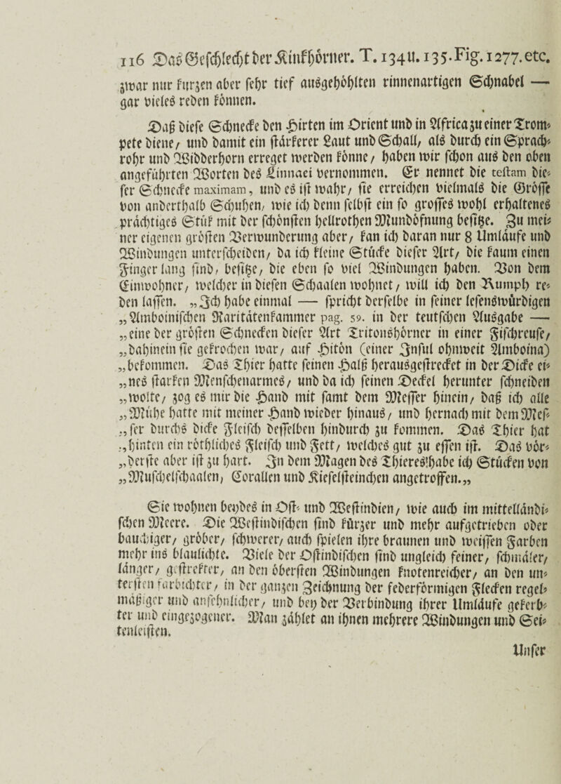 jtüar nur Fitrjen aber fd)r tief aitsgeMltcn rimicmutigcn ©d)tt«f>d — gar oieleö reben tonnen. £>ag Diefe ©chnecte ben Wirten im Orient unb in ^tfrica ju einer Xrom^ pete Diene/ unb bamit ein jldrfercr Saut unb©chatl, aB burch ein(Sprach* rohr unb ^Bibbertjorn erreget merben tonne, haben mir fdjon aiB ben eben angeführten Porten be$ JSmnaei Pernommen. ©r nennet bie teftam bie^ fer ©efcnecfe maximam, unbeStflmahr, fie erreichen PielmaB bie ©rofle Pon anberthalb ©chuhem mie id) benn fclb|l ein fo grojTeö mohl erhaltene^ prächtiges ©tut mit ber fd)6njlen hetlrothen 9J?unböfnung beft^e. 3« mei* ner eigenen grollen 23ermunbcrung aber/ tan ich baran nur 8 Umlaufe unb SBinbungen unterfcheiben/ ba ich tleine ©tuefe biefet* 2lrt, bie faum einen ginger lang flnbr hefige, bie eben fo Piel SÖinbungen haben. 2$on bem Einwohner, meldjer in biefen ©chaalen mohnet, milt ich ben 3\umpl> re* ben lajfen. ,,3d) habe einmal — fpricht berfelbe in feiner lefeiBipürbigen „Stmboinifchen «Karitdtentammer pag. 59. in ber teutfehen 5(uögabe —■ „eine ber grollen ©ehneefen biefer 3(rt XritoiBhbrner in einer gifchreufe, „babineinfi'e gefrochen mar/ auf £itön (einer 3nful ohnmeit 5lmboina) „betommen. X>as Xhier hatte feinen £alü berauSgcflrecfet in ber£)icfe eh „neö llarten OftenfchenarmeS, unbbaid) feinen Xbecfel herunter fdmeibeit „molte/ sog eö mir bie -&anb mit famt bem 9}?effer hinein/ ba§ id) alle „9}?ühe hatte mit meiner £anb mieber hinauf unb hernad) mit bem$?ef ., fer burdB biefe glcifd) beffelbeit binburd) ju Fommen. X)aS Xhier hat hinten ein röthlicheS gleifd) unb gett, mclcheö gut ju effen tjl. X)aö Pör* „berfte aber i|l 511 hart. 3n bem Etagen bc$ XbiereSlhabe ich ©tücfen Pon „93?ufchelfd)aa(en, Korallen unb jUefel|leind)cn angetroffen.,, ©ie mohnen bepbeS in Ofl- unb QBeftinbien, mie auch im mitteltdnbi« fchen DJteere. _ X)ie 2Be|tittbifd)cn finb türjer unb mehr aufgetrieben ober bauchiger/ grober/ fchmereiv aud) fpielen ihre braunen unb meijfen garben mehr ins blaulid)te. 23tele ber Oftinbifd)en finb ungleid) feiner, fchmdler, tanger, g.flrefrcr, an ben oberften QÖBinbungen fnotenreicher, an ben um fei |rai rarbid)tcr, in ber ganzen Zeichnung ber feberförmigen glecfen reget* ind^gor unb aniehnlicher, unb bei; ber 23erbinbung ihrer Umldufe geterb* ter unb cinge$ogcner. 3)?an zahlet an ihnen mehrere 2Binbungen unb ©eh tenteiflen. Unfer