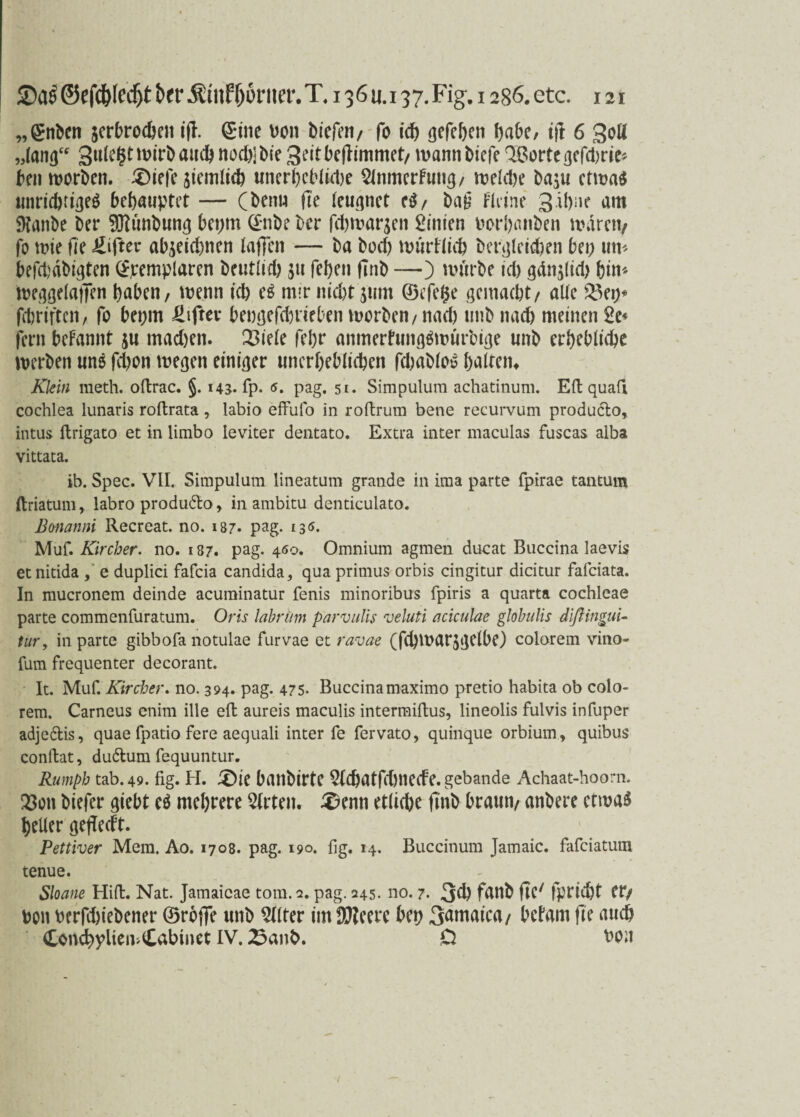 „gnben ^erbrochen tfl. ©ine von biefen, fo ich gefehen habe, i|T 6 goK 3ulc§t wirb and) noch) bie Seitbcflimmet/ mann biefe Qßortegefdwie* ben worben. £)iefe jtcmltcb unerbcblkhe 2lnmerFung, welche baju etwa* unrichtiges behauptet — (benu fte leugnet eS, ba£ Fit ine 3-ibne am Sftanbe ber SRunbung beprn ©nbe ber fcbwarjen Linien vorhanben waren, fo wie (je Elfter ab^eichnen laffen — ba hoch würFIich Vergleichen bet; um befd)äbigten ©jremplaren beutlid) S» fehen (Tnb —) würbe id) gän$lid) hin« weggelafjen haben, wenn ich es mir nicht jum ©efege gemacht, alle 23ep* fdjriftcn, fo bepm Elfter bengefcfeneben worben,nad) tmb nad) meinen 2t* fern beFannt ju machen. 23iele fehr anmerfungSwurbige unb erhebliche werben uns fd)on wegen einiger unerheblichen fdmbloo halten* Klein meth. oftrac. §. 143. fp. <s. pag. 51. Simpulura achatinum. Eft quafi cochlea lunaris roftrata, labio effufo in roftrum bene recurvum produdo, intus ftrigato et in limbo leviter dentato. Extra inter maculas fuscas alba vittata. ib. Spec. VII. Simpulum lineatum grande in ima parte fpirae tantum ftriatum, labro produdo, in ambitu denticulato. Bonanni Recreat. no. 187. pag. 130. Muf. Kircher. no. 187. pag. 400. Omnium agmen ducat Buccina laevis et nitida , e duplici fafcia candida, qua primus orbis cingitur dicitur fafciata. In mucronem deinde acurainatur fenis minoribus fpiris a quarta cochleae parte commenfuratum. Oris labrum parvulis veluti aciculae globulis difiingui- tur, in parte gibbofa notulae furvae et ravae (fdjwarjijclbc) colorem vino- fum frequenter decorant. It. Muf. Kircher. no. 394. pag. 475- Buccina maximo pretio habita ob colo¬ rem. Carneus enim ille eft aureis maculis intermiftus, lineolis fulvis infuper adjedis, quae fpatio fere aequali inter fe fervato, quinque orbium, quibus conftat, dudum fequuntur. Rumph tab.49. fig. H. &ie banbirte Sldjatfchnecfe.gebande Achaat-hoorn. Xow biefer giebt eS mehrere Wirten. 3?enn etliche fmb braun, anbere etwas heller gejTecFt. Pettiver Mem. Ao. 1708. pag. 190. fig. 14. Buccinum Jamaic. fafciatutn tenue. Sloane Hirt:. Nat. Jamaicae tom. 2. pag. 245. 110. 7. 3d) fanb fte' fprid)t er, von verfdjiebener ©rbffe unb Filter imDfteerc bep Samaica, bcFam fte auch ConchyltemCabmet IV. 23anb. O von