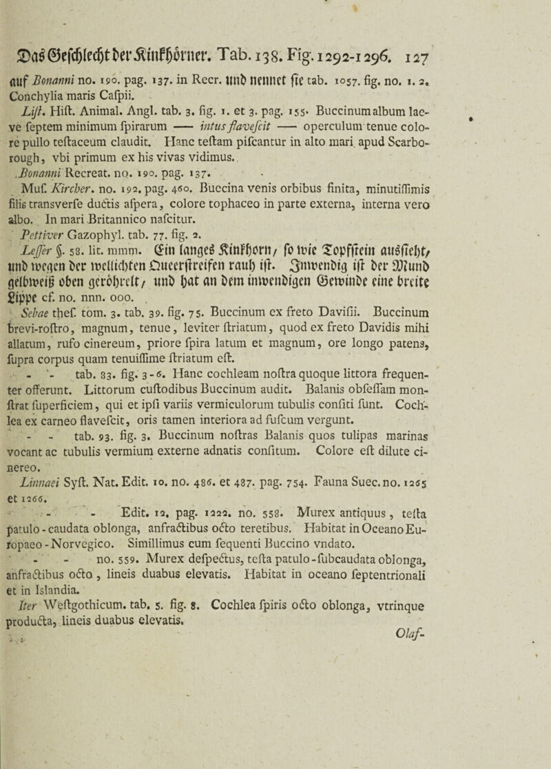 auf Bonanni no. 190. pag. 137* in Reer, imb nennet fte tab. 1057. fig. no. 1. 2. Conchylia maris Cafpii. Lijt. Hift. Animal. Angl. tab. 3. fig. 1. et 3. pag. 155* Buccinumalbum lae- ve feptem minimum fpirarum - intusflavefeit — operculum tenue colo- re pullo teftaceum claudit. Hane teflam pifeantur in alto mari apud Scarbo- rough, vbi primum ex his vivas vidimus.. .Bonanni Recreat. no. 190. pag. 137« MuC Kirchen, no. 192. pag. 46°. ßuccina venis orbibus finita, minutiflimis filiß transverfe dudtis afpera, colore tophaceo in parte externa, interna vero albo. In mari Britannico nafeitur. Pettiver Gazophyl. tab. 77. fig. 2. Lejjer §. 53. fit. mmm. (jin langet ^ütFbortt/ fo itrie Xopffretn tittb wegen ber weKtcbten Cmeerjkeifen raub tff. 3mwnbtg ift ber 9)?unb gelbweii oben gerbbreit/ unb bat an bem tnwenbigen ©ewinbe eine breite Sippe cf. no. nnn. 000. Sebae tfief. tom. 3. tab. 39. fig. 75. Buccinum ex freto Davifii. Buccinum brevi-roftro, magnum, tenue, leviter flriatum, quod ex freto Davidis mihi allatum, rufo cinereum, priore fpira latum et magnum, ore longo patens, fupra corpus quam tenuiflime flriatum efir. - L- tab. 33. fig. 3-6. Hane cochleam noftra quoque littora frequen¬ ter offerunt. Littorum cuflodibus Buccinum audit. Baianis obfefiam mon- flrat luperficiem, qui et ipfi variis vermiculorum tubulis confiti funt. Coch- lea ex carneo flavefeit, oris tarnen interiora ad fufeum vergunt. tab. 93. fig. 3. Buccinum nofiras Baianis quos tulipas marinas vocant ac tubulis vermium externe adnatis confitum. Colore eft dilute ci- nereo. Linnaei Syft. Nat. Edit. 10. no. 480. et 487. pag. 754* Fauna Suec.no. 1255 et IQ66, Edit. 12. pag. 1222. no. 558. Murex antiquus, tella patulo - caudata oblonga, anfradlibus odlo teretibus. Habitat in Oceano Eu¬ ro paeo-Norvegico. Simillimus cum fequenti Buccino vndato. no. 559. Murex defpectus, tcfla patulo-fubcaudata oblonga, ahffa&ibus 06I0, lineis duabus elevatis. Habitat in oceano feptentrionali et in Islandia. Iter W'eftgothicum. tab. 5. fig. 8. Cochlea fpiris odlo oblonga, vtrinque produ&a, lineis duabus elevatis. Olaf-