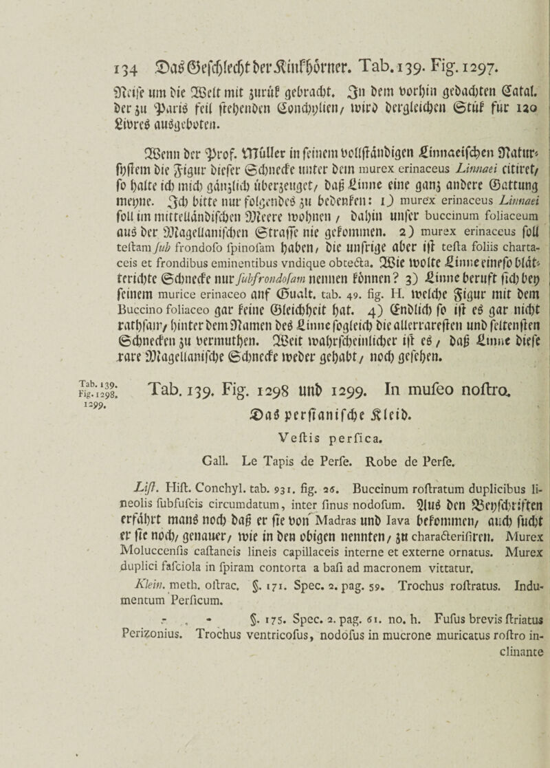 9tiife um Me 2Belt mit prüf gebracht. 3« Dem borhin gebauten Satal. berju ^>ari$ feit ftehenben (£ond)i;lien/ tnirb Dergleichen 0tüf für no £ibre$ auögeboten. 2Benn bcr $>rof. Vnüller in feinem bcllfldnbigen ßnnaeifchen SJTfltur* ft;(lem bie gigur biefer 0d)necfe unter bem murex erinaceus Limaei citiret/ fo halte id) tnid> gänzlich uberjeu^et/ baß £tnne eine gan$ anbere ©attung mepne. 3d) bitte nur folgendes ,311 bebenfen: O murex erinaceus Linnaei foU im mitteUdnbifcbeu Slfteere mohnen / baljin unfcr buccinum foiiaceum ausber 9Jtageüanifd)en 0traffe nie gekommen. 2) murex erinaceus foU teftam jub frondofo fpinofam haben / bie Ullfrige aber i|l tefta foliis charta- ceis et frondibus eminentibus vndique obtedta. 2Bie ibOlte <£inneeinpfobldt^ tcrid)te (Schnede nurfubfrondofam nennen fbnnen? 3) üinne beruft fjd) bei) feinem murice erinaceo auf (fhialt. tab. 49. fig. H. meldje gigur mit bem Buccino foliaceo gar feine ©leichheit hnt. 4) ©nblid) fo ijl eS gar nicht rathfair/ hinter bem tarnen be$ £innefog(eich bieallerrarefkn unbfeltenjlen 0chnecfen $u bermuthen. 2£eit mahrfcheinlicher ift e$ / baß fitnne biefe rare äKagellanifche 0chnecfe meber gehabt/ nod) gefehen. Tab. 139. Fig. 1298 unt> 1299. In mufeo noftro. £)aö perftanifdje jUeib. Veitis perfica. Gail. Le Tapis de Perfe. Robe de Perfe. Lift. Hill. Conchyl. tab. 931. fig. 2s. Buccinum roftratum duplicibus li- neolis fubfufcis circuradatum, inter finus nodofum. 51UÖ bett 33ei)fd)tiften erfahrt mang noch baß er fi'ebon Madras nnb lava befommcn/ aud) fucht er fte nod)/ genauer/ mie in ben obigen nennten/ p charatterifimi. Murex Moluccenfis caftaneis lineis capillaceis interne et externe ornatus. Murex duplici fafciola in fpiram contorta a bafi ad macronem vittatur. Klein, meth. ofirac. §. 171. Spec. 2. pag. 59* Trochus roftratus. Indu« mentum Perficum. - §. 175. Spec. 2. pag. 51. no. h. Fufus brevis flriatus Perizonius. Trochus ventricofus, nodofus in mucrone muricatus roftro in- clinante