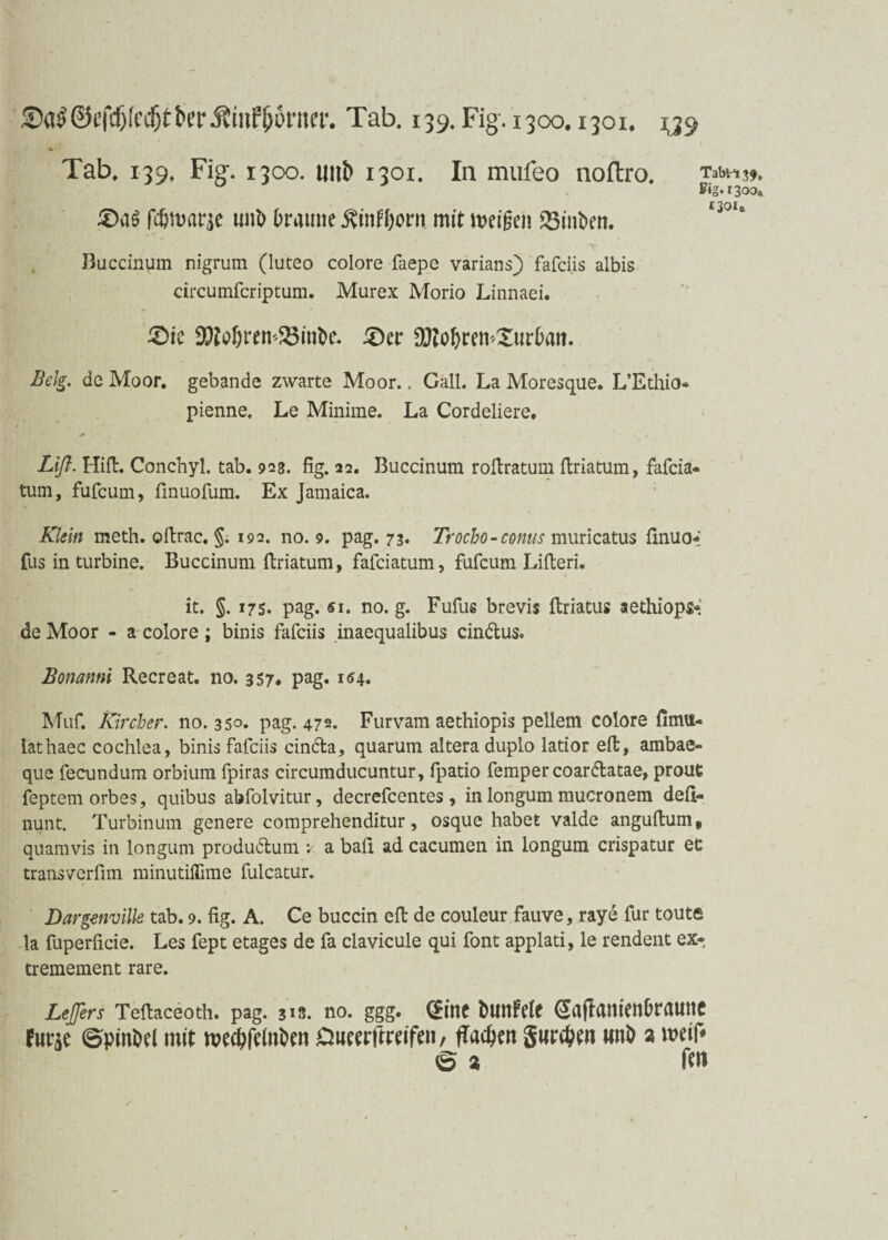 Tab, 139, Fig. 1300. tmb 1301. In mufeo noftro, Tabii 39, Eig.r3oo. £>a$ fdjtuarje uni) braune Äinf&om mit meißen SSinbett. 13010 Buccinum nigrum (luteo colore faepe varians) fafciis albis circumfcriptum. Murex Morio Linnaei. £>ie 99toI)rem23int>c. £)er DJtobremXurbait. Belg, de Moor, gebande zwarte Moor.. Gail. La Moresque. L’Ethio- pienne. Le Minime. La Cordeliere, Lift. Hifi:. Conchyl. tab. 923. fig. 22. Buccinum roftratum ftriatum, fafeia- tum, fufeum, finuofum. Ex Jamaica. Klein meth. oftrac. §. 192. no. 9. pag. 73. Trocho- conus muricatus finuo« fus in turbine. Buccinum ftriatum, fafeiatum, fufeum Lifteri. it. §. 17 s. pag. <51. no. g. Fufus brevis ftriatus aethiops* de Moor - a colore ; binis fafciis inaequalibus cin&us. Bonanni Recreat, no. 357. pag. 104. Muf. Kircher. no. 35°. pag. 472. Furvam aethiopis peliem colore fimu- läthaec cochlea, binis fafciis cin&a, quarum altera duplo latior eft, ambae- que fecundum orbium fpiras circumducuntur, fpatio femper coar&atae, prout feptemorbes, quibus abfolvitur, decrefcentes, in longum mucronem deft- nunt. Turbinum genere comprehenditur, osque habet valde anguftume quamvis in longum produ&um v. a bafi ad cacumen in longum crispatur ec transverfim minutiflime fulcatur. Dargenvilk tab. 9. fig. A. Ce buccin eil de couleur fauve, raye für toute la fuperficie. Les fept etages de fa clavicule qui font applati, le rendent ex- tremement rare. Le fers Tefiaceoth. pag. 313. no. ggg. <£ine bunfeie (^aflamenOrauitc furje ©pinbel mit mectyfeinben Oueerftreifen, flauen gurren wnb a weif* ® a fen