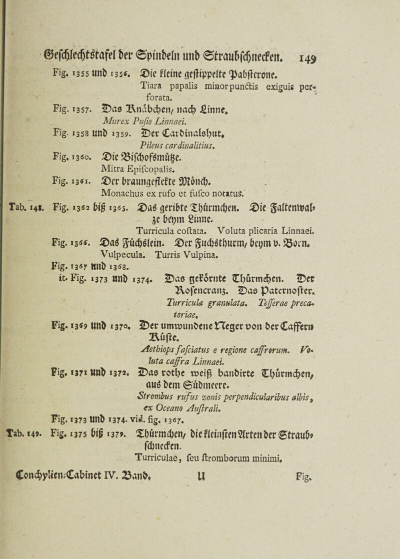 Fig. 1355 uni) i35*. 3)ie Heine geftippeltc ‘Pabtfcrone. Tiara papalis minorpunftis exiguis perr forata. Fig. 1357. £>ae Rnäbcbcti/ »ad) £titne, Mur ex Pufio Linnaei. Fig. 1358 unb 1359. 2Dev Cavbinalöbut# Pileus cardinalitius. Fig. 1300. £>ie ^ifcbofämuge. Mitra Epifcopalis. Fig. 13*1. £)cr t>raungefTefte fölMid). Monachus ex rufo et fufco notatus.' Tab. 14t. Fig. 1302 Mg 1305. geriete £Mrmc&c». &ie Saitemtwb je bepin Sinne. Turricula coftata. Voluta plicaria Linnaei. Fig. 13«*. £)a$ fföcöglein. 3)er gucbätburnv bei;m u. Sortt. Vulpecula. Turris Vulpina. Fig. 13«7 ttni) 13*8. it. Fig. 1373 unb 1374. JDas gedornte £l)ürmd)e». !Dee TVofcncranj. 5Daß patcrnofter. Turricula gramlata. TeJJerae preca- toriaß, Fig. 13*9 Uttb 1370. JDer umroimbene Heget: t>o» berCaffcru m\ic. Aetkiops fafciatus e regione cajfrorum. Vb* luta caff'ra Linnaei. Fig. 1371 ttnb 137*. ÜDas rotl)e weiß banbirte Cbunncberc, au$ bem ©übmeere. Strombus rufus zonis perpendicularibus albis> ex Oceano Außrali. Fig. 1373 Ullb 1374* vid. fig. 1367. Tab. 149. Fig. 1375 Mg *379. Xbürmiben/ biefteinfrenSIrtenbetrStrauM fc&necfen. Turriculae, feu (tromborum rainimi. Con$yUe»;£abmet IV. 23anb* U Fig.