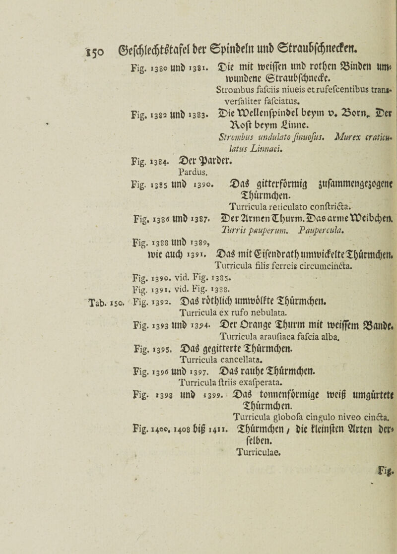 Fig. 1380 1331. ®ie mit meiffen unb rotben £3inben utm munbene ©traubfc&netfe. Strombus fafciis niueis etrufefcentibus trani- verfaliter faiciatus. Fig. 1382 unb 1383- 3Die VDeUenfptnbel bcym p* 23orn, iDer TVoft bcym ütnnc. Strombus undulato ßnuofus. Mur ex cratku- latus Linnaek Fig. 1384- £>er Färber. Pardus. Fig. 1385 uni) 1390. £)a$ gitterfbrmig aufammengcjogenc Xf)urmd)en. Turricula reticulato conftridta. Fig. 1380 unb 1387. 2)et*FirmentCl>urm.S)a0örmeVÜcibcbCrt. Tunis pauperum. Paupercuh. Fig- 1383 unb 1389, mieaud) 1391. mitgifenbratbummicfeite£&ürmd)en. Turricula filis ferreis circumcinbta. Fig. 1390. vid. Fig. 1385. Fig. 1391. vid. Fig. 1388. Tab. 150.' Fig. 139a. rotblicb ummbifte tburmcfjen. Turricula ex rufo nebulata. Fig. 1393 unb 13*4. £)er Crange Xburm mit meiffem 23anbe. Turricula araufiaca fafcia alba, Fig, 1395. gegitterte £f)ürmd)en. Turricula cancellata. Fig. 1396 unb 1397. £>a$ raube Xbfirmcbett. Turricula ftriis exafperata. Fig. 1398 unb 1399. £)a3 tonnenformige mcig umgürtetc Xbürmcben. Turricula globofa cingulo niveo cinfta, Fig. 1400.1408 big hu. £bürmd)en / bie fleinjten 5(rten ber* felben. Turriculae.