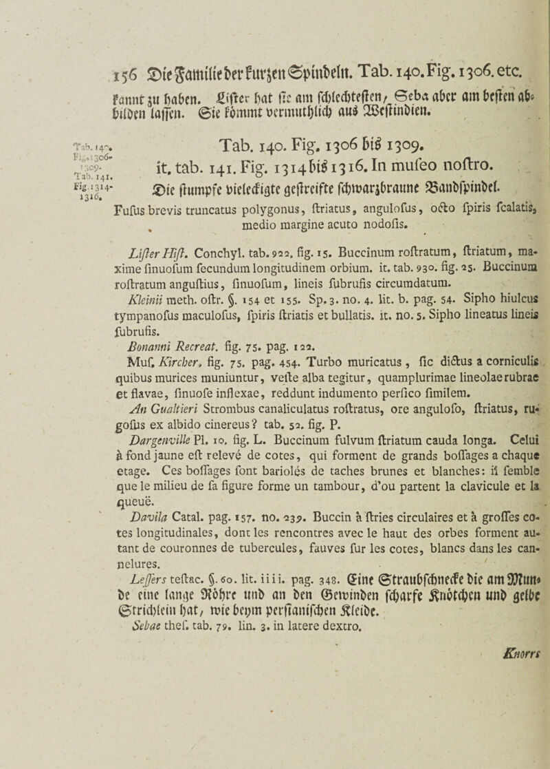 Fannt JU fiafint. fiiftcv fiat (Tr am fcfilcdjtt(len, Scba aber am fitfim «6* fiilöcn taffen. @ie fömint »crumtfilicfi aui 2ßc|nni>tett. Tab. 140. Fig. 1306 bii 1309. 1 ät. tab. 141. Fig. 1314 bi^ 1316. In mui'eo noftro. *<8-1314- ®je jlumpfe fiielecfigte geilreifte fefimarjfiraune 25a»t>fpmM. Fufus brevis truncatus polygonus, ftriatus, angulofas, ofto fpiris fcalatis, medio margine acuto nodofis. LißerHift. Conchyl. tab. 922. fig. 15. Buccinum roflratum, {Iriatum, ma- xime finuofum fecundum longitudinem orbium. it. tab. 93°. fig- 25. Buccinum roftratum anguftius, finuofum, lineis fubrufis circumdatum. Kleinii meth. oilr. §. 154 et 155* Sp. 3. no. 4. lit. b. pag. 54. Sipho hiulcus tympanofus maculofus, fpiris ftriatis et bullatis. it. no. 5. Sipho lineatus lineis fubrufis. Bonanni Recreat. fig. 75. pag. 122. Muf, Kircher, fig. 75. pag. 454. Turbo muricatus , fic di&us a corniculis quibus murices muniuntur, veile alba tegitur , quamplurimae lineolae rubrae etflavae, finuofe inflexae, reddunt indumento perfico fimilem. An Gualtieri Strombus canaliculatus roilratus, ore angulofo, ftriatus, ru* gofus ex albido cinereus? tab. 52. fig. P. Dargenville Pi, 10. fig. L. Buccinum fulvum ftriatum cauda longa. Celui äfond jaune eit releve de cotes, qui forment de grands boifages a chaque etage. Ces boifages tont barioles de taches brunes et blanches: i'i femble que le milieu de fa figure forme un tambour, dou partent la clavicule et la queue. Davila Catal. pag. 157. no. 235». Buccin a ftries circulaires et a groifes co¬ tes longitudinales, dontles rencontres avec le haut des orbes forment au- tant de couronnes de tubercules, fauves für les cotes, blancs dans les can- nelures. Lejjers teftac. §.<>0. lit. iiii. pag. 348. (£tnc ©traubfdbtiecfe bie amSlftmt* be eine lange $obrc tmb an ben ©enhnben fdjarfe «nb gelbe 0rrid)lein bat, mtebcpm perflantfc&en bleibe. Sebae thef. tab. 79. lin. 3. in latere dextro. Kiiorrs