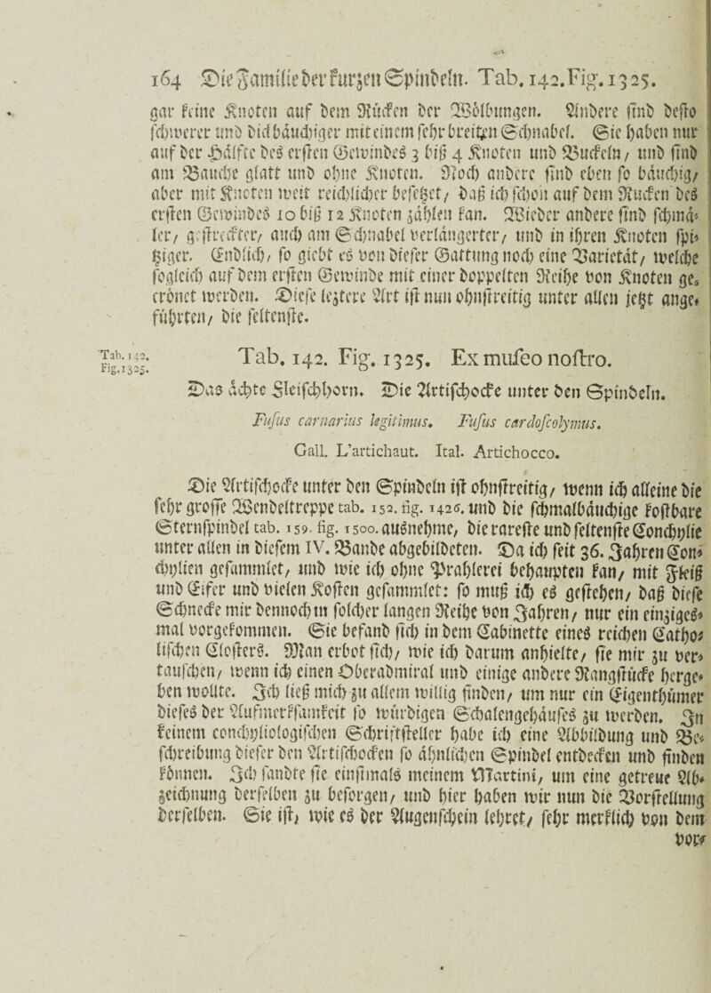 Ci »r* -J- c* gar ferne knoten auf bem SKücfen ber SBolbungen. Rubere ftnb beffo fernerer unb btrf bauchiger mir einem febr breiten ©chnabd. ©ie haben nur auf ber £alftc be$ erfreu ©ewinbeS 3 biß 4 knoten unb 28ucFdn/ unb finb atn 23am1je ßlatt unb ebne Quoten. Steel) anbere finb eben fo bauchig/ aber mit kneten weit reichlicher biTe^ct/ baß ichfthoii auf bem SKucfen'beS etilen ©cwinbeS 10 biß 12 knoten jdblen Fan. lieber anbere finb fchma* Jet*/ gefireefter/ auch am ©chnabd verlängerter/ unb in ihren Quoten fph giger, (Enblidf fo ßiebt eö hon biefer ©attung noch eine QSarietdt/ welche foßfeief) auf bem elften ©ewinbe mir einer hoppelten 3feihe hon knoten ge4 erbnet werben. ®iefe Untere 2lrt i|l nun ohnfirdtig unter allen jegt anger führten/ bie feltenfie. Tab. 142. Fig. 1325. Exmufconoftro. SDas achte Sbtfchhorn. SDie 2H*tifct)ocfe unter ben Gptnheln. Fufus carnams legitimus, Fufus cardofcolymus. Gail. L’artichaut. Ital. Artichocco. £>ie SlrtifcfjocFe unter ben ©ptnbdn ifi ohnfireitig/ wenn ich alleine bie fehrgroffe SSenbeltreppe tab. 152. fig. 1425. unb bie fchmalbducbige Fojlhare ©ternfpinbd tab. 159. fig. 1500. ausnehme, bie rareile unb feltenfie @onchplie unter allen in biefem IV. 28anbe abgebilbeteit. 0a ich feit 36.3ahren @on* duften gefammlet, unb wie ich ohne ‘Prahlerei behaupten Fan/ mit Jkiß unb(£ifer unb fielen Sofien gefammlet: fo muß id) e$ gefiebert/ baß biefe ©ehneefe mir bennochtn folcher langen $teihe hon fahren/ nur ein einziges* mal horgeFomnten. ©ie hefanb fich in bem Kabinette eines reichen <2atho* üfrhen GlcfierS. Wlan erbot fiel)/ wie ich barum anhielte/ fie mir 511 her* taufchen/ wenn ich einen öbcrabmiral unb einige anbere Dtangfiücfe herge* ben wollte. 3ch ließ mich p allem willig finben/ um nur ein (Jigenthümer biefeS her 5(ufmerFfamFdt fo wttrbigen ©chalengehdufeS 311 werben. 3n feinem conchpliologifchen ©chriftfieller habe ich eine 3lbbilbung unb 28c* fchreibung biefer ben SlrtifcbodPen fo ähnlichen ©pinbel entbeefen unb finben Fbnnen. 3d) fatibte ftc einjnnate meinem ttTartini, um eine getreue Slb* Zeichnung berfelhen p befolgen/ unb hier haben wir nun bie 33orfteUuitg bcrfelben. ©ie i|l/ wie es her Sfagenfchem lehret/ fehr merflicb hon bem hör*