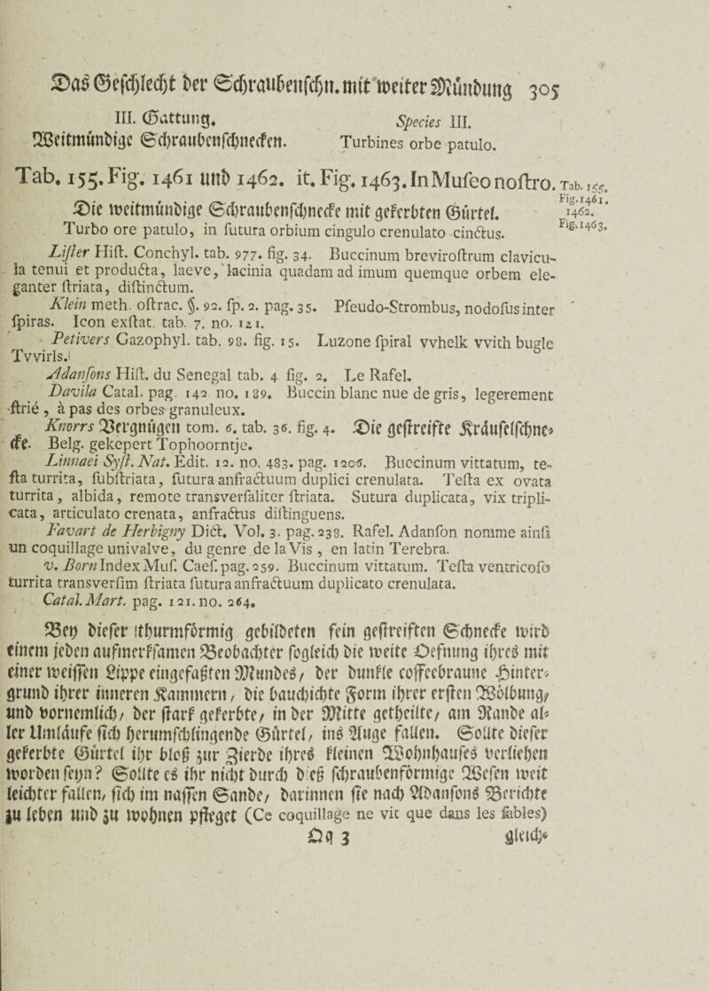 III. (ßiUtlllig, Specks III. !23eitmunt>i!}C ©dirmibcnf^nccfftl. Turbines orbe patulo. Tab. 155. Fig'. 1461 Ullb 1462. it.Fig.i463.InMufeonoftro. 5)ie ibfitmimiigc ©djraubenfdmftfc mit gefärbten ©i'utel. Turbo ore patulo, in futura orbium cingulo crenulato cindlus. Lißer Hifi. Conchyl. tab. 977» fig. 34. Buccinum breviroflrum clavicu- la tenui et produdla, laeve, lacinia quadamadimum quemque orbem ele¬ ganter flriata, diflindtum. Klein meth. oflrac. §. 92. fp. 2. pag. 35. Pfeudo-Strombus, nodofusinter fpiras. Icon exflat tab. 7. no. m. Petivers Gazophyl. tab. 98. fig. 15. Luzone fpiral vvhelk vvith bügle Tvvirls.i Adanfons Hifi, du Senegal tab. 4 fig. 2. Le RafeL Davila Catal. pag 142 no. 139. Buccin blanc nue de gris, legerement •ftrie , ä pas des orbes granuleux. Knorrs Bmjmicjcn tom. 6. tab. 36. fig. 4* £>ie cjeflreifte ^rdufetfdjne* (TC- Belg, geköpert Tophoorntje. Limaei SyJl.Nat. Edit. 12. no. 483. pag. 120«. Buccinum vittatum, te- fla turrita, fubflriata, futura anfradluum duplici crenulata. Telia ex ovata turrita, albida, remote transverfaliter flriata. Sutura duplicata, vix tripli- cata, articulato crenata, anfradtus dillinguens. Favart de Herbigny Didt. Vol. 3- pag. 233. Rafel. Adanfon nomme ainfi nn coquillage univalve, du genre de la Vis , en latin Terebra. v. Born Index Muf. Caef.pag.259. Buccinum vittatum. Tefh ventricofo turrita transverfim flriata futura anfradluum duplicato crenulata. Catal. Mart. pag. 121.no. 264. T^. iss. Fig. 1461. 1462. Fig-, 146 3, Bei) biefer ithurmfbrmfi] gebitbeten fein geftreiften ©ehneefe tuirb einem /eben aufmerffamen Beobachter fogteid) bie meite Oefnung ihres mit einer roeiflen Sippe eingefaßten $?tmbe$/ ber bwnfle coffeebraune hinter* grunb ihrer inneren Kammern, bie £>aucl)id)te gönn ihrer erfien 286tbwng/ wnb bor nein tief), ber flarf gef erbte/ in ber DJlitte getheitte/ am Jtanbe at* Ier Umlaufe fich herumfdjfingenbe ©Artet, ins 2luge falten, ©oltte biefer geferbte ©Artet ihr bloß $ur Sterbe ihres fteinen 3Sobnbaufe$ bertiehen tnorbenfep? ©oltte cS ihr nnl)t burch b:e§ fdjraubenformige QBefen weit leichter falten, fiel) im naflen ©anbe/ barinnen fte nad) SfbanfonS Berichte JU tehen wnb 3W moönen pfleget (Ce coquillage ne vic que (Ums les fehles) £43 fllewt*