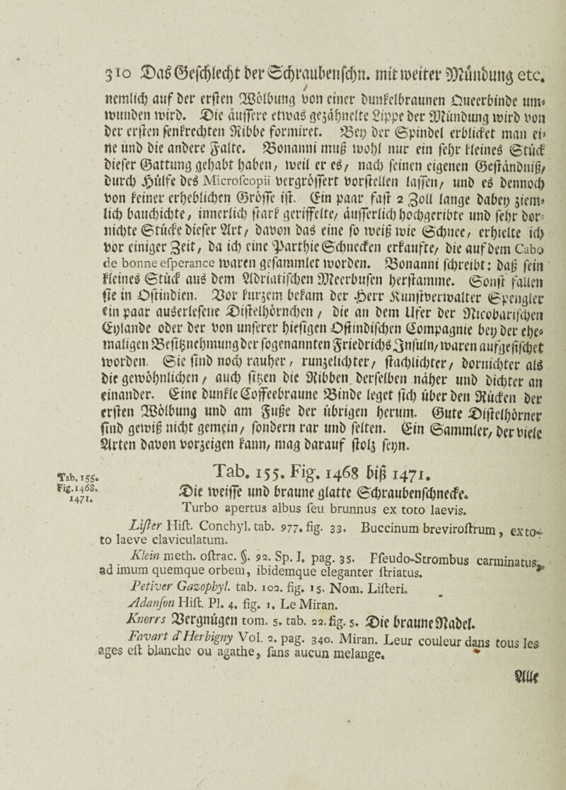 Tab. 155, Fig.1468. *47*. 3 io ©a$@efd)l'ecfjt ber 0d)raubenfd)n. mit weiter SJJüutung etc. nemlidh auf Der erffen Wölbung uon einer Dunkelbraunen Dueerbinbe tun* ttwnDen wirb. £)ie duffere etwaö ge^ahnclte Sippe Der üftimDwig wirb non Der erffen fenkrechten SHibbe formiret. 23 et; Der Spinbel erblicket man ei* ne ttnb Die anDerc gälte. SSonanni muß mehl mir ein fef>r Heines Stuck Diefer®ammggef)abthaben, weiteres/ nad) feinen eigenen ©effdnDnig/ Durd) ^ulfe De^ Microfcopii nergrbffert norffeüen lauen/ unD eS Dennoch Don keiner erheblichen ©reffe ift. ©in paar fall 2 Soll lange Dabet; jiem* lid) baudjtcbte, innerlich ffark geriffelte/ duflerlid) bochgeribte unD fehr Der; nid)te©tucfeDiefer2(rt/ Danen Das eine fo weigwie Schnee, erhielte id> Per einiger Seit, Da ich eine 2>arthie Schnecken erkaufte/ Die auf Dem Cabo de bonne efperance mären gefammlet worben. 23onanni fd)reibt: Dag fein kleines Stuck au« Dem SIDriatifchen äfteerbufen berffamme. Scnff fallen ffe in Oftinbien. 23er kurzem bekam Der £err KunffDerwalter Spengler ein paar auSerlefene 3>iffelborncbcn / Die an Dem Ufer Der Dlicobanfchen ©planbe ober Der Pen unferer hiefigen OffinDifchen Compagnie bei; Der ehe* maligen 23e fffcnebmungber fogenannten griebrichSSnfufn/ waren aufgefffebet worben. Sie ffnb noch rauher, runjelübter/ ffadftidfter/ Dernidjter als Die gewöhnlichen / auch ff$en Die ütibben Derfelben naher unD Dichter an einanber. CSine Dunkle ©ojfeebraune 23inbe leget ffd) über Den ducken Der erffen SBolbung unD am guge Der übrigen herum, ©ute £)tffelhorner finD gewiß nicht gemein/ fenDern rar unD feiten, ©in Sammler, Der Diele Wirten bauen Dornigen kann, mag Darauf ffcls fet;n. Tab. 155. Fig. 1468 6$ 1471. £>ie weifie unD braune glatte Schraubenfchnecke. Turbo apertus albus feu brunnus ex toto laevis. Lißer Hift. Conchyl, tab. 977. fig- 33* Buccinum breviroftrum exto^ to laeve claviculatum. Jxieiu meth. oftrac. 92, Sp. J„ pag. 35* Ffeudo-Strombus carntinatus ad imum quemque orbem, ibidemque eleganter ftriatus. * Petiver Gazophyl tab. ioq. fig. 15. Nom. Lifteri. Adanfm Hift. PI. 4, fig. 1. LeMiran. KnorrS 23ergmtgen tom. 5. tab. 22. fig. 5. £)ie braune9?abef. Favart SHerbigny VoL ». pag. 340. Miran. Leur couleur dans tous les ages clt blanche ou agathe, fans aucun melange. * m