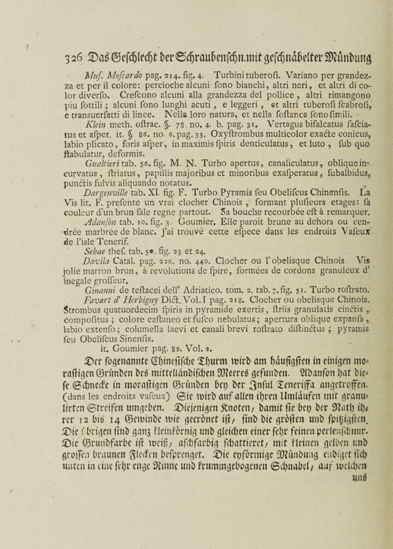 Muf. Mofcardo pag. 214. fig. 4. Turbini tuberofi. Variano per grandez- za et per il colore: percioche alcuni fono bianchi, altri neri, et altri di co- lor diverfo. Crefcono alcuni alla grandezza del pollice , altri rimangono piu fottili; alcuni fono lunghi acuti, e leggeri, et altri tuberofi fcabrofi, e transuerfatti di linee. Nella loro natura, et nella foltanca fonofimili. Klein meth. oilrac. §. 78. no. 4- b. pag. 31. Vertagus bifalcatus fafcia- tus et afper. it. § 8ö. no. 6. pag. 33. Oxyftrombus multicolor exadle conicus, labio plicato, foris afper, inmaximis fpiris denticulatus, etluto, fub quo ftabulatur, deformis. Guatiieri tab. 5«. fig. M. N. Turbo apertus, canaliculatus, oblique in- curvatus, ibiatus, papillis majoribus et minoribus exaiperatus, fubalbidus, punblis fulvis aliquando notatus. Dargenville tab. XI. fig. F. Turbo Pyramis feu Obelifcus Chinenfis. La Vis lit. F. prefente un vrai clocher Chinois , formant plufieurs etages: fa couleur d’un brun fale regne partout. Sa bouche recourbee eil ä remarquer. Adanfon tab. 10. fig. 3. Goumier. Elle paroit brune au dehors ou cen- dree marbree de blanc. J’ai trouve cette efpece dans les endroits Valeux de fisle Tenerif. Sehne thef. tab. 5©. fig. 23 et 24. Davila Catal. pag. 226. no. 440. Clocher ou l’obelisque Chinois Vis jolie marron brun, ä revolutions de fpire, formees de cordons granuleux d? inegale grofieur, Ginanni de teflacei dell’ Adriatico. tom. 2. tab. 7.fig. 51. Turbo roilrato. Favart d’ Flerhigny Didl. Vol.I pag. 218. Clocher ou obelisque Chinois. Strombus quatuordecim fpiris in pyramide exertis, ilriis granulads cindlis, compofitus ; colore caflaneo etfufco nebulatus; apertura oblique expanfa, labio extenfo; columella laevi et canali brevi roilrato diilindlus ; pyramis feu Obelifcus Sinenfis. it. Goumier pag. 89. Vol. 2. der fogenannte @bmeftfcf)e Xf)urm wirb am bäuftjjfen in einigen mo* rafltgen ©rünben bcö mittellänbifchen DJZeereö gefunben. ^Ibanfon bat bie* fe Scbnecfe in tnorafligen ©runben bet; bet* 3nful Xeneriffa angetroffen, (dans les endroits vafeux) 0ie wirb auf allen ihren Umlaufen mit granm Jirten Streifen umgeben, diejenigen knoten/ bamit fte bet) ber 9latb ib* rer 12 biö 14 ©eminbe mie geerbnet ifi/ ftnb bie grbjien unb fpigigften. die t brigen ftnb gan$ fleinfbrnig unb gleichen einer febr feinen perlen ft nur. die ©runbfarbe ift weif/ afchfarbig fchattieret/ mit Ileinen gelben unb greffen braunen Jlecfen befprenget. die epformige sD?unbung enbiget lieb unten in eine febr enge SRinne unb frtimmgebogenen Schnabel/ auf welchen un$