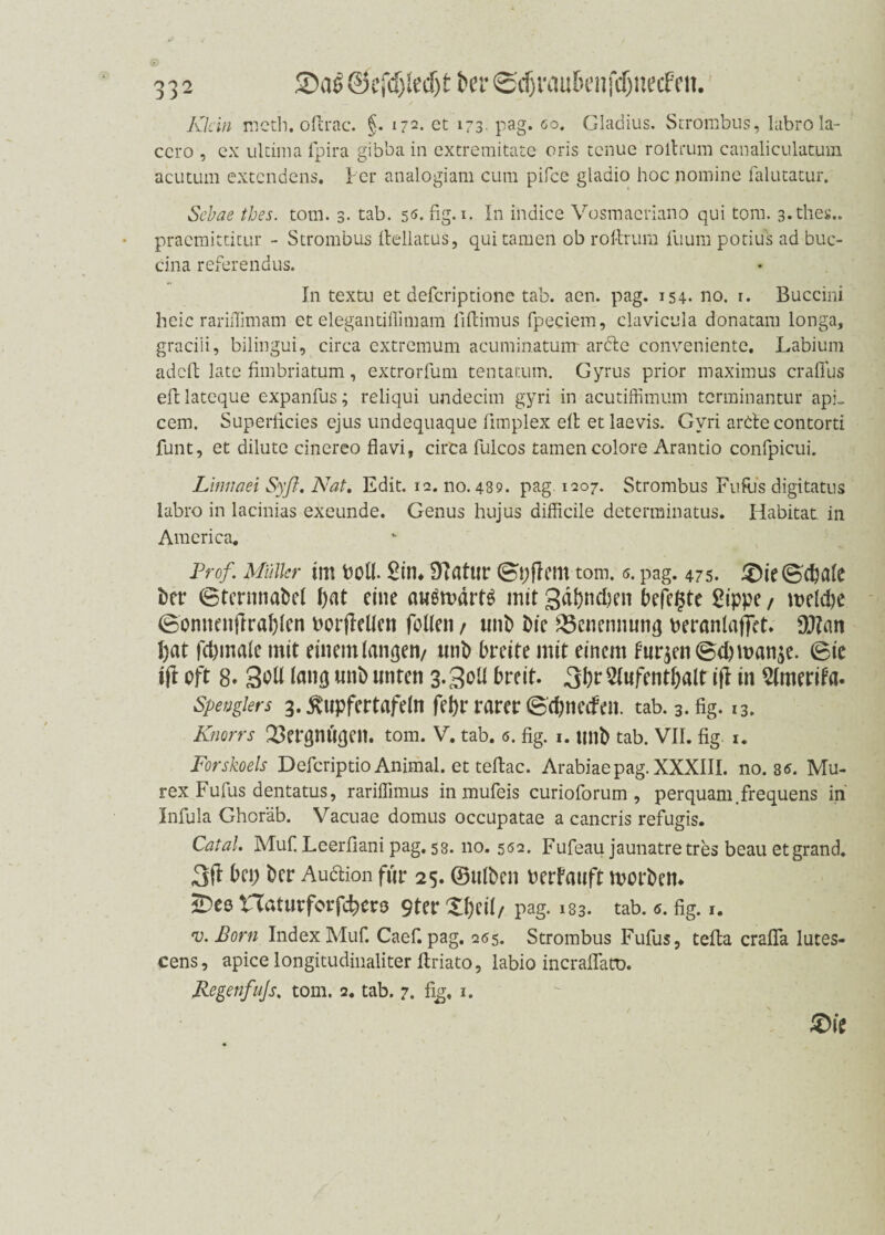 Klein rneth. oftrac. §. 172. ec 173. pag. 00. Gladius. Strombus, labrola- ccro , ex ultima fpira gibba in extremitacc oris tenue rollrum canaliculatum acutum extendens. Per analogiam cum pifee gladio hoc nomine falutatur. Sebae thes. tom. 3. tab. 55. fig. 1. In inclice Vosmaeriano qui tom. 3.thes.. praemitticur - Strombus itellatus, qui tarnen ob roltrum fuum potius ad buc- cina referendus. In textu et deferiptione tab. aen. pag. 154- no. r. Buccini heic rariffimam et elegantiffimam liftimus fpeciem, clavicula donatam longa, graciii, bilingui, circa extremum acuminatum arde conveniente. Labium adelt late fimbriatum, extrorfum tentatum. Gyrus prior maximus craflus efllateque expanfus; reliqui undecim gyri in acutiffimum terminantur api_ cem. Superficies ejus undequaque fimplex eit et laevis. Gyri ardecontorti funt, et dilute cincreo flavi, circa fulcos tarnen colore Arantio confpicui. Linnaei Syft. Nat. Edit. 12. no. 439. pag. 1207. Strombus Fufus digitatus labro in lacinias exeunde. Genus hujus difficile determinatus. Habitat in America. Prof. Müller im bolt. £in* 9?atur ©i;|lem tom. 0. pag. 475. X)ie©cpate Der ©ternnabet [>at eine auemärts mit 3dpncpen befehle Sippe / metepe ©omtenjlrapten borjfelten fotlen / unD Die Benennung berantaffet. 9J?an l)at fepmate mit einem taugen/ unD breite mit einem fitrjen ©cp man^e. ©ie ift oft 8. 3oU lang unb unten 3.301t breit. 3ftt2(nfentpatt ifl in Stmerifa. Spenglers 3. ft'upfertafetn fepr rarer ©epneefen. tab. 3.fig. 13. Knorrs Vergnügen, tom. V. tab. 6. fig. I. unb tab. VII. fig. I. Forskoels Defcriptio Animal, et teftac. Arabiae pag. XXXIII. no. 85. Mu- rex Fufus dentatus, rariflimus inmufeis curioforum , perquam.frequens in Infula Ghoräb. Vacuae domus occupatae a cancris refugis. Catal. Muf. Leerfiani pag. 58.110. 502. Fufeau jaunatre tres beau etgrand. Sft bei; Der Auclion für 25. ©ulDen berbauft worben* iDeo naturforfepero 9ter Xpeit/ pag. 183. tab. 6. fig. 1. v. Born Index Muf. Caef. pag. 265. Strombus Fufus, teffca crafla Iutes- cens, apice longitudinaliter ftriato, labio incraflato. Regenfujs. tom. 2. tab. 7. fig, 1. £>ie