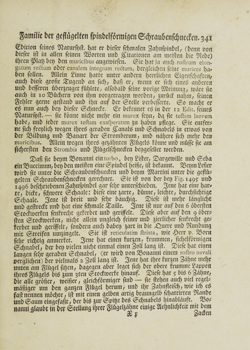 €bitiott feines ^ntittfnfr. r>at er biefer fdjmnlen 3af)iifpinbc!, fbenn sott tiefer iß in allen feinen Porten unb Stationen am meinen bie $tebe) ihren ^lalz bet) bett muricibus attgemiefen. (Sie hat ja and) roftrum eion- gatum redum ober canalem integrum redum, bcrgletcf>en feine murices l)a* bett feilen. Allein Sinne l)atte unter anbent herrlichen (Eigenfdjaften, and) biefe große Sltgenb an ftd), baß er, mettn er fiel) eines anberett unb beßeren überzeuget fühlete, alfobalb feine porige Meinung, wäre fte and) tn 10 Büchern oott il)m porgetragen tuorben, znrücf nahm, feinen gebier gerne geßanb unb il)tt auf ber ©teile perbefferte. (So macht er eS nun aud) bet) biefer (Schnede. (Er befemtet eSin ber 12 Edit. feines D?aturft)ß. — fte fomte nid)t ntebr ein murex feptt, ba fte teftam laevem habe, Unb jeber murex teftam exafperatam zu haben pflege, (Sie entfern ne ftd) frepüd) megen ihres gerabett Kanals unb (Schnabels in etmas oott ber SSilbuttg unb Bauart ber (Stromberum, unb nähere ftd) mehr bett muricibus. Mein tpegett ihres gezahnten glügelS lernte unb mitffe fte am ftd)erßen bett Strombis unb glügelfcf)ttedett bepgefellet merbett. SDaß fte bet)m $3üttatttti ein turbo, bet) Stßer, S>argemille unb (Seba ein33ucctnum, bet) ben meinen eine ©pinbel heiße, iß befanttt. $$et)m Seßer n>irb fte unter bie (Sd>raubettfd)uedett unb beprn Martini unter bie geflte gelten (Schraubenfcbneden gerechnet. (Sie iß Pütt ber bet) Fig. 1495 unb 1496 betriebenen Sahnfpinbel gar feßr ttnterfcf>teben. Sette hat eine har* te, biefe/ fehlere (Schaale: biefe eine zarte, büntte, leiste, burchftchtige (Schaale. Sette iß breit unb feßr battd)ig. 2>iefe iß mehr langlicht nnb geßredt unb hat eine fchmale Taille. Sene iß nur auf bett 6 oberßett (Stodtperfeu fenfred)t geferbet unb geriffelt. £)iefe aber auf ben 9 ober;? ßen (Stodtoerfen, nicht allein ungleich feiner uttb ^ierlicf>er fenfred)t ge^ ferbet unb geriffelt, fottbertt auch habet) zart in bie fitere uttb Mnbung mit (Streifen umzingelt. (Sie iß reticulatim ftriata, n>ie £err 0. $3>orn feßr richtig attmerfet. Sene hat einen furzen, frummett, ftchelformigett @d)ttabel, ber bet) Pielett ttid)t einmal einen Soll lang iß. Sftefe hat einen langen fehr gerabett Schnabel, Cer mirb oott ä$ottamti einem roftro navaii Derglicßett) ber vielmals 2 Soll lang iß. Seite hat ihre furzen 3äf)ne mehr rntten am glügelftlten, bagegen aber leget ftd) ber obere frumme Sappen ihres glügelS biS Z«m 3tett (Stocfmerfe hinauf. £>iefe hat 5 bis 6 Sahne, bie alle großer, meißer, gleichförmiger ftnb — fie ßel)ett aud) Piel regele mäßiger um ben ganzen glügel herum, unb ihr Sahnßetfch, tute td> eS faß nennen mochte, iß mit einen gelben artig braungelb fchatttrten Staube nnb (Saum eingefaßt, ber bis Zttr Spige beS (SdßtabelS htnablauft. <00^ nmmi gfoubt in bw (Stellung th^e Slögelzahne eitttge Mhnltclßett mtt bem