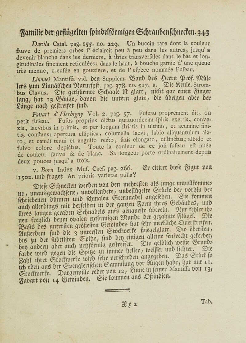 Samt'Iie bet aefttiaetten fpinbctfomtf^eti <S<^raubcnfcf;necfen. 34.3 Davila Catah pag. 155. no. 229. Un buccin rare dont la couleur fauve de premiers orbes f> eclaircit peu a peu dans les autres, jusqu’ a devenir blanche dans les derniers, a ftries transverfales dans le bas et lon¬ gitudinales finement reticulees; dans le haut, a bouche garnie d’ une queue tres menue, creufee en gouttiere, et de F efpece nommee Fufeau. Linnaei Mantifla vid. ben Supplem. 23attb beS ^CtTlt $tOf. WÜU lerS $um £tnndifc^en ^aturfpjf. pag. 378- no. 517. a. ®ie $eule. Strom¬ bus ciavus. ®ie getürmte @cf)aale i(l glatt, nicf)t gar einen Singer lang, l)at 13 ©ättge, bauon bk unter« glatt, bie übrigen aber ber £änge naef) geflreifet ftttb. Favart d’Herbigny Vol. 2. pag. 57. Fufeau proprement dit, ou petit fufeau. Fufus proprius di&us quatuordecim fpiris exertis, conve- xis, laevibus in primis, et per longum ftriatis in ultimis, et acumine fini- tis, conftans: apertura elliptica, columella laevi, labio aliquantulum aia- to, et canali tenui et angufto re£to, fatis elongato, dillincfus, albido et fulvo colore depidtus. Toute la couleur de ce joli tuf^au efi. nuee de couleur fauve & de blanc. Sa longeur porte ordinairement depuis deux pouces jusqu’ a ttois. v. Born Index Muf. Caef. pag. 266. Cf Cititet biefe gigtlf »Olt 1502. «nb fraget An prioris varietas pulla? <T)iefc ©dmeefen metben »01t bcn mei)rcfrcn afö junge imoodfommcs nC/ unanßget»ad)fetie, uiipolleubcte, uttbcjlfigdte CStiscIe icr »otl)tn bes fcbdcbcncn bfmncit u.'tb fd)makn ©teennabel «ttgefebm. @te fomm n midi allerbingß mit bevfdbcn in bei- ganzen gönn ifires feebmibco, u o ihreß langen gefaben ©cfmabeiß aufß genattefie ubetem. fehlet dv frenlicb bemtt oualen enfonnigett $ftuube ber ge$aj)iue Sn’tgcf. fBaftö be£ unterjfe« größeren 0eroinbe£ bat fel)r menlid)e^ruer|fi'c«en. 9iufierbem ftnb bie 3 ttnterjTe« (stoefvoerfe fpiegelglatt, obet fielt, fu ber fi btilfien3 @pifee, ftnb bet) einigen alleine fenfrec^t geferbet, f, StS SÄ s ss fs ss s.'saÄ?^ kb^befanßTfSgleeifdien (Sammlung »ot Singen (>abe, tot m« n. SfflX ©avSille f bet »ou 12, Sinne in feinet Mantifla »ou 13/