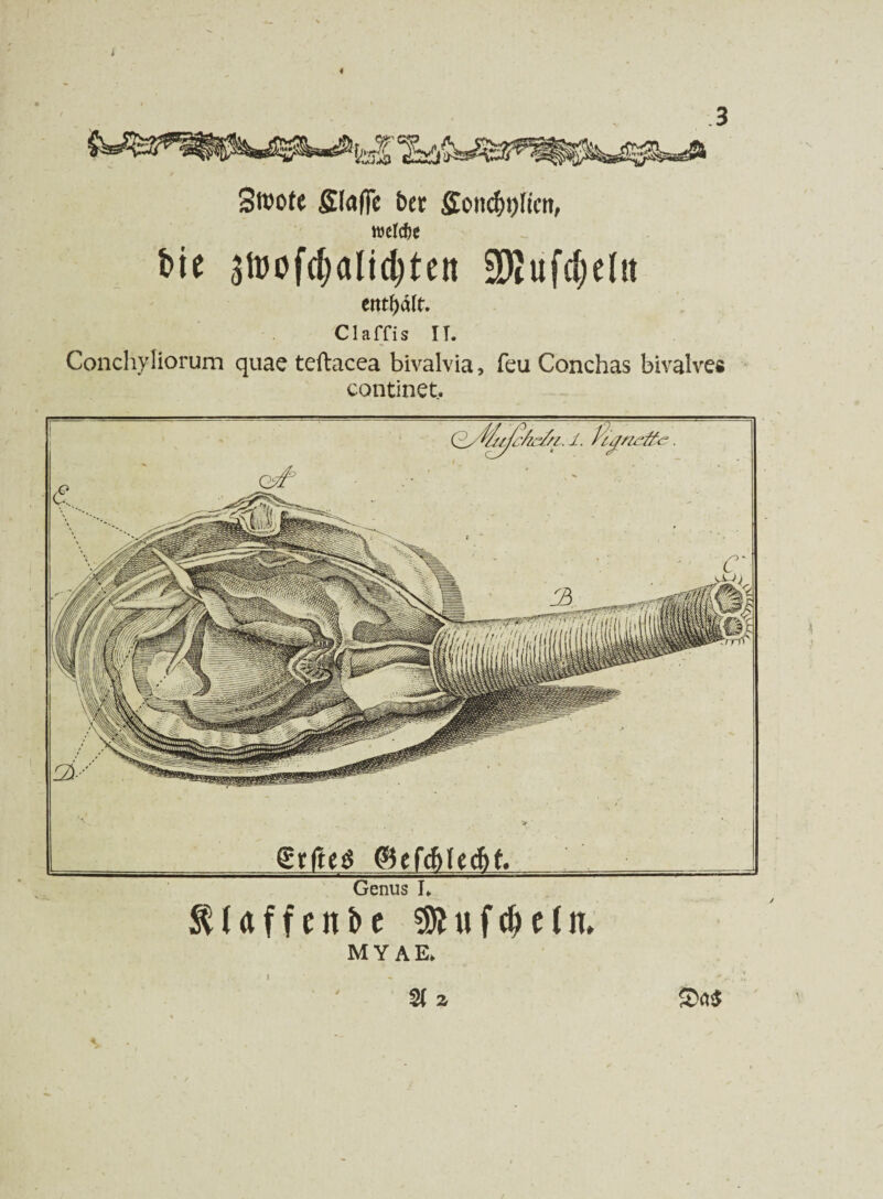 Stoofe Stoffe bec Soitcf)!)[iett, welche tnt 3U)ofct;altd)ten Sjjufdjelit enthält. Claffis II. Conchyliorum quae teftacea bivalvia, feu Conchas bivalves continet. gtfteä ©efeftteebf. Genus I. StUffcitfte 3JMtfd)eln» M Y AE* % z $Da$ i