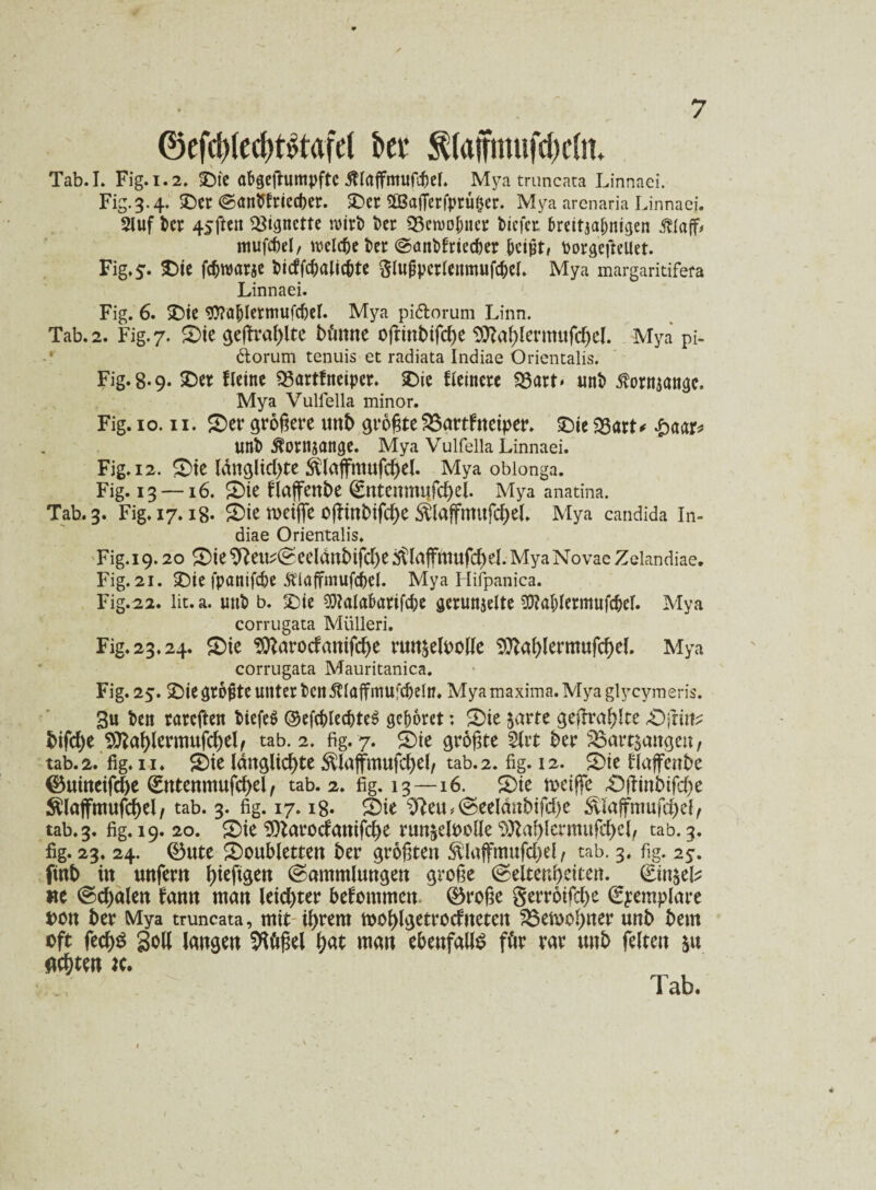 0efcl)(ect)t£tafet kt 5Uaffmufcf)c(n* Tab.I. Fig. 1.2. SDic afcgeftumpftc $laffntufd)el. Myatruncata Linnaei. Fig.3.4. £)er ©antffttecber. &er iffiafierfprüker. Mya arenaria Linnaei. 2luf ber 45ftcn Vignette n>trl) bet SSewolmer bicfet brcitaa^ntgen Älaff* mufcbel, ttelc&e feer (Sanbfrtecber beißt, Oorgeftellet. Fig, 5. SDie fcbtoarje btcffcbalic&te ftlußperlemnufc&el. Mya margaritifefa Linnaei. Fig. 6. Sie «0?a&lermufcbel. Mya pi&orum Linn. Tab. 2. Fig. 7. Sie ge(tral)lte bt'mne oftinbifcße 9ttaf)lermufd)el. Mya pi- ölorum tenuis et radiata Indiae Orientalis. Fig. 8.9. Set fleine 23artfneipcr. SDic fleincrc 33art» unt) ßorttjöngc. Mya Vulfella minor. Fig. 10.11. Ser größere unb größte SSartFneiper. Sie 23art* &<wr* unb ßornjange. Mya Vulfella Linnaei. Fig. 12. Sie ldnglid)te &laffmufd)el. Mya obionga. Fig. 13 —16. Sie rtaffenbe €ntemtU|fcf)el. Mya anatina. Tab. 3. Fig. 17.18* Sie Weiße 0|?inbifd)e ^laffntufcßel. Mya Candida In¬ diae Orientalis. Fig.i 9.20 Sie *ftettf(Seeldnbifd)e dtlaffmufcßel. Mya Novae Zelandiae. Fig. 21. Sie fpönifc&c Älaffniufc&el. Mya Hifpanica. Fig.22. lit.a. unb b. Sie 9!)?ala&ariftbe gerunzelte 95?al)lermufc&el. Mya corrugata Mülleri. Fig. 23.24. Sie 9ttarodanifd)e run&eloolle 9ttal)lermufd)el. Mya corrugata Mauritanica. Fig. 25. Sie größte unter ben $lüffmu[djeln. Mya maxima. Mya glycymeris. 3u ben rarcften tiefe$ Oefcf>Ied[)te^ gehöret: Sie zarte geftral)lce Sinn? bifd)e $ttal)lermufd)el( tab. 2. fig. 7. Sie größte 2lrt ber SBart^aitgen, tab.2. fig. ii. Sie langlid)te $laffmufd)el/ tab.2. fig. 12. Sie tlaffenbc ©uineifdfre €ntenmufd>el, tab.2. fig. 13—16. Sie tt>ciffc Sftinbifcße $lajfmufd)el, tab. 3. fig. 17.18« Sie Sfteu * (Seelanbifd)e &laffmufd)el, tab.3. fig. 19. 20. Sie ‘iSZarodattifdje run$eU>oüe Sttafylcrmufc&el, tab. 3. fig. 23. 24. ®ute Soubletten ber größten &laffmufd)el, tab. 3. fig. 25. ftnb in unfern f)ieftgen (Sammlungen große (Seltenbeiten. (Einzeln «e (Sdjalen fann man leid)ter bekommen. ®roße gerrötfd)e ^yemplare oon ber Mya truncata, mit il)rem wof)lgetrodneten 23ewol)ner unb bem oft fed)S Soll langen Sfiüßel bat man ebenfalls für rar unb feiten zu fluten tc. Tab.