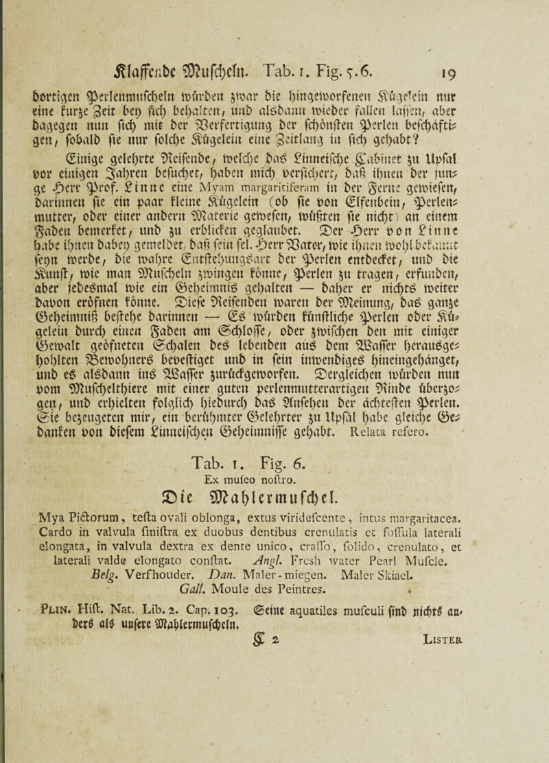dortigen Sperlenmufcbeln tm'trben £toar bie hinqetoorfenen Sfügekin nur eine htr$e geit bet; ficf) bel;alten, unt> alSbaun toieber fallen lafjen, aber bagegen nun ftd) mit ber ^Öerfertigttng ber fd)6ttffen perlen befd)dftk gen, fobalb fte nur fold>e Äögelein eine geitlang in ftd) gehabt? Einige gelehrte ^teifenbe, toeld;e baS £itmeifd;e .g^abinet $u Upfal oor einigen Sauren befuebet, haben mid) oerfteferr, baß ihnen ber jutt* ge *£>crr ^>rcf. Bittne eine Myam margaritiferam in ber gerne getoiefen, bar innen fte ein paar f leine Sfügelcin (ob fte oott Elfenbein, $>crlens mutter, ober einer anbent Materie getoefett, müßten fte nicht) an einem gaben bemerket, unb §u erblicfen geglattbet. 2)cr-perr pon £irttte habe ihnen habet; gemelbet, baf? fein fei. »£)err 33 ater, tote ihnen tool;l befannt fcpn toerbe, bie toa()re €ntfh;)ungSart ber perlen entbedet, unb bie $unff, toie man ^ufd>eln gingen Butte, perlen &tt tragen, erfttnbett, aber jebeStnal toie ein 0cheimttiS gehalten — bal;er er nichts toeiter baoon eröfnen Bnne. Snefe ^eifenben toaren ber Meinung, baS gat^e 0e(;eimnif beffehe barinnen — (£S toürben ftmffltd;e perlen ober geleitt bttrd) einen gaben am (schlöffe, ober jtoifchen bett mit einiger 0etoalt geofnetett (sd)alen beS lebenbett aus bem ^Baffer f>eravt6ge^ höhlten S6etool;nerS beoefHget unb tu fein itttoenbigeS htueingehdnget, unb eS alSbann ins ^Baffer jurödgetoorfett. 2>ergleid)en toörbett nun pom Sftttfchelthiere mit einer guten perlettmutterartigeu $Üttbe tiber^ gen, uttb erhielten folglid; f;ießurcf> baS 5(nfel)eu ber debtef-en perlen. 0ie bc^ettgetett mir, ein berühmter (Belehrter $tt Upfal habe gleiche 0e^ banfen Pott biefem Binneifd;eu 0el;eimuiffe gehabt. Reiata refero. Tab. t. Fig. 6. Ex mufeo noftro. ©te $9?a()Utmufd)eI. Mya Pi&orum, tefta ovali oblonga, extus viridefeente, intus margaritacea. Cardo in valvula fmiltra ex duobus dentibus crenulatis et foflula laterali elongata, in valvula dextra ex dente unico, crafio, folido, crenulato, et laterali valde elongato conflat. Angl. Fresh water Pearl Mufcle. Belg. Verfhouder. Dan. Maler-miegen. Maler Skiael. Gail. Moule des Peintres. Plin. Hill. Nat. Lib. 2. Cap. 103. (Seine aquatiles muiculi ftnb Jitd)t$ an* Urt al$ unfere $tal)lermufc&cltt* S* Lister
