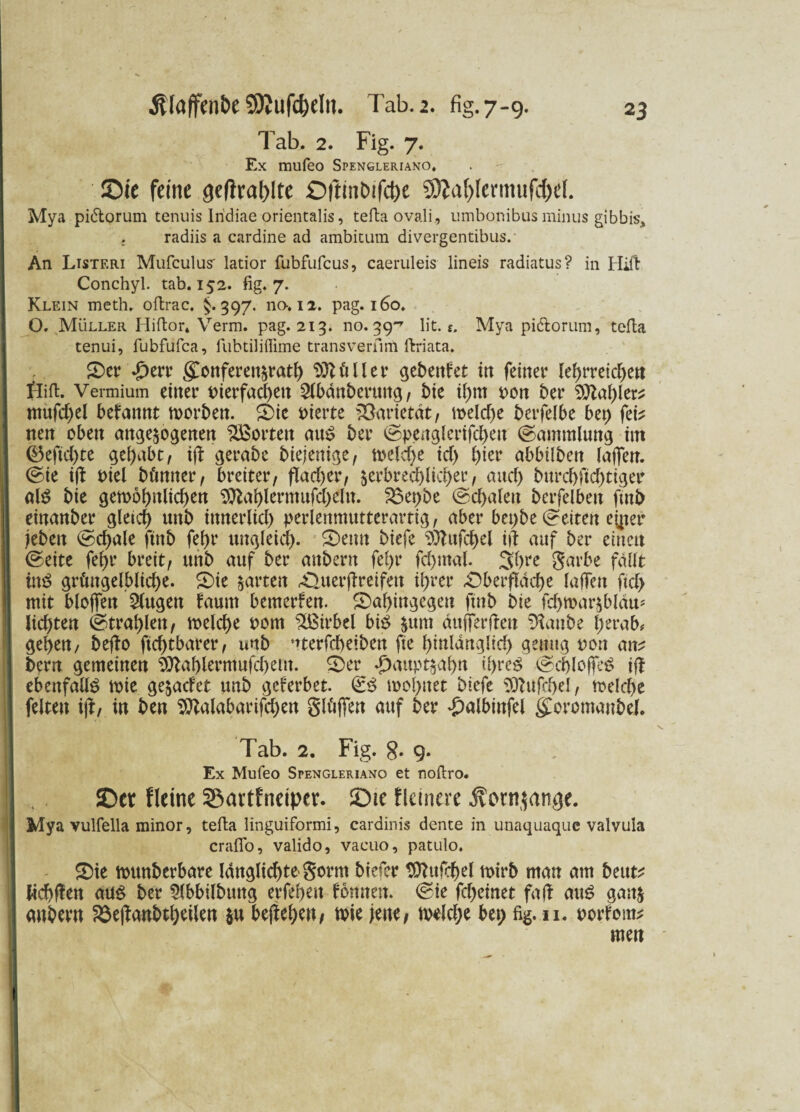 Tab. 2. Fig. 7. Ex mufeo Spengleriano, ©ie feine gefirnißte ©ftinDifctye 53ia(ßermufd)d. Mya pidorum tenuis Iridiae orientalis, tefla ovali., umbonibus minus gibbis, . radiis a cardine ad ambicum divergentibus. An Listf.ri Mufculus' latior fubfufcus, caeruleis lineis radiatus? in Hift Conchyl. tab. 152. fig. 7. Klein meth. offcrac. §.397. no-. 12. pag. 160. O, Müller Iliflor» Verm. pag. 213. 110.39'’ lit-,Mya pidorum, tefla tenui, fubfufca, fubtiliflime transverfinü ftriata. Ser -£)err gonferenzrath Böller gebettiet itt feiner lehrreichen fiifl. Vermium einer vierfachen Slbänbcruttg, bie ihm von ber Zahlers mufchel begannt tvorben. Sic vierte Varietät, welche berfelbe bei) fei* nen oben ungezogenen ^Borten aus ber (spenglcrifcbett (Sammlung im 0efid)te gehabt/ ijt gerabc btejemge, weiche ich W* abbüben laffen. (sie ijf viel bftmter, breiter/ flachet4/ zerbrechlicher / and) burchftchtiger al$ bie gewöhnlichen Sttahlermufchdtt. 23et;be (schalen bcrfelbeit fmb cinanber gleich unb innerlich perlenmutterartig, aber bei;be (seiten ejper jebeit Schale fittb febr ungleich- Seim biefe Mufchel itf auf ber einen ©eite fehr breit, unb auf ber anbern fel>r fchmal. 3hre garbe fällt ins grfntgelbliche. Sie zarten -Ouerffretfett ihrer -Oberfläche laffeit fiel) mit blojfen klugen faurn bemerken. Sahingegeit finb bie fchwarzbläu* lichten (Strahlen, welche vom Wirbel bis zum äufferjleu Staube herab# gehen, beflo ftd)t barer, unb merfebeibeu fie hinlänglich genug von au* bern gemeinen Sttahlermufchem. Ser ^auptzahn ihres (schlojfeS ift ebenfalls wie gezaefet unb geferbet. & wohnet biefe Mufchel, welche feiten i)t, in beit SMabarifchen glöffen auf ber £albtttfel <£oromanbef. Tab. 2. Fig. §. 9. Ex Mufeo Spengleriano et noflro. ©er Heine Sßartfneiper. ©ic Heinere .f orn^nnge. Mya vulfella minor, tefla linguiformi, cardinis dente in unaquaque valvula crafio, valido, vacuo, patulo. Sie wunberbare länglichte gorm biefer Mufchel wirb man am beut* lichften aus ber 5(bbilbung erfeheit fonneit. ©ie fcl>einet faft aus ganz anbern 23e|fanbtheilen zu begehen, wie jene, welche bet; fig. u. vorforn* men