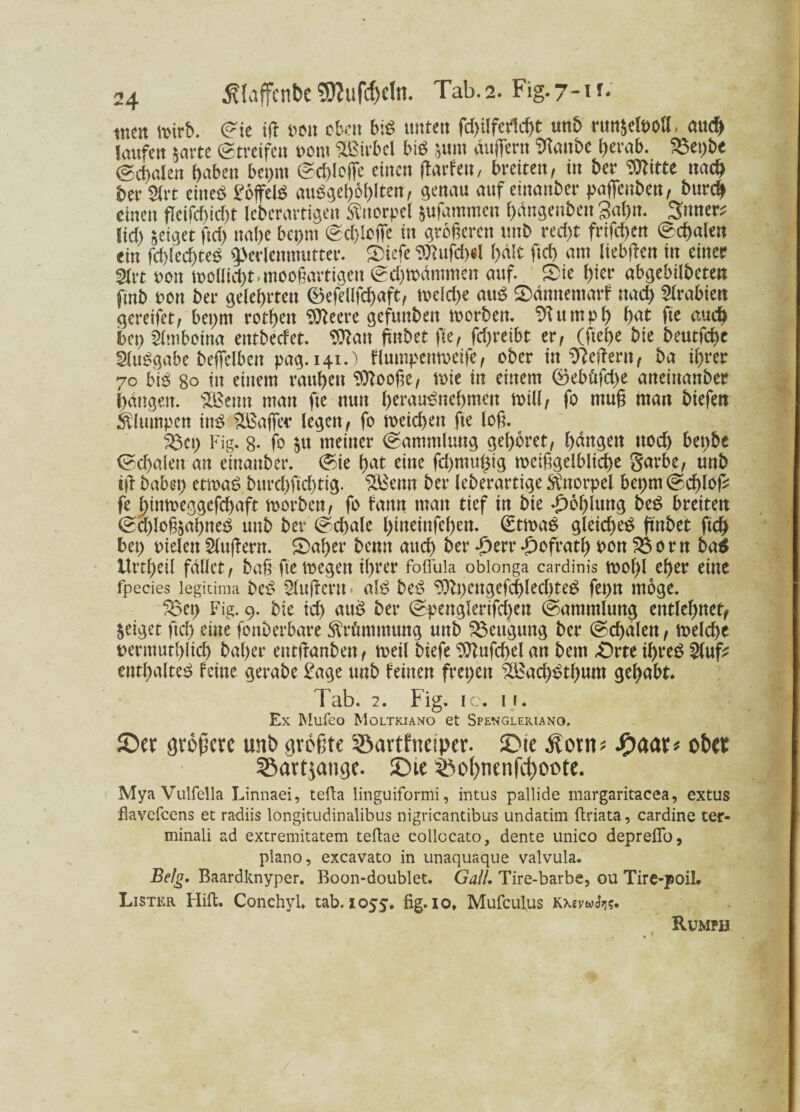 inen n>irt>. ©ie tft neu eben bis unten fd>Uferlc^t unb ruttjelt>oH, cutd^ laufen $arte ©treifett Pont Sßirbcl big &um äußern SRanbe fytvab. 33ei)bt ©coolen haben bepm ©dßoße einen ßarfen, breiten, m ber Witte nach ber SCrt eineg £offelg auggeßohlten, genau auf einanber paßenbett, burch einen fleifcßid)t leberarttgen Knorpel jufammert hdngenben 3ahn. 3nner^ lid) jeiget ftd) nahe bepm ©dßofie in größeren unb recht frifchen Schalen ein fd)led)teg ^erlcnmutter. ®tcfe Wufd)«l halt ftch am liebßen in einer t non mollichMttooßartigen ©chmdmmen auf. Sie f)ter abgebilbetett finb non ber gelehrten <Befeflfch«ft, tneld)e attg £>dmtemarf nach Arabien gereifet, beprn rothett *Weere gefunben tnorben. Sftttmph hat fie auch bet) 2fmbotna entbeefet. Wan ßnbet füe, fd)reibt er, (fiel>e bie beutfehe Sluggabe beffelben pag.141.) flumpemoeife, ober in Keilern, ba ihrer 70 biß 80 in einem rauhen Sftooße, toie in einem ©ebüfdje aneinanber hangen. Beim man fie nun httaugncbmeit mill, fo muß man biefert klumpen ing $Bafie* legen, fo roeid)en fie loß. $3et) Fig. 8- fo $u meiner ©ammltmg gehöret, hangen ttod) bepbe <Sd>alcn an einauber. ©ie hat eine fd)muhtg weißgelblicße garbe, unb iß habet) etmag burd)ßd)tig. £Benn ber leberartige Knorpel bepm ©chlofc fe htntueggefchaft tnorben, fo bann man tief in bie Kohlung biß breiten ©d)loß$ahneg unb ber Schale l)ineinfef)en. (£ttt>ag gleichet jtnbet ftch bep fielen Slttßern. £)aßer benn auch ber £err£ofratl) non 350rn ba$ Urtheil fallet, baß fie tnegeit ihrer fotfula oblonga cardinis tnoßl eher eine Fpecies legitima biß Slußent * alg biß $lt)engefd)led)teg fepn möge. S3ep Fig. 9. bie id) attg ber ©penglerifchett ©ammluug entlehnet, geiget ftch eine fonberbare Krümmung unb föeugung ber ©d)alen, tnelche nermuthlich baßer entßanben, tneil biefe Wufd>el an bem Orte tßreg 2lufc enthaltet feine gerabe £age unb feinen frepeu ^Bach^tßum gehabt* Tab. 2. Fig. ic. 11. Ex Mufeo Moltkiano et Spengleriano. ©er größere unb größte Sartfneiper. ©ie jlotn* JP>aar# ober SBartjangc. ©ie $ßof)mnfcf)oote. Mya Vulfella Linnaei, tefta linguiformi, intus pallide margaritacea, extus flavefeens et radiis longitudinalibus nigricantibus undatim ftriata, cardine ter- minali ad extremitatem teftae collocato, dente unico depreflo, piano, excavato in unaquaque valvula. Belg. Baardknyper. Boon-doublet. Gail. Tire-barbe, ou Tire-poil. Lister Hift. Conchyl. tab. 1055. fig.io* Mufculus Kxevw^?. Rumph