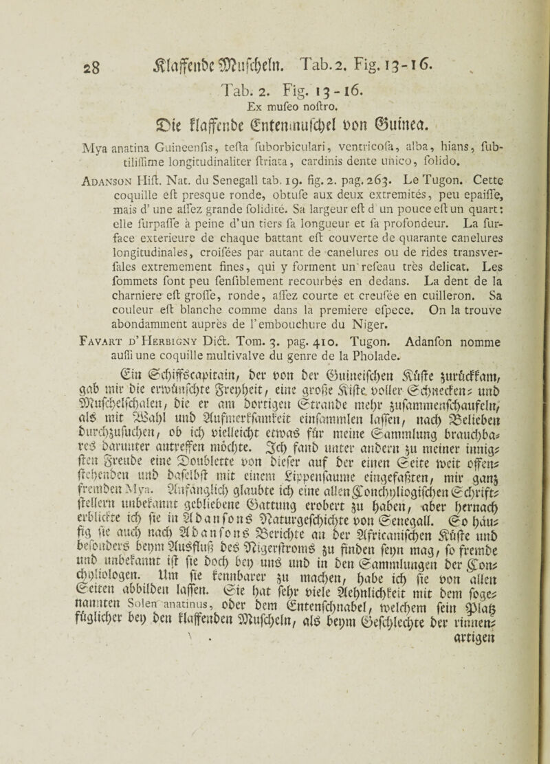 Tab. 2. Fig. 13-16. Ex mufeo noftro. S>ie flöjfcnbe Sntmmufc&el Don ©utttea. Mya anatina Guineenfis, tefta fuborbiculari, ventricofa, alba, hians, fub- tiliffime longicudinaliter ftriata, cardinis dente uhico, folido. Adanson Hiu. Nat. du Senegall tab. 19. fig. 2. pag. 265. Le Tugon. Cette coquille efb presque ronde, obtufe aux deux extremites, peu epaifle, mais d’ une aifez grande folidice. Sa largeur elf d un pouceeftun quart: eile furpafle ä peine d’un tiers fa longueur ec fa profondeur. La fur- face exterieure de chaque battant eil couverte de quarante canelures longitudinales, croifees par autant de canelures ou de rides transver- fales extremement fines, qui y form ent un'refeau tres delicat. Les fommets font peu fenfiblement recourbes en dedans. La dent de la charniere elf grolle, ronde, afifez courte et creufee en cuilleron. Sa couleur elf blanche comme dans la premiere efpece. On la trouve abondamment aupres de l’embouchure du Niger. Favart d’Herbigny Di6t. Tom. 3. pag. 410. Tugon. Adanfon nomme aufii une coquille multivalve du genre de la Pholade. (Ein <Sd)ijf£capitain, bet* von bet* ©uineifc&ett $ftße $m*Mfam, gab mit* bie ertonfd)te grepßeit, eine große $i(te ooller <Sd)ttecfett? tmb 93htfd>elfd)alen, bie et* am bortigeu (Straube meßt* §ufammenfd)aufeln, al$ mit unb Sfufmerffamfeit cinfammlen laßen, ttad) belieben burd)^ufud)en, ob id) melleicßt etnto für meine (Sammlung brauc&ba* reS barunter autreffett mochte. 3d) faitb unter anbern 51t meiner innig? eflern unbetont gebliebene ©attuttg erobert $u ßaben, aber ßernacft erbUcfte id) fie in Sf&anfouS ^aturgefd&ic&te von (Senegall. (So bau? fig ße auch nad) SfbanfonS $5erid)te au bet* Slfricanifdjen unb beionbere bepm 5teflttß bc$ «ftigerftrom* *u ftnben fepn mag, fofrembe uni unoetont iß pe bod) bep utt$ unb in bett (Sammlungen ber ßfon? toftologen. Um fte fennbarer $u machen, ßabe id) fte oon allen (Setten abbilbm laßen. (Sie ßat fef>r oiele 5lel)nlid)feit mit bem foge? nannten Soienranatmus, ober bem €ntenfcßnabel, toeld)em fein 0)laß fugltcßer bep ben flajfenben ^ftufcßeln, all? bepnt 0efd)lecßte bet* rinnen? N • artigen