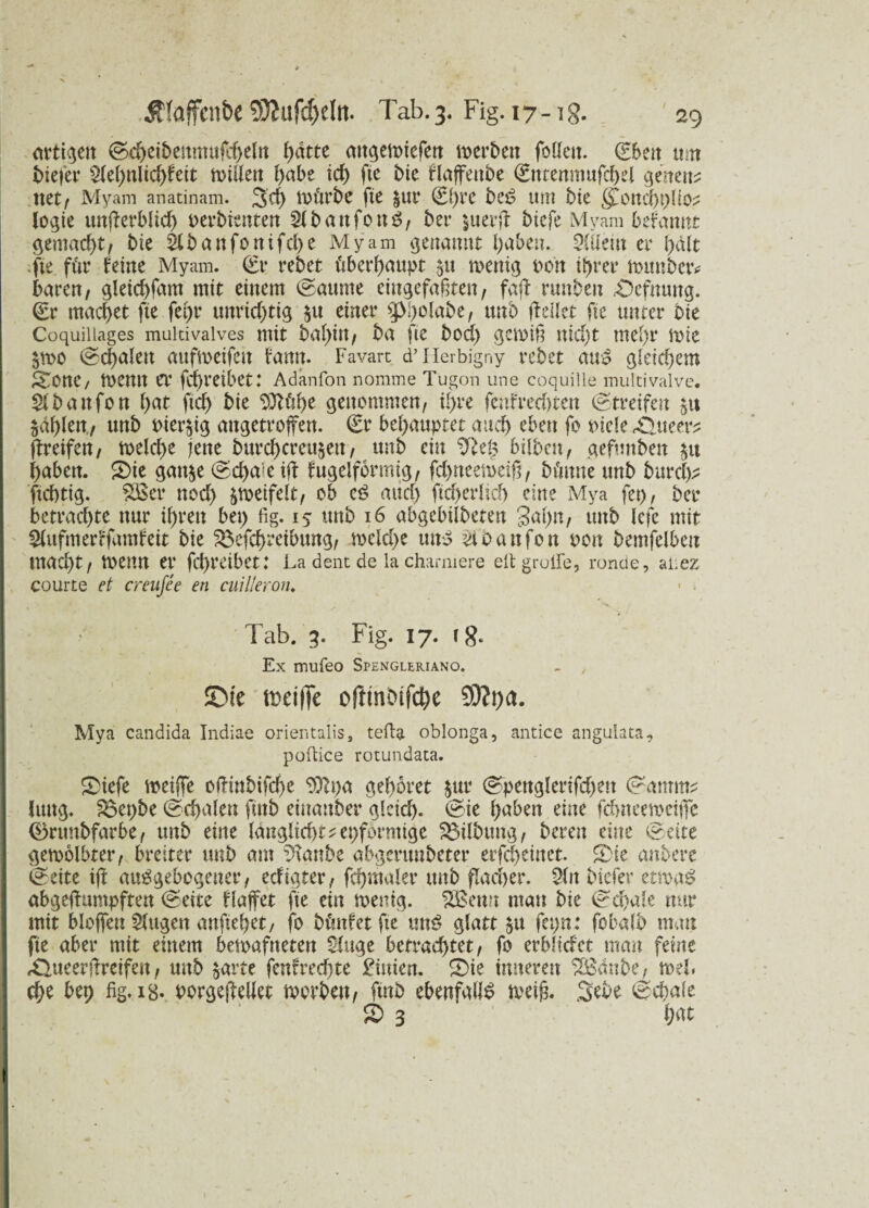 artigen Scheibenmufcheln l)dtte attgemiefen »erben folleu. (Eben um biefer 2lel)nlid)ftit willen habe id) fte bte flaffeube Sutenmufchel gelten* net/ Myam anatinam. 3d) Würbe fte $Ut* 0)re be£ um bie §Wttd)plio* legte unfferbüd) oerbienten 2lbattfon6, bet* $uerff biefe Myam begannt gemacht, bie 2lbanfonifd)e Myam genannt haben. Mein er bdlt fte für feine Myam. €1* rebet überhaupt 51t wenig oon ihrer mttnbetv baren/ gleichfam mit einem Saume eingefaßten; fafb runbeit Sefnung. (Er machet fte fegr unrichtig $tt einer Sßholabe, unb ff eilet fte unter bie Coquiliages multivalves mit baf)itt/ ba fte bod) gewiß nid)t mehr wie $wo (Schalen attfweifett bann. Favarc d’Herbigny rebet au£ gleichem Xonc, Wenn er fchreibet: Adanfon nomme Tugon une coquille multivalve. 2lbattfon hat ftch bie Sttühe genommen, ihre fenfred)ten (Streifen 51t fahlen./ unb Pier^ig angetroffen. Sr behauptet auch eben fo oicle Xlueer* ffreifen, welche jene burchemgett, unb ein bilben, gefmtbett $u haben. 2>ie gatge Sd)a-e iff fugeiformig, fd>neeweiß, büttue unb burd)* ftchtig. Sßer nod) zweifelt, ob eö aud) ftd)erlid) ein? Mya fet), ber betrad)te nur ihren bet) fig. 15 ttnb 16 abgebilbeten 3al)n, unb lefe mit ^itfmer’cfamfeit bie 33efd)reibung, wcld)e unb 2ioanfon t>on bentfelbett macht, wenn er fchreibet: La deiit de la chamiere eitgruife, ronue, auez courte et creujee en cuilleron. 1 . Tab. 3. Fig. 17. tg. Ex mufeo Spengleriano. - , ©ft tueiffe oftinOifctye Mya candida Indiae orientalis, tefta oblonga, antice angulata, poflice rotundata. S)iefe weiffe offinbifd)e 9ttpa gehöret $ur (Spenglerifd)en Samm* litttg. £3epbe (Schalen ftnb einanber gleich. (Sie haben eine febneewäffe (Bruubfarbe, unb eine länglid)t*epformige Gilbung, bereit eine Seite gewölbter, breiter unb am üHanbe abgerunbeter erfcheinet. S>ie anbere Seite iff atWgebogener, edigter, fchmaler unb flacher. 21 it biefer etma£ abgeffumpften Seite flafet he ein wenig. 2Betm man bie Schale nur mit Hoffen 2(ugen anftehet, fo bünfet fte mW glatt £tt fepn: fobalb man fte aber mit einem bemafneten 21uge betrachtet, fo erbltcfct man feine £>ueerffreifen, unb $arte fenfrecfjte Linien. SMe inneren $8dnbe, web d)e bep fig.is- oorgeffellet worben, ftnb ebenfalls weiß. 3ebe Schale 3 W \