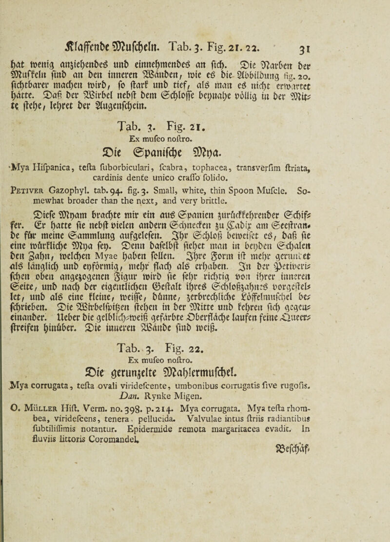 hat mettig anziehenbeS uttb einnehmenbeS an ft cf). Sie Parkett bet* Muffeln ftnb an bett inneren SBänben, mie eö bie Slbbilbttng fig. 20. ftchtbarer machen mtrb, fo jlarf uttb ttef, al$ man eg nicht ermattet hatte. Saft ber Wirbel nebfl bem (Schlöffe bü)nai)t rollig in ber 9ttt# te liehe, lehret ber Slugenfchein. Tab. 3. Fig. 21. Ex mufeo noftro. SMe @panifd)e SDtya. *Mya Hifpanica, tefta fuborbiculari, fcabra, tophaeea, transvörfim ftriata, cardinis dente unico craffo folido. Petiver Gazopbyl. tab.94. fig. 3. Small, white, thin Spoon Mufcle. So- mewhat broader than the next, and very brittle. Siefe $ibam brachte mir ein mt£ (Spanien zurftcffehrenber (Schiff fer. (£r f>atte fte nebfl fielen anbern (Schnecfen zu gCabiy am (Seejlratt# be för meine (Sammlung aufgelefen. 3h1’ @chlo@ bemeifet cg, bah fte eine mögliche 9Ät;a fet). Semt bafelbjl fielet man in bet>ben (Schalen ben gahtt/ melchen Myae haben feilen. 3hre Sorm ifi me(>r gertmiet alg länglich unb epfbrmtg, mehr flach als erhaben. 3n ber ^etirerb fd)ett eben angelegenen Stgur mirb fte fet>r rtdftig ron ihrer inneren (Seite, unb nach ber eigentlichen ©eltalt ihreg (Schleg&ahneS rorgeflel* let, unb alg eine flehte, meiffe, bänne, zerbrechliche £effelmufd)el ba fchrteben. Sie ^Btrbelfpt|en ltel)en in ber Glitte unb fehren ftd) gegen* eittanber. lieber bie gelblidj*tt>ei§ gefärbte Oberfläche laufen feine Slueer* greifen hinüber. Sie inneren SÖSäube fmb meig. ' Tab..3. Fig. 22. Ex mufeo noftro« JDie gerunzelte 93ial)!crmufd)d. JVTya corrugata, tefta ovali viridefcente, umbonibus corrugatis five rugofis. Dan. Rynke Migen. O. Müller Hift. Verm. 110.398. p. 214. Mya corrugata. Mya tefta rhom- bea, viridefcens, tenera, pellucida. Valvulae intus ftriis radiantibus fubtiliffimis notantur. Epidermide remota margaritacea evadit. In fluviis littoris Coromandel. 23efdjäf