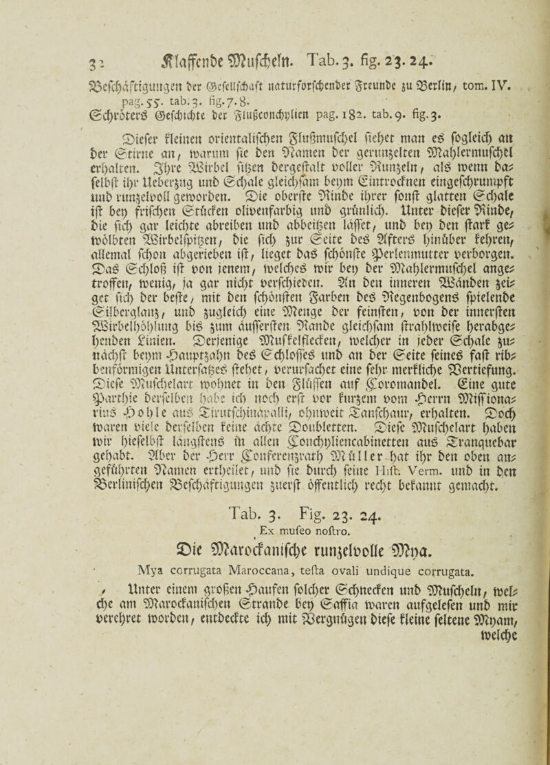 jfkffcnöe SJtufdjcftt. Tab.3. fig. 23.24.. Vefd)dftigtmgen ber ©cfellfc&aft naturforfc&enber greunbc zu Berlin, tom. IV. pag.53. tab.3. fig.7.8» ©d)r6ter$ ©cfdjtcfitc i>er giugcoitdnffictt pag. 182. tab.9. fig. 3. ©iefer fleinen ortentalifcf>eit Slußmufd)el fielet man e£ fogleid) att ber ©tirne au, warum fte ben tarnen bet* gerunzelten 5Jlal)lermufd)C( erhalten. 5t)re Wirbel filmen bergcffalt voller Runzeln, ab$ meint btv felbff ü)r Ueberzttg unb ©d)ale gleichem bepm ©introefnen eingefd)rumpft itnb runzelooH geworben. 5)ie oberffc $\inbc tl>rer fbnff glatten ©d)ale iff bet) frifd)ett ©tfccFen olioenfarbig unb grünlich- Unter biefer 2vinbe, bie ftd) gar letcfjte abreiben unb abbei^en lafTet, unb bet) ben ffarF ge? wölbten $Birbeifrigen, bie ftd) zur ©eite be£ SlfterS hinüber fehrett, allemal fchon abgerieben tff, lieget ba$ fd)6nffe $3erlenmutter verborgen. £Da£ ©d)loß iff twtt jenem, n>elcf>eö mir bet) ber 9tt«hlermufchel ange? troffen, wenig, ja gar nicht t>erfd)ieten. 2ltt ben inneren 2£dttben ^ get ftd) ber beffe, mit ben fchonffett garben bcö t)fegenbogen£ fpielenbe ©überglänz, unb zmgletd) eine Stetige ber feinffen, von ber imterffett 2Birbelhof)lung bi£ zmtt dufferffen Staube gleid)fam frralfimeife t>erabge^ l)enben Linien, derjenige SttuffelflecFen, meiner in jeber ©d)ale zu? ndchff bet)m ^>auptzal)n be$ ©cf)loffe$ unb an ber ©eite feinet faff rib? benformigen ltnterfa£eS frebet, perurfacf)et eine fel)t merFltche Vertiefung. SMefe ^ittfd)elart mohner in ben glüffen auf CCoromanbel. ©ine gute ^artbie berfelben habe td> ttod) erft rer Furzent 00nt £errn 93iiffiona? vixpS ff) 01) l e aus? &irutfd)indpalli, ol)uweit Sanfchaur, erbalten. cd) waren viele berfelben Feine dd)te Stoubletten. £)iefe $ftufd)elart haben mir l)iefelbft Idttgffenö fit allen gTonchpliencabmetten aus Slranquebar gehabt. 9(ber ber ff)err gwnferenzrath Böller 4)at if>r ben oben an? geführten tarnen ertbcüet, unb fte bttrd) feine Hifh Verm. unb in ben 8$erlinifd)ett Vefchaftigtmgen ztterff öffentlich recht befannt gemacht. Tab. 3. Fig. 23. 24. Ex mufeo noftro. » ©ic 9??arocfiinifcl)e runjefoollc 9)?»a. Mya corrugata Maroccana, tefta ovali undique corrugata. / Unter einem großen Raufen fold)er ©d)necFcn unb $ftufd)eln, wcl? d)e am ^arodanifdten ©tranbe bei) ©affia maren aufgelefen unb mir verehret worben, etttbecFte id) mit Vergnügen biefe Fleine feltene Sttpatn, welche