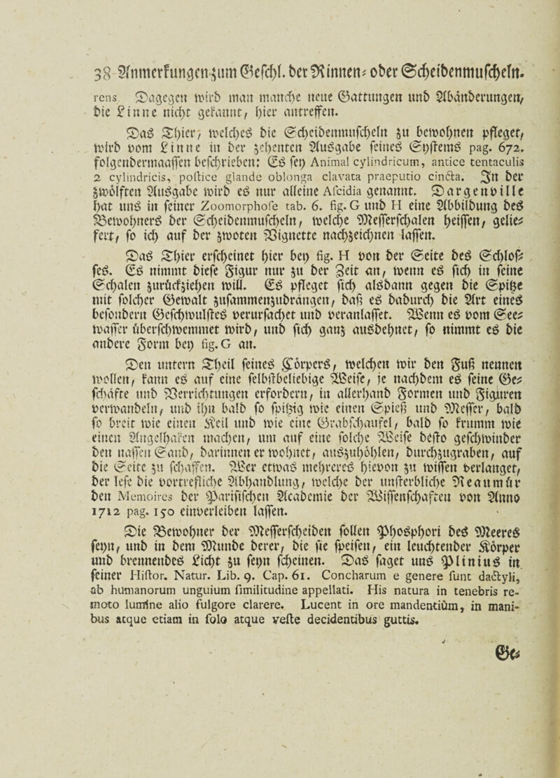 rcns ^Dagegen mirb man manche neue ©attmtgen unb Slbdnberungert, bie £inne nid)t gefaitnt, ()ier antreffen. £)aS £i)ier; meld)eg bte (Scbetbennutfd)cln $it J>cmof)nen pfleget, mirb Pom £ t tt n e in bet* $cbentcn Ausgabe feinet (St)ffem$ pag. 672. folgCttbermaaßett betrieben: & fei) Animal cylindricum, antice tentaculis 2 cylindricis, pofiice glande oblonga clavata praeputio cindta. 3^ ber §tt>o(fteit Ausgabe mirb e$ nur alleine Afcidia genannt MargenPille l)at unö in feinet* Zoomorphofe tab. 6. fig. G tmb H eine $lbbilbung be$ 33emobnerS ber (Sd)eibenmufd)clrt, melcbe ^e(ferfd>alen f>eiffen, gelier feit, fo kl) auf bet* $motcn Vignette nacb$eid)nen laßen. £>ag Sf>ier erfd)einet f>ter bep fig. H pon ber (Seite beS (Sd)lop feS. Qzö nimmt bkfe gigur nur $tt ber Seit an, mettn c$ ftcf> in feine (Sd)alen ^uröcfjieben miü. ©£ pfleget ftd) atöbamt gegen bie (Spiße mit folcber ©emalt §ufammen§ttbrdngen, baß es baburd) bie 2(t*t eines befoubern ©efcbmulßeS rerurfad>et unb peranlaßet. SBemt es Pom (See^ maßet* äberfebmemmet mirb, unb ftd) gan$ auSbebnet, fo nimmt eS bie anberc gönn bei) fig.G an. S)en untern &l)eil feinet gmrpcrS, melden mir ben guß nennen mollert, famt eS auf eine felbjlbeliebige Hßeife, je ttad)bem eS feine ©e^ fdtdfte unb Zerrüttungen erforbern, in alJerl)anb gönnen unb gtgitrett permanbelu, unb il)u halb fo fpifsig mie einen (Spieß unb Keffer, halb fo breit mie einen $eil unb mie eine ©t*abfd)aufel, halb fo frumnt mie einen Slngelf)aren mad)en, um auf eilte fold)e SOBeife beffo gefd)mittber ben näßen (Saub, barinnen er mol)net, au^ul)6l)len, bttrcbäitgraben, auf bie «Seite $u fd)afen. SBcr etmaS mel)rcreS b^pon jtt mißen verlanget, ber lefe bie portrefliebe Slbbattblung, meld)e ber unterbliebe ^leaumtVr bett Memoires ber $pariftfd)cn 2lcabemie ber 2Bißenfd>afteu pon 3(nuo 1712 pag. 150 einperleiben laßen. S)ie SSemobner ber ^eßerfdjetben follen g3f>o^pf>ori beS 9)leereS fet)u, unb in bem SDlunbe berer, bie fte fpeifett, ein leuebtenber Körper unb brennenbeS £icbt feptt febeinen. £)aS faget um? spitntttS tn feinet’ Hiftor. Natur. Lib. 9. Cap. 61. Concharum e genere funt dadtyli, ab humanorum unguium fimilitudine appellati. His natura in tenebris re- moto luirrine alio fulgore clarere. Lucent in ore mandentiüm, in mani- bus acque etiam in folo atque veile decidentibus guttis.