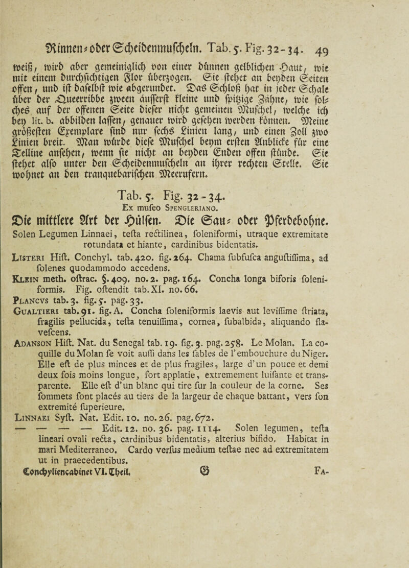 meiß, tt>tr£> aber gemeiniglich von einer können $c{bltd>en £a\xt? n>ie mit einem burcf>ftcf>ti^ert S^r überzogen. ©ie f^el>et an beiden Seiten ofen , ttnb ifl bafelbfl mie abgermtbet. £>a£ ©ebloß bat in jeber ©cl)ale über ber ^neerribbe jmeen äufferjl fleitte unb fpigige Jabtte, mie fob cbe$ anf ber offenen ©eite biefer nicht gemeinen 9ftufcf>el, melcbe td) btt) lit. b. abbilbett laffen, genauer mirb gefehlt merben formen. Steine grofiejleu ©pemplare ftnb nur fed>6 £iniett lang, unb einen Soll $mo diniert breit. $ftatt mürbe biefe <3CRufd>el bepm erflen Slnblicfe für eine Selline anfeben, mettn fte nicht au bet)beu (£rtben offen (lünbe. ©ie (lebet alfo unter beit ©cbeibenmufcbeln au ihrer rechten ©teile, ©ie tpobnet au beit tranquebarifeben Stteerufern. Tab. 5. Fig. 32-34. Ex mufeo Spengleriano. ©ie mittlere Sfrt ber hülfen, ©ie @au* ober $>ferbcbof)ne. Solen Legumen Linnaei, tefta re&ilinea, foleniformi, utraque extremitate rotundata ethiante, cardinibus bidentatis. Listeri Hill. Conchyl. tab. 420. fig. 264. Chama fubfufca anguftiffima, ad folenes quodammodo accedens. Klein meth. oftrac. §.409. no. 2. pag. 164. Concha longa biforis foleni- formis. Fig. oftendit tab. XI. no. 66. Plancvs tab. 3. fig.y. pag. 33. Gualtieri tab. 91. fig.A. Concha foleniformis laevis aut leviffime ftriata, fragilis pellucida, tefta tenuifiima, cornea, fubalbida, aliquando fla- vefeens. Adanson Hift. Nat. du Senegal tab. 19. fig. 3. pag. 25:8. Le Molan. La co- quille du Molan fe voit aufli dans les fables de l’embouchure du Niger. Elle eft de plus minces et de plus fragiles, large d’un pouce et demi deux fois moins longue, fort applatie, extremement luifante et trans¬ parente. Eile eft d’un blanc qui tire für la couleur de la corne. Ses fommets font places au tiers de la largeur de chaque battant, vers fon extremite fuperieure, Linnaei Sylt. Nat. Edit.io. no.26. pag.672. ■— — — — Edit. 12. no. 36. pag. 1114. Solen legumen, tefta lineari ovali redta, cardinibus bidentatis, alterius bifido, Habitat in mari Mediterraneo. Cardo verfus medium teftae nec ad extremitatem ut in praecedentibus. ConcfcyttencabümVI.Cb«f« © Fa-