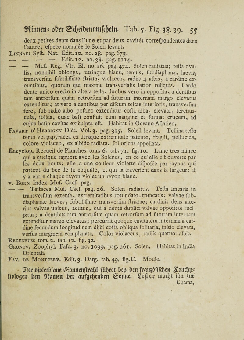 t Stiiweti* ober ©djei&emmifc&eln. Tab. 5. Fig. 3g. 39. 55 deux petites dents dans l’une et par deux cavites correfpondentes dans l’autre, efpece nommee le Soleil levant. Linnaei Syft. Nat. Edit. 10. no. 28. pag. 673. -— — — — Edit. 12. no. 38* pag. 1114. — — Muf. Reg. Vir. El. no.16. pag. 474. Solen radiatus; tefta ova- lis, nonnihil oblonga, utrinque hians, tenuis, fubdiaphana, laevis, transverfim fubtililfime ftriata, violacea, radiis 4 albis, a eardine ex- euntibus, quorum qui maxime transverfalis latior reliquis. Cardo dente unico erecfto in altera tefta, duobus vero in oppofita, a dentibus tarn antrorfum quam retrorfum ad futuram internam margo elevatus extenditur; at vero a dentibus per difcum teftae interioris, transverfim fere, fub radio albo poftico extenditur cofta alba, elevata, teretius- cula, folida, quae bafi confluit cum margine et format crucem, ad cujus bafin cavitas exfculpta eft. Habitat in Oceano Afiatico. Favart d’Herbigny Di&. Vol. 3. pag. 315. Soleil levant. Tellina tefta tenui vel papyracea ex utraque extremitate patente, fragili, pellucida, colore violaceo, ex albido radiata, fol oriens appellata. Encyclop. Recueil de Planches tom. 6. tab. 71. fig. io. Lame tres mince qui a quelque rapport avec les Solenes, en ce qu’elle eft ouverte par les deux bouts; elle.a une couleur violette difpofee par rayons qui partent du bec de la coquille, et qui la traverfent dans la largeur: il y a entre chaque rayon violet un rayon blanc. v. Born Index Muf. Caef. pag. -Teftacea Muf. Caef. pag. 26. Solen radiatus. Tefta linearis in transverfum extenfa, extremitatibus rotundato-truncatis; valvae fub- diaphanae laeves, fubtilifiime transverfim ftriatae; cardinis dens alte- rius valvae unicus, acutus, qui a dente duplici valvae oppofitae reci- pitur; a dentibus tarn antrorfum quam retrorfum ad futuram internam extenditur margo elevatus; percurrit quoque cavitatem internam a car¬ dine fecundum longitudinem difci cofta obliqua foiitaria, initio elevata, verfus marginem complanata, Color violaceus, radiis quatuor albis. Regenfuss tom. 2. tab. 12. fig. 32. Gronov. Zoophyl. Fafc. 3. no. 1099. pag. 261. Solen. Habitat in India Orientali. Fav. de MontcerV. Edit. 3. Darg. tab. 49. fig.C. Moule. £>ev moletblmte ©ottttettjlrabl füfyvtt bet; beit frmt^oftfdjett gTottcf)^ Mo$tn beit ^amett ber auftebenbett ©omte. £i#ev macht t(nt W Chama,