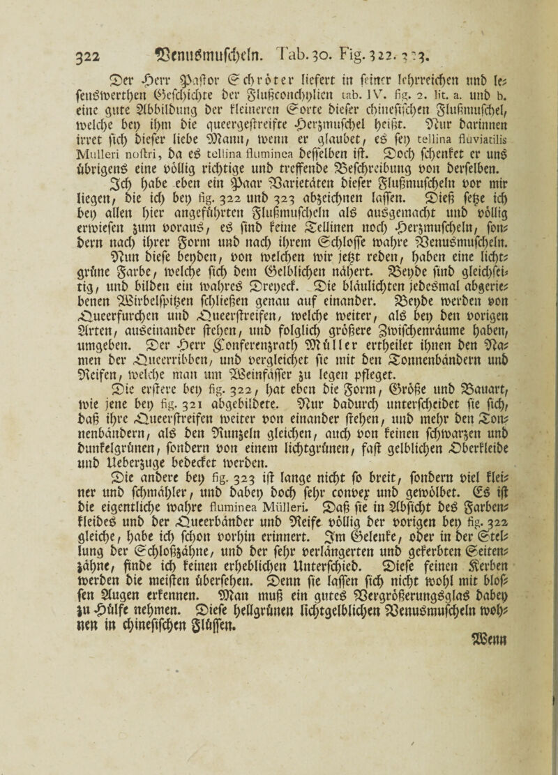 ©er £err $3aßor ©ehr6ter liefert itt feiner lehrreichen tmb le* fettSmertßen (Gefd)id)te ber glußcönd)t)liett tab. IV. fig. 2. fit. a. unb b. eine gute 2lbbilbtmg bet* Heineren ©orte biefer cbtneftfd)en glußtmtfcbel, melcße bet) i()nt bie queergeßreifte -J)erjmufd)el heißt. Gatr bartntten irret ftd) biefer liebe Sftamt, menn er glaubet, eS fei) teliina fluviatilis Mulleri noftri, ba eS telüna fluminea beffelben iß. Sod) fd)ettfet er uns übrigens eine oöllig richtige tmb treffenbe Vefchreibuttg oott berfelben. 3d) habe eben ein |>aar Varietäten biefer glußmufd)eln oor mir liegen/ bie id) bet) fig. 322 unb 323 ab^eichtten (affen. Sieß fe($e idj bet) allen hier angeführten glußmufd)eln als ausgemacht uttb wollig ermiefett $um oorattS, eS ftnb feine Seliinen ttod) £er$mufd)eln, fott* bern nad) ihrer gornt unb nach ihrem (Schlöffe mahre VenuSmufcheln. $?un biefe bet)bett/ oott welchen mir je£t rebett/ haben eine licht* grüne garbe / meld)e ftd) bem (Gelblichen nähert. Vet)be ftnb gleid)fci* tig / unb bilbett ein maßreS Srepecf. Sie bläulichten jebeSmal abgerie* betten VSirbelfpißett fcßlteßen genau auf etnanber. Vepbe merbett oon £>ueer furchen uttb Slueerßreifen, melcße n>etter, als bet) bett vorigen Slrtett, auSeittattber ßeßett, unb folglich größere gmifdjenräume habett/ umgeben. 5)er £err g'onferen^ratl) Füller erteilet ihnen ben $}a* men ber rQucerrtbben, uttb oergleichet fte mit ben Soitnenbänbent unb Reifen / melche man um ^ßeinfäffer $tt legen pfleget. Sie erßere bet) fig. 322./ hat eben bie gönn/ (Größe unb Vauart, mie jette bet) fig. 321 abgebilbete. $?ur baburd) unterfd)eibet fte ftd), baß ihre £>ueerßreifen meiter t>on einanber ßeßen, unb mehr ben Sott* nenbättbern, als ben Stempeln gleichen / auch *>cn feinen fcf>n>ar§ett unb bunfelgrünen, fonbern oon einem licßtgrünen, faß gelbiid)en Sberfleibe unb Ueber^ttge bebeefet merbett. Sie anbere bet; fig. 323 iß lange nicht fo breit, fonbern Diel flei* ner unb fd)tttäl)ler, unb habet) hoch fel)r conoey uttb gemölbet. (ES iß bie eigentliche maßre fluminea Mülieri. Saß fte in £lbßd)t beS garbett* fleibeS unb ber rOueerbänber unb Steife Döüig ber porigen bet) fig. 322 gleiche, habe id) feßott oorhin erinnert, ©elenfe, ober in ber ©tel* lung ber ©cßloßsähtte, uttb ber feßr oerlängerten unb geferbten ©eiten* Jäßne, futbe ich feinett erl)eblid)ett Unterfcßteb. Siefe feinen Serben merben bie meißen überfeßen. Senn fte (affen ftch nicht mol)l mit blof* fen klugen erfennen. Sttan muß ein gutes Vergrößerungsglas habet) in £ülfe nehmen. Siefe hellgrünen Ftd)tgelblid;en VenuSmufcheln meß* «en in chinefifchcn glüffen. SBenn