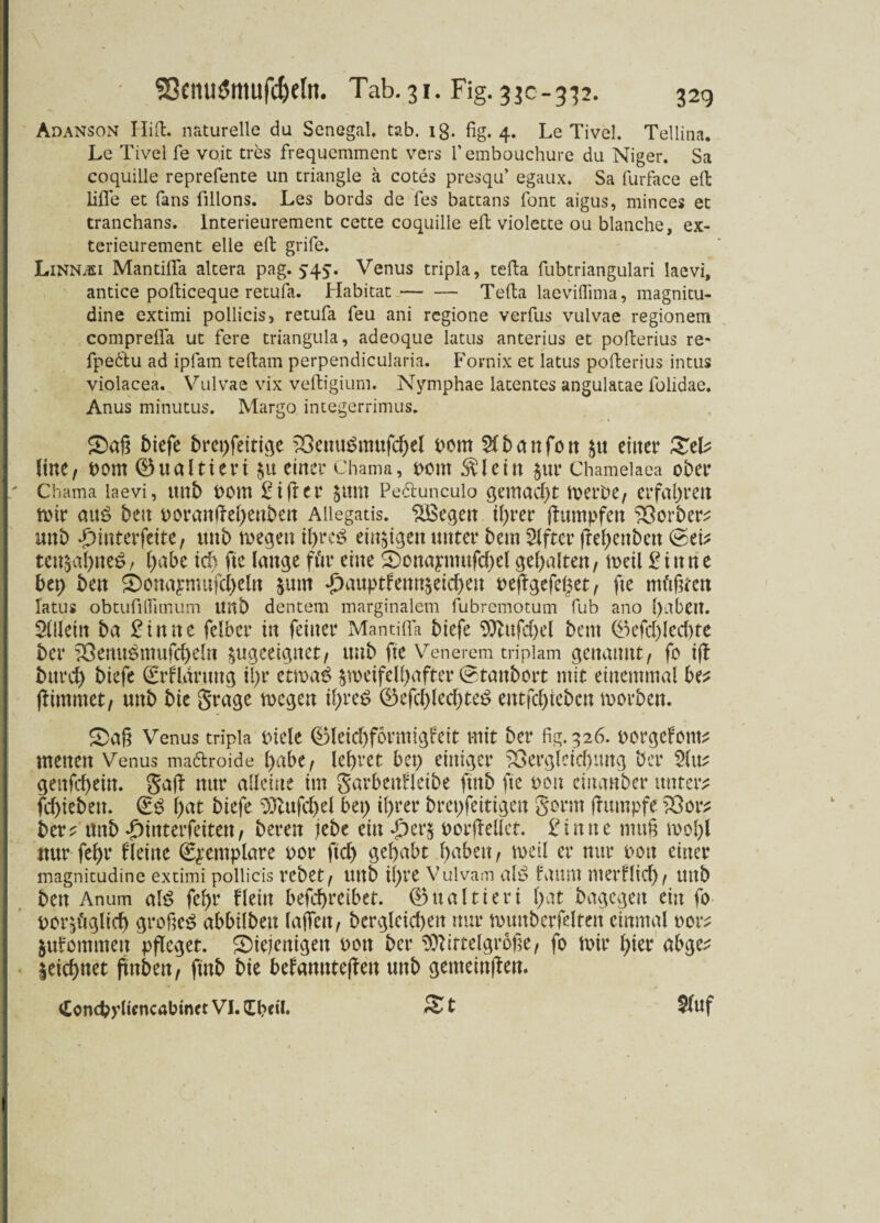 Adanson Hi ft. naturelle du Senegal, tab. ig. fig. 4. Le Tivel. Tellina. Le Tivel fe voit tres frequemment vers l’embouchure du Niger. Sa coquille reprefente un triangle ä cotes presqu’ egaux. Sa furface effc lifle et fans fillons. Les bords de fes battans font aigus, minces et tranchans. lnterieurement cette coquille eil violette ou blanche, ex- terieurement eile eil grife. Linnasi Mantifla altera pag. 545. Venus tripla, tefta fubtriangulari laevi, antice pofticeque retufa. Habitat-Tefta laeviffima, magnitu- dine extimi pollicis, retufa feu ani regione verfus vulvae regionem comprelfa ut fere triangula, adeoque latus anterius et pofterius re- fpeftu ad ipfam teftam perpendicularia. Fornix et latus pofterius intus violacea. Vulvae vix veftigium. Nymphae latentes angulatae folidae. Anus minutus. Margo integerrimus. £)aß btefc brepfeitige VenuSnutfcbel 00m $ b a n fo tt $u eiltet4 £el* litte, t)om 0ualtieri §u einet4 Chama, pottt $leitt zur Chamelaea ober Chama laevi, ttnb 00m giftet4 zttut Peftunculo gemad)t werbe, erfahren mir attö beit twranftehenben Aliegatis. SBegen ihrer (fttmpfen Vorher* mit) .£>interfcite, uttb wegen il)re£ einzigen unter bem Elfter flehettbett ©ei* tettzabneS, f>abe ich fte lange für eine SDonaytttufcbel gehalten, weil £itttte bet) bett Sonaymufdjeln jmtt T)auptfettnzeid)eit oejfgefelzet, fte müßten latus obtufilfimum unb dentem marginalem fubremotum fub ano paben. Sllleitt ba £innc felbcr in feiner Mantifla biefe Mttfd)el bem 0efd)led)te ber Venu£mufd)eln ^ugceiqttet, unb fte Venerem tripiam qemutttt, fo ifl bttrd) biefe ©rflärung il>r etmag zweifelhafter ©tattbort mit einemmal be* ff immer, mtb bie grage wegen ihres 0efd)led)te£ entfliehen worben. £)aß Venus tripla piele 0leid)förmigfeit mit ber fig. 326. oorgefom* menen Venus maflroide habe, lehret bet) einiger Vergleichung ber 2(tt* gettfd)ein. gafb nur alleine int garbettfleibe ftnb fte oon emanber unter* fcptebeit. ©3 l)at biefe Mufcpel bei) ihrer brepfeitigen gönn fhtmpfe Vor* ber* ttttb T)tnterfetteit, bereit jebe eilt *£)erz oorjMlet. Finne muß wol)l nur fehr Heine ©^entplare oor ftdj gehabt haben, weil er nur oon einer magnitudine extimi pollicis vebet, Uttb il)te Vulvam alsS faitnt merHid), Uttb bett Anum afel)t Heilt befebreibet. 0ualtieri hat bagegett ein fo porzäglidj großes abbilbeit laifett, bergleicheit nur witttbcrfelteit einmal twr* Zulommeit pfleget. ^Diejenigen oott ber Mittelgroße, fo wir hier abge* Zeichnet futbett, ftnb bie befanntejlett uttb genteinjlen. <£oncb)4liencabinct VI.Qfheil. $fuf