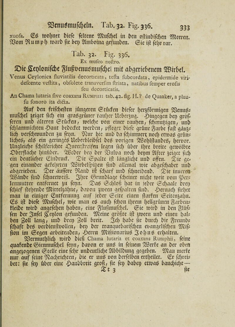 xuofa. (ES wohnet tiefe feitene TDTufcf>et in beit ofHttbifcben Fleeten. Sßom N u m p l) tvavt) fie bet; 2lmboitta gefüllten. Sie ifl fel;r rar. Tab. 32. Fig. 336* Ex mufeo noftro. ©ic £et)lomfd)e Slufjixnutfmufcfye! mit abgertebcnem Sßitbd. Venus Ceylonica fluviatilis decorticata, tcfta fubcordata, epidermide vir;- defcente veftita, obfolete transverfim ftriata, natibus femper eroüs feu decorticatis. An Chama lutaria five coaxans Rumpiiii tab.42. fig. H.? de Quaaker, a plau- fu fonoro ita di&a. 2luf ben frifcbejlen jüngeren ©töcfen tiefer herdförmigen $8emtS* mufcl)el geiget ftd) ein grasgrüner fauler Ueberjug. hingegen bei) gröf* ferett unt alteren ©töcfeit/ welche oon einer rauben, fcbmuhigen, unt fd)lammicf)ten *paut bebecfet werben, pfleget tiefe grüne garbe fafl gdn$? lief) t>erfd;munben du fet;it. Nur bie imbba fd)immert nocl) etwas grün? licbeS, als ein geringes Ueberbleibfel teS porigen $Bol)lflanbeS, heroor. Ungleiche fd)tlferichte Olueerjlreifett legen fiel) über il)re breite gewölbte Oberfläche hinüber. $Beber bei; ter 33uloa nocl) bet;m Elfter geiget fiel) ein betulicher (Eiutrucf. Oie Spalte ifl langlicl)t unt offen. Oie ge* gen einanter gefehlten $Birbelfpi($en fmb allemal wie abgefebabet unt abgerieben. Oer duffere Nanb ifl fcharf unt fchneitent. Oie inneren SBdnbe fint fd)neemeif\ 3bl’e ©ritntlage fcbeiitet nicht meit pom 5) er? lenmutter entfernet $u fepn. OaS Sd)lo§ l>w in jeter ©cf>aale Drei; fehtef geheute 3Jlittelddhue, taoou dweett gefpalten fint. «pernacl; flehet man in einiger (Entfernung auf jeter (Seite einen flarfen Seitendabtt. (ES ifl tiefe SÖtufcbei, wie man eS auch fd)on ihrem hellgrünen garbetu fleibe wirb angefebett haben, eine glufmtttfcbel. Sie wirb in ten glüf? fen ter Snfel $et;lon gefüllten, teilte größte ifl dwecn unt einen bal? ben Soll lang, unt bret; Soll breit. 3d) habe fte turch tie greunb? fchaft teS perbienflpollen, bei) ter tranquebarifchen eoangelifcben 93cif? ftott im Segen arbeitenbett, *£)errn SÖlifnonariuS 3ol)itS erhalten. ^ßermuthlich tDirt tieft Chama lutaria et coaxans Rumphii, feine quafente ®ienmufcbel feptt, tapon er uns in feinem Söerfe an ter oben ange^ogenen Stelle eine fel;r nnteutliche Slbbiltung gegeben. 93latt merfe nur auf feine Nachrichten, tie er unS pon terfelben erteilet. Sr febrei? bet; fte fei; über eine •panbbreit groß, fte fei; habet; etwas bauchtcl;t— X t 3 fte