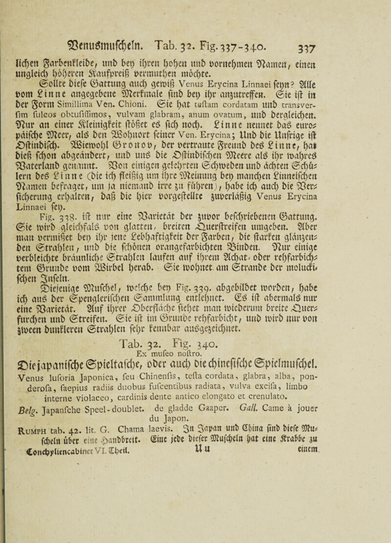 liefen garbenfleibe, unb bet) f)o^>en ttnb bornehnten tarnen, einen ungleid) i)6i)eren $attfpreiß bermuthen mochte. (Sollte biefe (Wartung and) gewiß Venus Erycina Linnaei fet)n? 5(((e t>om Sinne angegebene Sfterf male finb bet) il)r anzutreffeu. (Ste i|f itt bet* Sonn Simillima Ven. Chioni. (Sie f)at teftam cordatam Uttb transver- fim fulcos obtufiflimos, vulvam glabram, anum ovatum, uttb bcrgleid)en. Sftur an einer $leinigfett flößet eS fid> noch. Sinne nennet baS eure* pdifche Vftccv, als ben ^Bohnert feiner Ven. Erycina; Unb bie Unfrige ijl Ojtinbifch* $ßiemol)l ®ronoi>, ber vertraute greunb beS gilt ne, t>at bieß fd)ött abgednbert, unb uns bie Ojlinbifchen ^leere als ü)r wahres 93aterlanb genannt. 23on einigen gelehrten (Schweben unb deuten @d)fv lern beS ginne (bie ich fleißig um Ü)reMeinung bet) mattd)en ginneifchen tarnen befraget, um ja niemattb irre ju ftil>ren), habe id) aud) bie ?8evt ftcherung erhaltet*/ baß bie l)ier uorgefiellte zuoerldßig Venus Erycina Linnaei fet). Fig. 338. iff nur eine 23arietdt ber zubor befd)riebenen (Gattung. (Sie wirb gleid)fa!S von glatten / breiten ^uerßreifen umgeben. 2lber man verminet bet) il>r jene gebhaftigfeit ber Serben, bie (iarfen glanzen; ben (Strahlen, unb bie febonen orangcfarbid)ten SÖinben. SRur einige t>erbleid)te bräunliche (Strahlen laufen auf ihrem 2ld>at> ober rchfarbidp tent ©runbe born Wirbel herab. (Sie wohnet am (Straube ber molucft* fd)en Sufeln. diejenige SQlufchel/ welche bet) Fig. 339. abgebilbet worben/ F>abe td) au$ ber (Spenglerifd)ett (Sammlung entlehnet, (£S ifT abermals nur eine SOarietdt. 2ittf ihrer Oberfläche flehet man Wieberum breite Ouet^ furchen unb (Streifen. (Sie i(t im ©ritnbe rehfarbid)t/ unb wirb nur von §ween banaleren (Strahlen fel)r fennbar ausgezeichnet. Tab. 32. Fig. 340. Ex mufeo noftro. Oie japanifc&e ©piclfafcbc, oöer aud) Oie cf)inef(fdK ©picfmufc&el. Venus luforia Japonica, feu Chinenfis, tefta cordata, glabra, alba, pon- derofa, faepius radiis duobus fufeentibus radiata, vulva excifa, limbo interne violaceo, cardinis deute antico elongato et crenulato. Belg. Japanfche Speel-doublet, de gladde Gaaper. Gail. Came a jouer du Japon. Rumph tab. 42. lit. G. Chama laevis. 3« 3«p<m unb S&ina ftnb tiefe 9)?u* fcbeltt über eine .panbbrett. Sitte jet>e tiefer OTufchcln hat eine Krabbe $u <£oud?yliencöbtnee VI. (Ebett. U U einem.