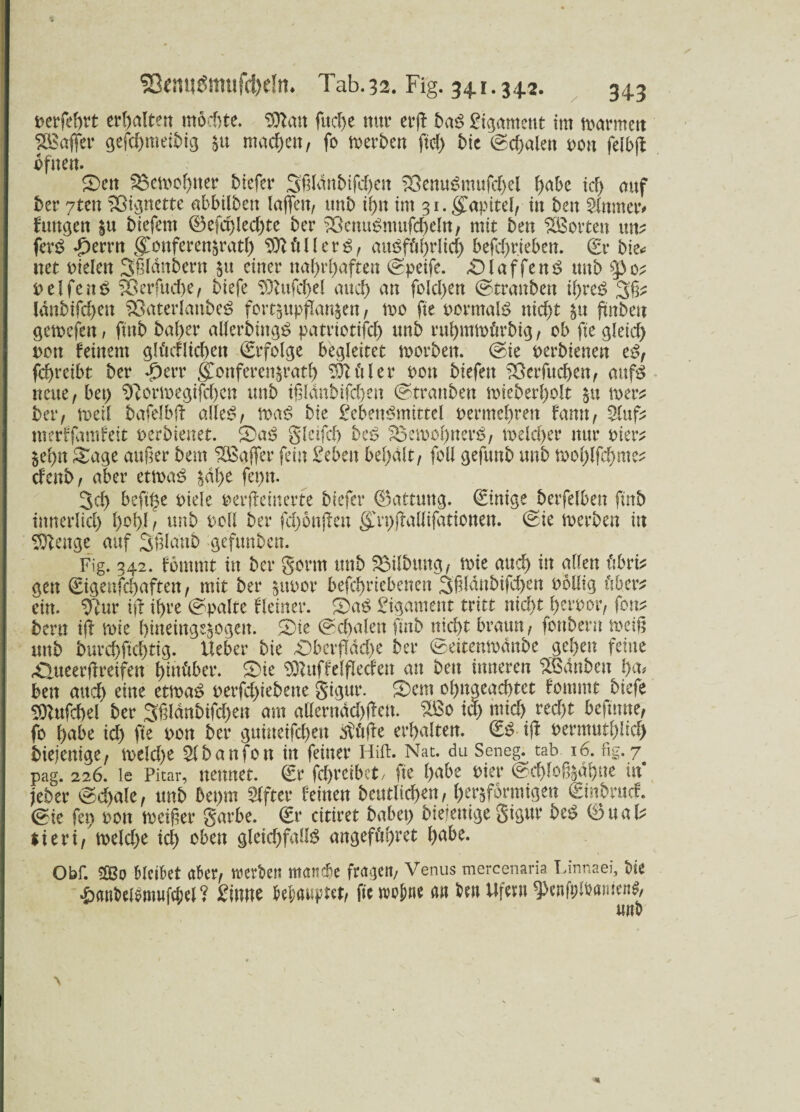 perfekt erhalten mochte. Wan f«d>e nur erj\ baß Ligament tut Farmen Gaffer gefd)meibig $u machen, fo ererben fiel) bie (gemalert non felbfi ofuen. Oett $3en>ol)ner biefer 3fddnbtfd)en 33cnuSmufd)el ^abe id) auf ber 7ten ?ßt^nctte abbilben lajfen, unb ihn im 31. gTapitel/ in ben 2lnmer* funken |u biefent ©efd)led)te ber 3ßenuSmufd)eln, mit ben ‘^Borten um ferS pmn grouferensratl) SttüllerS, ausführlich befd)rjeben. (Sr bie* net Pielen Sßlänbern &u einer nahrhaften ©peife. -Olaffend unb p elfen ß SÖerfuche, biefe Sttufchel auch an fold)en ©tranben ihres 3ß* ldnbifd)en $3aterlanbeS fort^upflanjen, roo fie pormalS nid)t $u jtnben gemefeit/ finb bal)er allerbingS patriotifd) unb ruhmroörbig, ob fie gletd) non feinem glücklichen (Srfolge begleitet tporben. @ie perbienen es, fchreibt ber *£)err g^onferen^ratl) Etiler non biefen ^erfuchctt, aufS neue, bet) ^Rormegifd)cn unb ißlanbifd)en ©tranben mieberljolt $u tu er* ber, n>eil bafelbfi alles, n>aS bie Lebensmittel permehren fann, 2(uf* nterffamfeit perbienet. OaS glcifch beS SöemohnerS, voeld)er nur Pier* §ef>n Oage außer bem ^Baffer fein Leben beßvilt, foll gefunb unb n>ol)lfchme* efenb, aber etroaS §df>e ferm. 3d) befi^e piele perffeinerfe biefer ©attung. Einige berfelben finb innerlid) l)ol)l, unb Poll ber fdjonjlen g,'ri>flaUifdtionen. ©ie roerben in Stenge auf Sßldub gefunben. Fig. 342. fomtnt in ber gönn unb Gilbung, mie and) in allen übri* aen ©igenfehaften, mit ber §uoor befchriebencn 3ßldnbifd)en Polltg über* ein. Tm ijf if)re ©palte flciner. OaS Ligament tritt nid>t l)crpor, fern bem ijl n>ie hmeingsäogett. Oie ©d)alen finb nicht braun, fonbern rneig unb burd)ftcf)tig. lieber bie Oberfladte ber ©eitentodttbe geben feine -Oueerjfreifen hinüber. Oie ^uffelflecfen an ben inneren ‘^Sdnbett ba# ben auch eine etmaS perfd)iebene gigur. Oem ohnaeachtet fommt biefe 9ttufd)el ber 3ßldnbifd)eu am allerndd)llen. %Bo id) mich red)t befmne, fo habe id) fie pon ber guineifebeu $üile erbalten. (ES i|l permutl)!id) biejenige, n>eld)e Slbanfon in feiner Hifi. Nat. du Seneg. tab 16. fig. 7 pag. 226. le Pitar, nennet. ®r fchreibet, fie habe Pier ©chloß^hue in jeber ©d)ale, unb bepm Elfter feinen beutltd)en, herdförmigen ©inbruef. ©ie fep pon toeißer garbe. (Sr citiret habet) biejenige gigur beS ©ual* $ieri, meld)e id) oben gleichfalls angeführt b^be. Obf. bleibet aber, werben manche fragen, Venus mercenaria Linnaei, bie «öanbefemußM ? Linne behauptet, fiewopne an ben Ufern ^enfelbarucni, unb