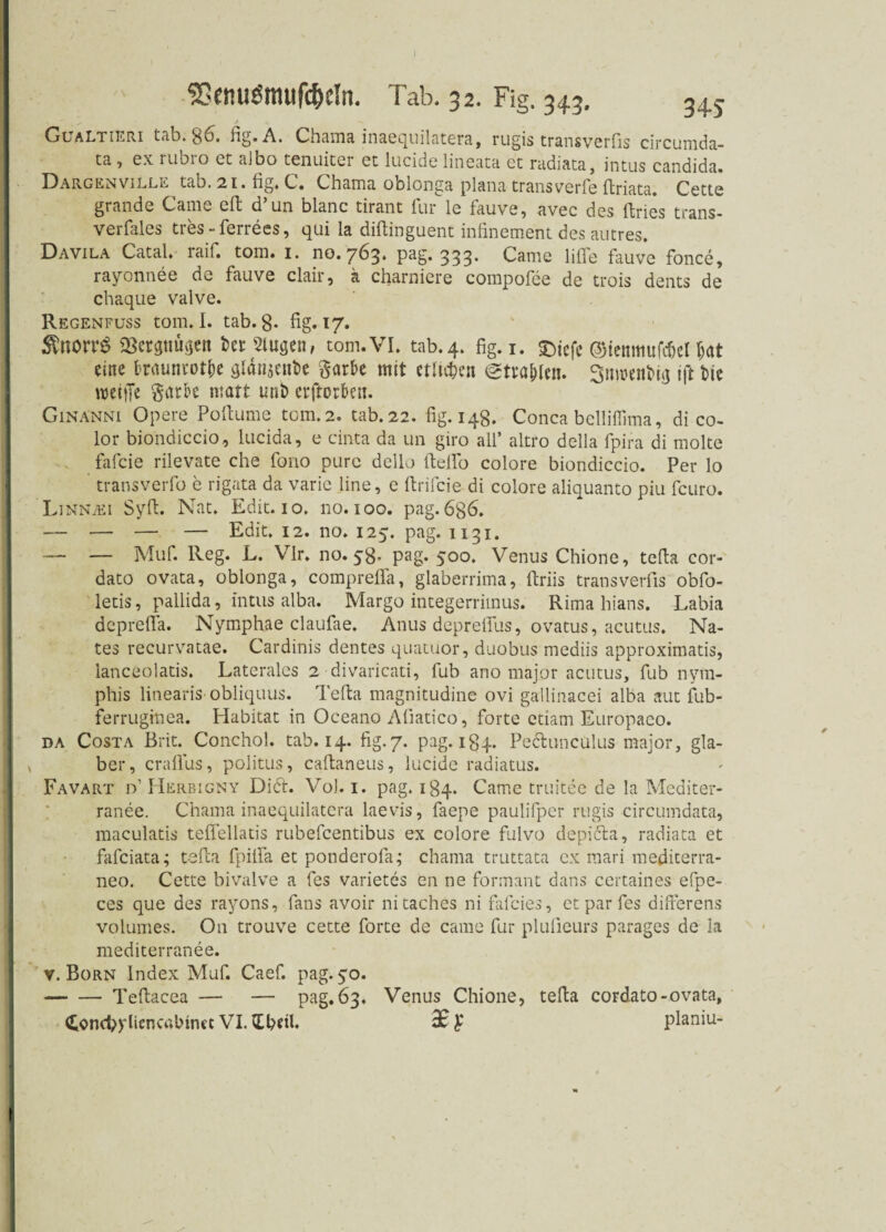 SSenuömufc&eln. Tab. 32. Fig. 343. 34s / Gualtieri tab. 86. fig. A. Chama inaequilatera, rugis transverfis circumda- ta 1 cx rubio ct albo tenuitei et lucidc lineata ec radiata, intus candida. Dargenville tab. 21. fig, C. Chama oblonga plana transverfe firiata. Cette grande Came efi d’un blanc tirant für le fauve, avec des ftries trans- verfales tres-ferrees, qui la diftinguent infinement des autres. Davila Catal. raif. tom. 1. no. 763. pag. 333. Came lifie fauve fonce, rayonnee de fauve clair, a charniere compofee de trois dents de chaque valve. Regenfuss tom. I. tab. 8- fig. 17. $norr$ SSerpügeit betrugen, tom.VI. tab.4. fig. 1. £)icfe ©iemttufcfKl Ijat eine braunrote glän$ent>e §arbe mit etlichen gtva&lcn. Smüentmj tft t>ie njeiiTe gatk matt uni> erftorben. Ginanni Opere Pofiume tom.2. tab.22. fig. 148. Conca belliffima, di co- lor biondiccio, lucida, e cinta da un giro all’ altro della fpira di molte fafeie rilevate che fono pure dello fteifo colore biondiccio. Per lo transverfo e rigata da varie line, e ftrifeie di colore aliquanto piu feuro. Linnjei Syfi. Nat. Edit. 10. 110.100. pag. 636. — — — — Edit. 12. no. 125. pag. 1131. — — Muf. Reg. L. Vir. no. 58. pag. 500. Venus Chionc, tefia cor- dato ovata, oblonga, comprefla, glaberrima, ftriis transverfis obfo- letis, pallida, intus alba. Margo integerrimus. Rima hians. Labia deprefia. Nymphae claufae. Anus deprefius, ovatus, acutus. Na- tes recurvatae. Cardinis dentes quatuor, duobus mediis approximatis, lanceolatis. Laterales 2 divaricati, fub ano major acutus, fub nym- phis linearis obliquus. Tefia magnitudine ovi gallinacei alba aut fub- ferrugmea. Habitat in Oceano Aliatico, forte etiam Europaco. da Costa Brit. Conchol. tab. 14. fig. 7. pag. 184. Peclunculus major, gla- ber, crafius, politus, caftaneus, lucide radiatus. Favart d’ Herbigny Di6t. Vo). 1. pag. 184. Came truitee de la Mediter- ranee. Chama inaequilatera laevis, faepe paulifper rugis circumdata, maculatis teffellatis rubefeentibus ex colore fulvo depicla, radiata et fafeiata; tefia fpififa et ponderofa; chama truttata cx mari mediterra- neo. Cette bivalve a fes Varietes en ne formant dans certaines efpe- ces que des rayons, fans avoir nitaches ni fafcies, et par fes difterens volumes. On trouve cette forte de came für plufieurs parages de la mediterranee. v. Born Index Muf. Caef. pag. 50. -Tefiacea — — pag. 63. Venus Chione, tefia cordato-ovata, <£ond>yUenc«bimc VI. Ebdl, 38 £ planiu- /