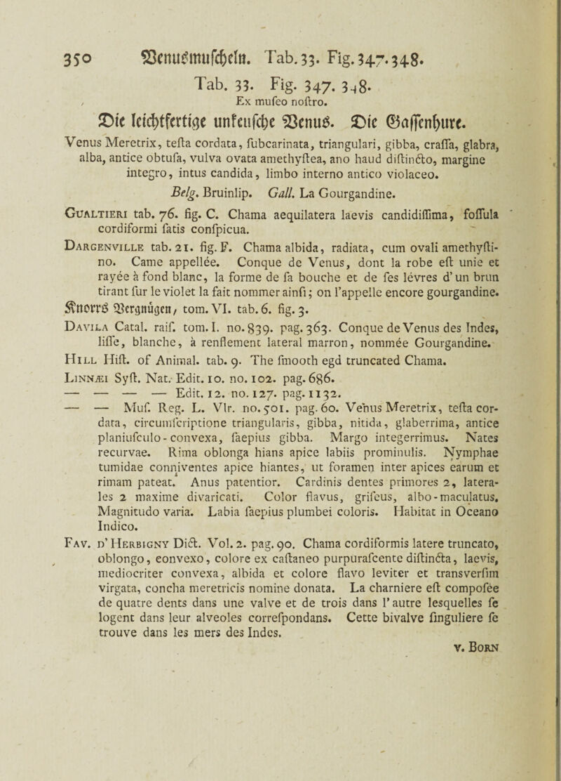 3so SQfmitfmufdjeltt. Tab.33. Fig.347.34.8. Tab. 33. Fig. 347- 3^8- , Ex mufeo noftro. £>ie leichtfertige unfeafche SBciutö. £>ic ©affenf)urt. Venus Meretrix, tefta cordata, fubcarinata, triangulari, gibba, crafla, glabra, alba, antice obtufa, vulva ovata amethyftea, ano haud diftin&o, margine integro, intus candida, limbo interno antico violaceo. Belg. Bruinlip. GalL La Gourgandine. Gualtieri tab. 76. fig. C. Chama aequilatera laevis candidiflima, foflula cordiformi fatis confpicua. Dargenville tab. 21. fig. F. Chama albida, radiata, cum ovali amethyfti- no. Came appellee. Conque de Venus, dont la robe eft unie et rayee a fond blanc, la forme de fa bouehe et de fes levres d’un brun tirant für le violet la fait nommer ainfi; on l’appelle encore gourgandine. $cr<jnti<ien, tom.VI. tab. 6. fig. 3. Davila Catal. raif. tom. I. no. 839. pag. 363. Conque de Venus des Indes, lifle, blanche, a renflement lateral marron, nommee Gourgandine. Hill Hifi, of Animal, tab. 9. The fmooth egd truncated Chama. Linnjei Sy fl:. Nat. Edit. 10. no. 102. pag. 6$6. — — — — Edit. 12. no. 127. pag. 1132. — — Muf. Reg. L. Vir. no. 501. pag. 60. Venus Meretrix, tefta cor¬ data, circumfcriptione triangularis, gibba, nitida, glaberrima, antice planiufculo- convexa, faepius gibba. Margo integerrimus. Nates recurvae. Rima oblonga hians apice labiis prominulis. Nymphae tumidae conniventes apice hiantes, ut foramen inter apices earum et rimam pateat. Anus patentior. Cardinis dentes primores 2, latera¬ les 2 maxime divaricati. Color fiavus, grifeus, albo-maculatus. Magnitudo varia. Labia faepius plumbei coloris. Habitat in Oceano Indico. Fav. D’HERBtGNY Di6t. Vol.2. pag. 90. Chama cordiformis latere truncato, oblongo, eonvexo, colore ex caftaneo purpurafeente diftindta, laevis, mediocriter convexa, albida et colore flavo leviter et transverfim virgata, concha meretricis nomine donata. La charniere eft compofee de quatre dents dans une valve et de trois dans Y autre lesquelles fe logent dans leur alveoles correfpondans. Cette bivalve finguliere fe trouve dans les mers des Indes.