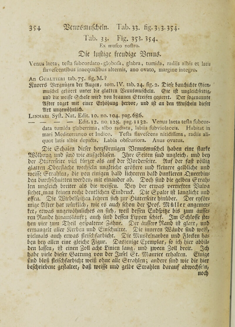 35+ S8cnu£mufd?eln. Tab. 33. fig. 3^3-3)4* Tab. 33. Fig. 353- 3)4« Ex mufeo noflro. Sie luftige freutuge 33enu& Venus laeta, tefta fubcordato- globofa, glabra, tumida, radiis albis et latis flavefeentibus inaequalibus alternis, ano ovato, margine ineegro. An Gualtieri tab. 75. fig.M.? Sinoffl? Vergnügen ber klugen, tom.IV. tab. 24. fig. 2. ©iefe battcbtdjte ©iett* ' mufcbcl eje^orct unter t>ic glatten 28enu$mufc()cln. Sie tft uiigleicbfettigr unt) feie weiffe Schale wirt) fcott braunen (Streifen gejieret. ©er fogenannte Elfter raget mit einer (Sr&o&ung berbor, unb tft an ben Sttufd&eln tiefer 3lrt ungewöhnlich. Linnaei Syft. Nat. Edit. 10. no. 104. pag. 686. — — — — Edit. 12. no. 12g. pag.1132. Venus laeta tefta fubcor- data tumida glaberrima, albo radiata, labiis fubviolaceis. Habitat in mari Mediterraneo et Indico. Tefta flavefeens nitidiffima, radiis ali¬ quot latis albis depi&a. Labia obfeuriora. Anus ovatus. ©:e (Schalen biefer her&formigen 83enu$mufchel haben eine fTarfe EBÖUntng unb fmü wie aufgeblafen. 3f>re (Seiten ftnb ungleich/ unb bet) ber T)interfeite viel fingcr al$ auf bet* föorberfeite. 9(uf ber faff völlig glatten «Oberfläche weäffeln ungleiche größere unb Heinere gelbliche unb beiße (Strahlen, Die von einigen halb lichteren halb bunHeren ©Uteerbin* ben burebfehnttten werben, mit etnanber ab. ©od) ftnb bie gelben (Straf)* len ungleich breiter al$ bie weißen. $3ct> ber etwas? vertieften xhtlva fiehet^nan feinen recht beutlichen Stnbrucf. ©ie (Spalte ift lattglicht unb offen, ©ic IXßirbelfpt^eu febren fidj §ur Jpinterfeite hinüber, ©er epfor* mige Elfter hat roörflid), wie eg auch fc&on ber $prof. Füller angemer* Utf etwaö ungewöhnliches an fid), weil beffen €ttbfpi£e bi$ $um duffem mtSRanbe hinauf lauft; auch ftnb beffen Rippen fdffef. 3m Schlöffe ffe* hen vier jum ©heil gefpaltene gähne, ©er duffer? 9\attb tft glatt, unb ermangelt aller Serben unb Sittfcbnitte. ©ic inneren SBänbe ftnb weiß, vielmals and) etwas fleifcbfarbicht. ©ie SO?usfelnavbett unb glecfen ha* ben bet) allen eine gleid)e gigur. ©aSjenige Somplar, fo ich W* abbil* ben laßen, iff einen gell acht £inien lang/ unb jween Soll breit. 3# habe viele biefer (Gattung von ber 3«W St. Maurice erhalten. Sinige ftnb bloß fleifcbfarbicht weiß ohne alle Strahlen; anbere ftnb wie bie hier befchviebene geffaltet, baß weiffe unb gelbe Strahlen barauf abwechfe'n, noch