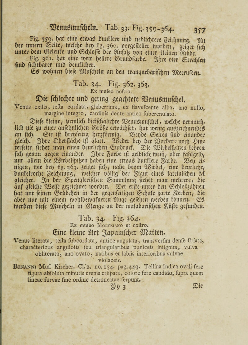 • 23cnuömufcf)c!tt- Tab. 33. Fig. 3?9-564. 3J7 Fig. 3*9. bat ettte etrnaS bmtflere unb mblifytm geidjtuwg. 5fa bet hütet« ©eite, tx>eld>e bet) fig. 360. t>otgc(feliet motben, geiget fich unter bent ©elcttfe unt> ©d)lc# bet $lnfa§ t>on einet Heilten 5ubbe. Fig. 361. bat eine n>eit bellete (ötunbfatbe. 3i;te Piet ©trablen ftnb ftcbtbatet tmb beutlicbet. <£$ mof;nen biefe ^lufcbeln an beit ttanqttebatifcben ^eetufetn. Tab. 34. Fig. 362. 363. Ex mufeo noftro. ©te fd>fcd>tc uti& gcvina fleadjtetc Sßcnudmtifdjel. Venus exilis, tcfta cordata, glaberrima, ex flavefcente alba, ano nullo, margine integro, cardinis dente antico fubcrenulato. . S)iefe Heine, $temlid) bicffd)alid)te $ßcmt$mufd)el, meldje uvmutty lief) nie 51t einet anfel)nlicl)en ®toße etmdd)fet, l)at menig aui^eicf)nenbe$ an ftd). ©ie i|\ btet;feitig b^fotmig. 23et)be weiten ftnb einanber gleich. Sbte £)betfldcbe ift glatt. %Sebet bet; bet f8otbet?ttod) *£)in? tetfeite fiel;et man einen beutlid;cn (Einbrud. 0ie £Birbelfpt§en festen ftd) genau gegen eittanbet. 3bre Satbe ijf gelblicb:tneift, obet fahlgelb, intt allein bie ££itbelfpil;en haben eine etnxu? bttnflete garbe. $3et; ei? ttigen, mie bet; fig. 363. geiget ftd), nahe bet;m Sßitbel, eine beutlid)e, buttfeltotbe 3eid>mmg, ft>eld)ee t>6flig bet gigut eines lateittifcben M gleid)et. 3n bet ©pettgletifcben ©ammlung ftef>et matt mehrere, bie auf gleid)e Sßeife ge$eid)ttet rnorben. 5)et etjte unter ben ©cblof^dbueu bat mit feinen ©rübd)en in bet gegenfeitigen ©d)ale $arte Serben, bie aber nur mit einem moblbemafneten 5luge gefel;ett metben fonnen. (ES tverben biefe bftufd;eln in Stenge an bet maiabarifd;en pfiffe gefunben. Tab. 34. Fig. 364. Ex mufeo Moltkiano et noftro. (Eine flcine Stet 3apamict)er SÄatten. Venus literata, tefta fubcordata, antice angulata, transverfim denfe ftriata, charadteribus angulofis feu triangularibus puniceis infignita, vulva obliterata, ano ovato, natibus et labiis interioribus vulvae ' violaceis. Bonanni Muf. Kircher. Cl.*2* 110.134. pag.449. Tellina Indica ovali fere figura abfoluta minutis crenis crifpata, colore fere candido, fupra quem lineae furvae fine ordine detruncatae ferpunt. 3) 9 3 £)ie