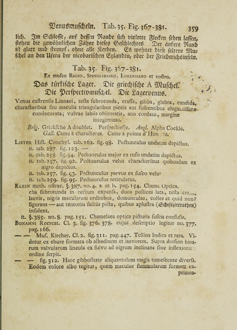 SßctlUSSrailfdKlrt. Tab. 3^. Fig. 367-38f. 3J9 Itd). 3m <Sd)Ioffe, auf fccffat %uibc ftcfi »toiette glecfen fefjen laflcit, bie gemöf)n!icf>ert gäfytte bicfcö ©cfcf)(ed)teö. 2>er äußere 9i«nb ift glatt uitb fhimpf, c!)ne alle Sterben. & »eintet biefe feltene 3)?uj fd>el an ben Ufern bev iticobarifd)ett St)[anbeii/ ober ber Srieberidjömfeltt. Tab. 35. Fig. 367-381. Ex mufeo Regio, Spengleriano, Lorenziano etnoftro, ' “ r S5dö türfifebe gagev. ©ie gn'ccbifc&c A SWufcM- '  5!>te 5)crfpcctt»nuifd)cl. ©ie gagcrpemiö. + Venus caftrenfisLinnaei, tefta fubrotunda, crafia, gibba, glabra, candida charaderibus feu maculis triangularibus piceis aut fufeentibus elegahtiffime- condecorata; vulvae labiis obliteratis, ano cordato, margine integerrimo. Belg. Grio'kfche A doublet. Perfpediefje. Angl. Alpha Cockle. Gail. Caine ä charaderes. Game a points d’ Hon de. Lister Hifi:. Conchyl. tab. 262. fig. 98. Pedunculus uridatim depidus. it. tab. 287- fig. 123. — it. tab. 258 fig.94. Pedunculus major ex rufo undatim depidus. it. tab. 257. fig. 92. Pedunculus velut charaderibus quibusdam ex nigro depidus. it. tab. 257. fig. 93. Pedunculus parvus ex fufco velm it. tab. 259. fig. 95. Pedunculus reticulatus. Klein meth. oftrac. §.387. no. 4. a. et b. pag. 15:4. Chama Optica. cha fubrotunda in redum expanfa, duos pollices lata, tefta cra^u, laevis, nigris macularum ordinibus,-doraunculas, colles et quid non? figurans — aut tentoriis fafciis pida, quibus apluftra infident. it. §.'385* no. 8< pag. 151. Chamelaea optica piduris fufeis confufis. Bonanni Recreat. CI. 3. fig. 376. 378» cujus deferiptio legitur no. 377. pag. 166. — Muf. Kircher. CI.2. fig.311. pag;447. Tellina Indica et rara. Vi- detur ex ebure formata ob albedinem et laevorem. Supra dorfum bina- rum valvularum lineola ex fulvo ad nigrum inclinans fine inflexionu . ordine ferpit. — -— fig. 312. Haec gibbofitate aliquantulum magis tumefeente diverfa. Eodem colore albo tegitur, quem maculae flammularum formam ex- primen-