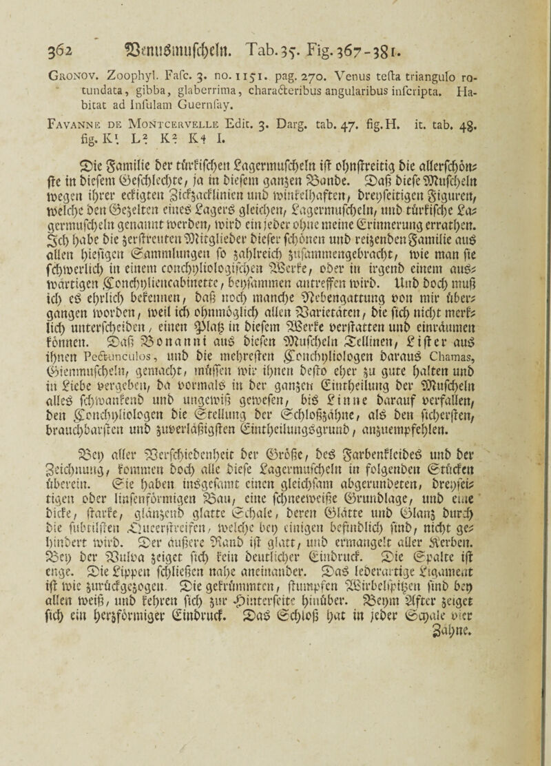 Gronov. Zoophyl. Fafc. 3. no. 1151. pag. 270. Venus tefta triangufo ro- tundata, gibba, glaberrima, chara&eribus angularibus infcripta» Ha¬ bitat ad Infulam Guernfay. Favanne de Montcervelle Edit. 3. Darg. tab. 47. fig.H» it. tab. 4g. fig. K1. L2 K2 K4 I. $Die gamilie t>er türftfd)en £aßcrmttfcf>eln ij! oI)njTreitig t>ie allerfdjon* ffe in liefern Eefd)led)te, ja tu tiefem ganzen $3anbe. Saß biefe'Dftufcheln tt>egett ihrer edigtett gidsadlinien unb müdelhaften, bra/eitigen gtgurett, VDeIcf>c ben (Bereiten eines £agerS gleichen, £agermufcheln, unb türftfdje £a* germufd)dn genannt Serben/ rnirb ein jeber ohne meine Erinnerung erraten. 3d) f>abe bie serßreuteu 9)Utglieber btefer fd)önen unb rei^enben gamilie aus alten fyiefigen (Sammlungen fo $af>Iretd) sufammengebracht, tote man fte fchroerlid) in einem concht)liologtfd)en %Eeide, ober in irgenb einem au& toärtigen <£ond)t)liettcabinette, bepfammen antreffen toirb. Unb bod) muß ich eS el)rlid) befennen, baß noch mand)e ^ebengatttmg oou mir über? gangen morben, toeil ich ohnmoglich allen Varietäten , bie ftcb nid)t merfc lid) unterfd)etben, einen 9Maf$ in biefem ^Berfe oerßatten unb einräumen Fomteit. Saß 33onattni aitS biefen $Jlufd>eIn Sellinen, £i|ler aus if>nen Pe&üncuios, unb bie mehreren gcncbpliologen barauS Chamas, Eiemtuifcbdn, gemacht; rnüffen mir if>nett befto eher $u gute galten unb in £iebe vergeben, ba ocrmalS in ber ganzen Einteilung ber SJhtfcheln alles fdymanfenb unb ungewiß gemefen, bis £inne barauf verfallen, ben gTcncf>t>liologen bie (Stellung ber Echloßsähtte, als ben ftd)erßen, brauchbaren unb §uoerläßtgßen EintheilungSgrunb, ansuempfehlen. 58et) aller Söerfchicbenhett ber ®roße, beS garbenfletbeS unb ber gctchnuug, t'cmmeu bod) alle biefe £agermufd)dn in folgenbeit Etüden überein. Eie haben inSgefamt einen gleichfam abgerundeten, brepfefe tigen ober linfenformtgen £3au, eine fd)neeioeiße Erunblage, unb eme biete, ßmde, glänsettb glatte Ecftale, bereu Elatte unb Elans bttrd) bie fubtilfien «Queerjfreifeit/ welche bet) einigen beftnMid) ftnb, nicht ge^ l)inbert wirb. Ser äußere $\aub ifl glatt, unb ermangelt aller Serben. Vet) ber ?Öuloa geiget ftd) fein beutlicher Etitbrttd. Sie Epalte i(f enge. Sie £tppen fcpeßcn nal)e anetnanber. SaS leberartige Ligament ifUoie surüdgesogett. Sie gekrümmten / Rümpfen 93$irbelfpi£en ftnb bzx) allen roeiß, unb festen ficf> $ur £interfeite hinüber. 2$ept dftcr &eigct ftd) ein herdförmiger Einbutd. SaS (Schloß l;at in jeher Eqjaie uier Sahne*