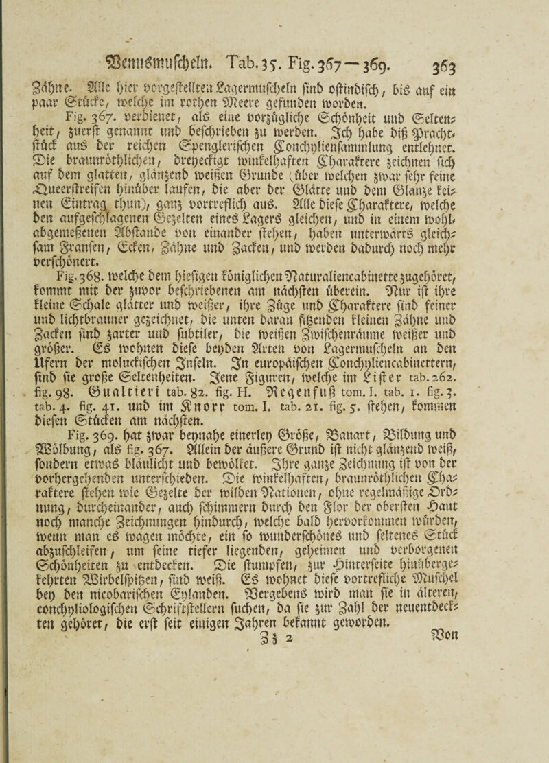 gdijtte. Sstc f)tci- eovgefleHteu gagemufcfyeltt fmb offtttbifcf), biö auf ein paar (Stücfe, welche im rothen Sfteere gefunbeit Sorbett, Fig. 367. mbmutf als eine i?or§üölic^e ©cf>6nl)ett unb (Selten? tyit, zuerß genannt mb bcfdjvkbm zu werben. Sei) habe biß Fracht* ßücf aus ber reiche« (Spenglerifchen gwnchplienfammUtng entlehnet. Oie bxmmbttyidjtn, brepeefigt tvinfel^aften g^araftere $eicf>uen fich auf bem glatten, glan^enb reißen (Bruttbe (über beleben zwar fel)r feine OUteerßreifen hinüber laufen, bie aber ber (Blatte unb bem (Blanze fei? wen Eintrag, t^urt), ganz rortreflid) aus. 3((Ie biefe $haraftete, weld)e ben aufgefcölagenen (Bezelten eines £agerS gleichen/ unb in einem wohl* abgemeßenen $(bßanbe t>ott einanber fielen ^ haben unterwärts gleich? fam granfen/ Gefeit, gähne unb gaefen, unb werben baburd) noch wehr $>erfd)6nert. Fig. 368. welche bem hteftgett foniglidjen^aturaliencabinettezugehoret/ fomrnt mit ber zuoor befd)riebeneu am ttdd)ßen überein, Sftur iß ihre fleine (Sd)ale glatter unb weißer/ ihre güge unb gCßaraftere finb feiner unb ücbtbrauner gezeichnet, bie unten baran fipettben fleinen gähne unb gaefen fmb gartet* unb fubtilet/ bie weißen gwifcbenrdume weißer unb großer. (£S wohnen biefe bepbeit 2lrtett oon £agermufd)eln au beit Ufern ber ntoludifchen Unfein. Stt europdifchett gwnd)plieucabiitettern/ finb fte große (Seltenheiten. Seite gigurett/ weld)e im £ißer tab.262. fig. 98. (Bttaltieri tab. 82. fig. H. Sftegenfuß tom.l. tab. 1. fig.3. tab.4. fig. 41. unb im $norr tom.l. tab. 21. fig.5. ßeheit/ fommen biefen (Stücfen am ndchßen. Fig. 369. hat zwar bepnaße einerlei) ©roße/ Bauart/ Gilbung unb Wölbung / als fig. 367. Slllein ber äußere ©nmb iß nicht gldnzenb weiß/ foubern etwas bldulid)t unb bewolfet. Shte ganze geidptmtg iß oon ber rorhergehenben unterfchieben. Oie wittfelhafteit, braunrothlicßeit gd)a? raftere freien töte ©ekelte ber milben Nationen / ohne regelmäßige ■Orb? nung/ burd)einanber/ and) fdßmmern burd) ben Slor ber oberßett *£)aut ttod) ntand)e geichnmtgen htttburd), weld)e balb heroorfommett würben/ wenn man eS wagen mod)te/ ein fo wuuberfchoneS unb felteiteS (Stücf ab$ufcl>leifen, um feine tiefer liegenbeit/ geheimen unb verborgenen (Schönheiten zu entbeefen. Oie ßumpfett/ zur ^interfeite hinüberge? fehrten ^Birbelfpißeu/ finb weiß. (£S wohnet biefe vortreßid)e ^ufd>el bep beit nicobarißhen ©plauben. Vergebens wirb man fie in alteren, conchpliologifd)en (Sd)riftßellern fitd>en, ba fte zur gal)l ber ttettetttbeef? ten gehöret/ bie erß feit einigen Saßrett befamtt geworben. 3 Z ^