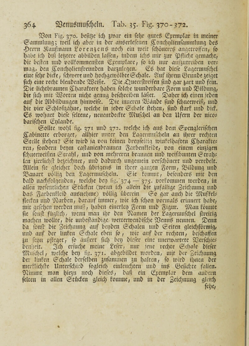 ^Öott Fig. 370. 5cft§e tcf> zwar ent feC>r gutes ©yempfar tu meiner ©ammhutg; n>etl id) aber tu ber aitSerlefetteu <£ottd)t)lienfammlung beS •pemt Kaufmann BorenzcnS noch ein weit fcf>6ncrcö angetroffen, fo habe id) btt] leerere abbtli>cn laßen, tnbem id)S mir zur Pflicht gemacht, bie bcffeit unb noUfommenffen ©pcmplare, fo id) nur aufzutreiben oer^ mag, ben gwuchbltenfrettubett barzulegen. £S hat biefe Bagermufchel eine fel>r biefe, fd)were unb hod)gew6lbte ©chale. 2htf ihrem ©runbe geiget ftd) eine recht Meubettbc %Beiße. (Oie Äueerffreifen ftitb gar zart unb fein. £)ie lid)tbraunen gCharaftere haben fold>e wuttberbare gönn unb SMlbung, bie ftd) mit Porten nicht genug befchretben laßet. S)al)cr ich einen jebett auf bie 2fbbilbtmgen hittmeife. (Die inneren s2Bdnbe ftttb fchneewetß, unb bie wer ©d)loßzahw, welche in jeber ©chale flehen, finb flarf unb bief. €S wohnet biefe feltette, ueueutbeefte 9)?ufd)el an beu Ufern ber nico; bartfd>en glaube. Sollte wol)l fig. 371 unb 372. welche ich auS bem ©pcnglcrifd)en gTabtnette erborget, allster unter ben Baaermufeheltt an ihrer rechten ©teile ftef>cn? ©ie wirb ja neu feinen brepfeitig winfeihaften gCflarafte:? reit, foubent bepnt caflanienbraunen garbenfleibe, oott einem einigen fd)tteeweißen ©tral)l, unb non mehreren braunen unb weif bunten ©tra!)* len ^terlichff bezeichnet, unb baburd) ungemein t>crfd)6ncrt unb nerebclt. Allein fte gleichet bod) übrigens in ihrer ganzen gorm, Gilbung unb Bauart Pbllig ben £agermufd)eln. ©ie fommt, befonberS mit ben halb nachfolgenbeu, welche bet) fig.'374 — 375. norfomnten werben, tu allen wefentlid)en ©tücfen (wenn ich allein bie zufällige geichmmg unb baS garbenfleib auSnehme) nbllig überein ©0 gar and) bie ffllufhb flecfeit unb Farben, barauf immer, wie id) fd)on normalS erinnert habe, mit gefehen werben muß, haben einerlei) gorm unb gigur. $flatt fomtte fte fonfl füglich/ foenn mau ihr ben tarnen ber Bagermufd)el flreitig machen wollte, bie unbeflanbige, wetterwettbifche rBenttS nennen. SDenn ba fonfl bie geiehmmg auf bepben ©d)alen unb ©eiten gleichförmig, unb auf ber Imfen ©chale eben fo, wie auf ber red)tett, befchaffen in fepn pfleget, fo äußert ftd) bei) biefer eine unerwartete 23erfd)ie^ benheit. 3d) erfud)e meine Befer, nur jene rechte ©chale biefer $ttu|d)el, weld)e bei) fig. 371. abgcbilbet worben, mit ber geicbumtg ber Imfen ©chale berfelben jufammen in halten, fo wirb ihnen ber nterfltchfle ltnterfdffeb fogletd) emleud)ten unb tnS ©eflehte fallen, ^immt man l)iczu nod) biefeS, baß ein ©jemplar bau anbern feiten tu allen ©tüden gleid) fomme, unb in ber getd)mmg gleich