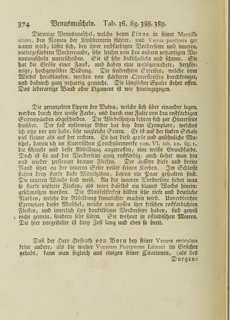 Siejentge SSemtSmufchel, welche bepm finite, in feiner Mantifla altera, ben Amtiert ber <ffinbbetterm führet, unb Venus puerpera ge; uanttt mirb, Idffet ftd), bet) tl)rer rofffdrbigen Sßorberfeite unb inneren, uioletgefdrbten SÖorberranbe, fcf>r leid)te uon beit anheim neuartigen ?8e; nu£mufd)eln uttterfcheiben. ©ie iff febr bicffd)alid)t unb fermer, ©ic fyat bie (öroße einer gauff, unb habet) eine tuohlgerunbete, f>er$f6r# mtge, i)od)gemolbte Gilbung. Sie fenfrechtcn ©freifen, toelche uorn Wirbel herablaufen, tu erben uon ffdrferen Xüuecrffreifeit burchfreuzet, unb babttreh ganz neuartig gemacht. Sie länglichte ©palte ftef>et offen. Sa$ leberartige 23anb ober Ligament iff lute bineinge|ogen. Sie gerunzelten Sippen ber^ßulua, toelche ftd) über einander legen, toevben bttrd) il)re tpeiße garbe, unb burd) eine gälte uon ben rofffarbigen ©eitemodnben abgefchiebett. Sie %Birbclfpipen feeren ftcf> zur «pittterfeite hinüber. Ser faff epformtge Elfter hat bet) bent ©pemplare, ioeld)e£ id) jepo ucr mir habe, fel>r ungleiche ©eiten. ' €r iff auf ber linfen ©d)ale uiel Heiner al$ auf ber rechten. & hat biefe große unb anfehnlic&e SOlut fc&el, bauen ich htt $nomfd)en gonchpliemoerfe tom. VI. tab. 10. fig. 1. bie fepenffe unb beffe Slbbilbung augetroffeu, eine toetße ®ntnbfarbe. Sed) iff fte auf ber SOorbcrfätc ganz r off farbig, and) fielet man ffm unb toieber zerffreute braune glecfen. Ser duffere bide unb breite Sftanb ftpet an ber inneren ©eite polier feinen Serben. 3'm ©cffloffe ffel)en brep ffarfe biete SOüttelzahne, bauen ein ^aar gefpalten ftnb. Sie inneren %Bdnbe ffnb loeiß. 21 tt ber inneren SJBorberfeite man fo ffarfe uielette glecfen, alB tuare bafelbff ein blauet £Bad)g hinein; gefchmelzen tuorbett. Sie SOluefelffccfen bilben fel)r tiefe unb beutlid)e Farben, tuelche bie 2lbbilbtmg kenntlicher mad)ett tuirb. Unuerbleichte ©yemplare biefer S0?ufd)el, toelche uon auffett ihre frifd)en rofffdrbichten glecfen, unb innerlich ihre bttnfelblaue SÖorberfeite haben, ftnb getoiß nid)t gemein, fonbern fel)r feiten, ©ie tuol)net in offinbifchen SOleeren. Sie hier uorgeffellte iff brep goll lang unb eben fo breit. Saß ber dberr Refrath uon ^Born bet) feiner Venere reticulata feine anbere, alö bie tuapre Venerem Puerperam Linnaei int 0eftchte gehabt, fattn man fogleid) au$ einigen feiner gttationen, (alö bes Sargen?